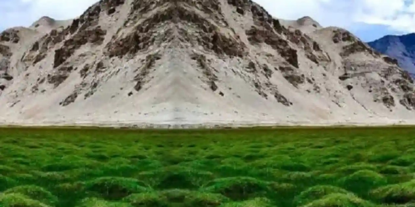 Colourful geothermal landscape of Puga Valley Ladakh