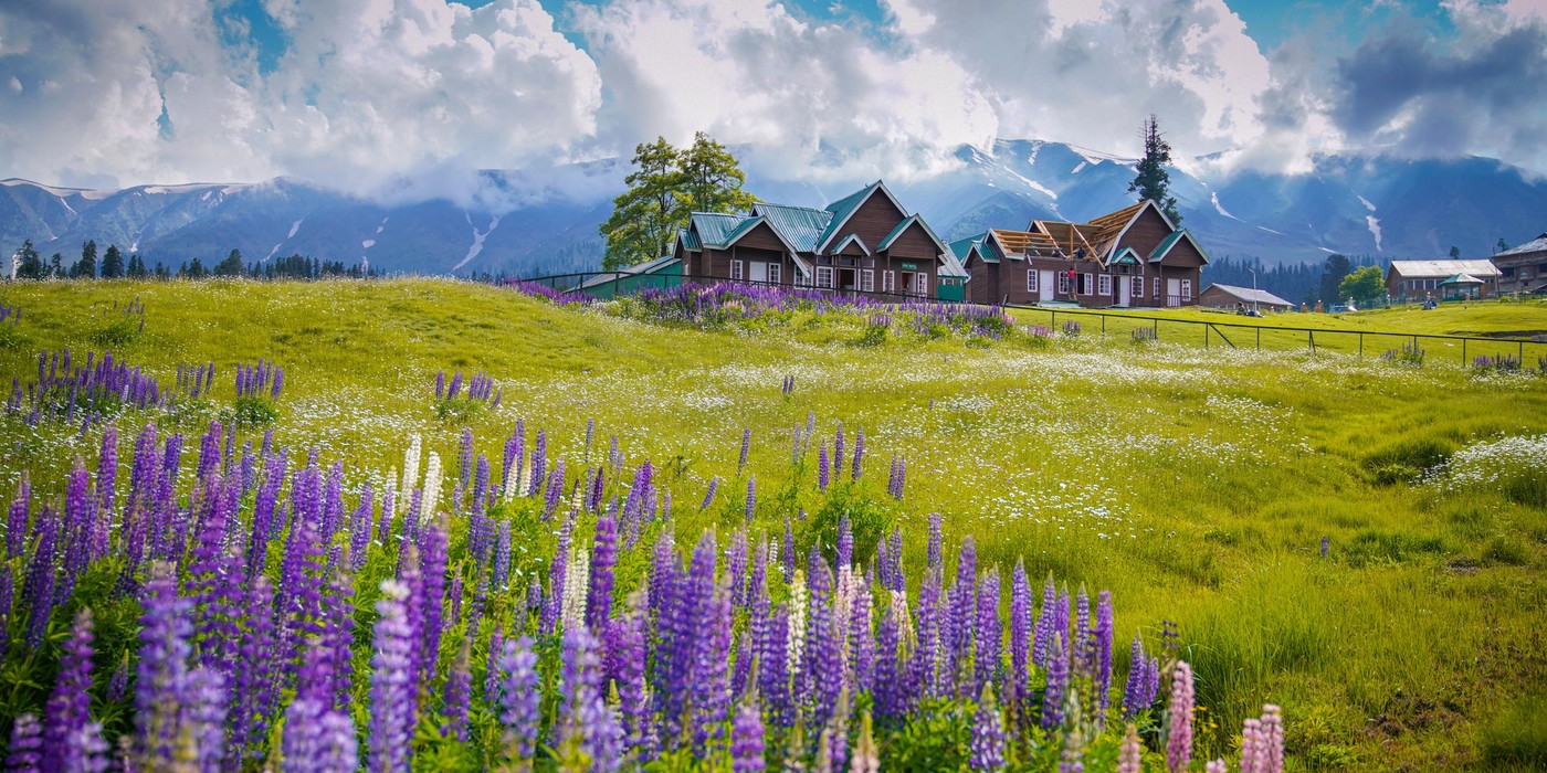 Gulmarg meadows and Himalayan mountains in Kashmir