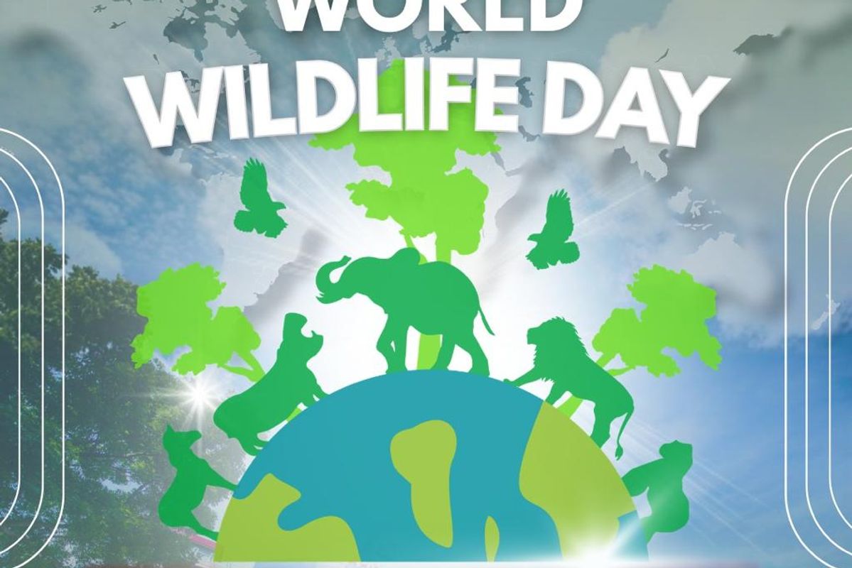 SDGs Center Telkom University Ikut Mendukung World Wildlife Day Melalui Peningkatan Kesadaran Perlindungan Ekosistem