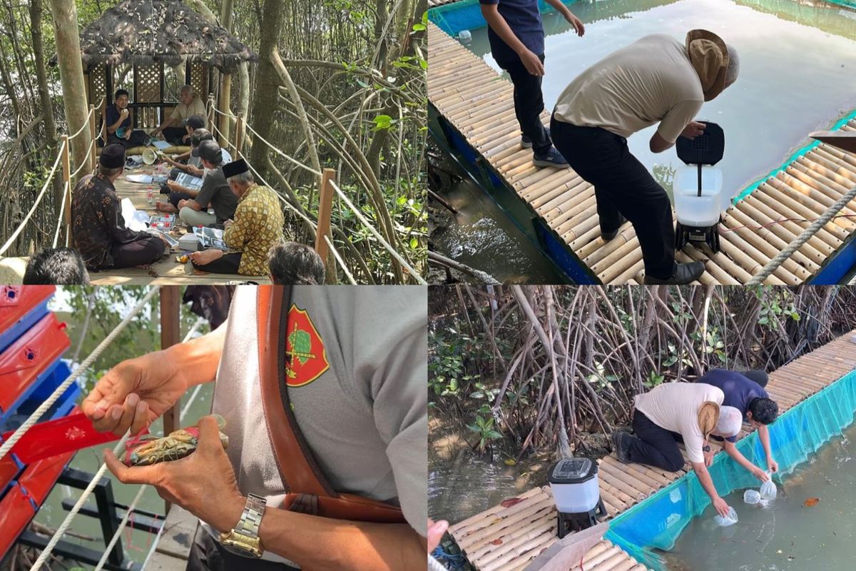PT Telkom Indonesia dan Telkom University Perkuat Ketahanan Pangan Pesisir melalui Crab House Berbasis IoT