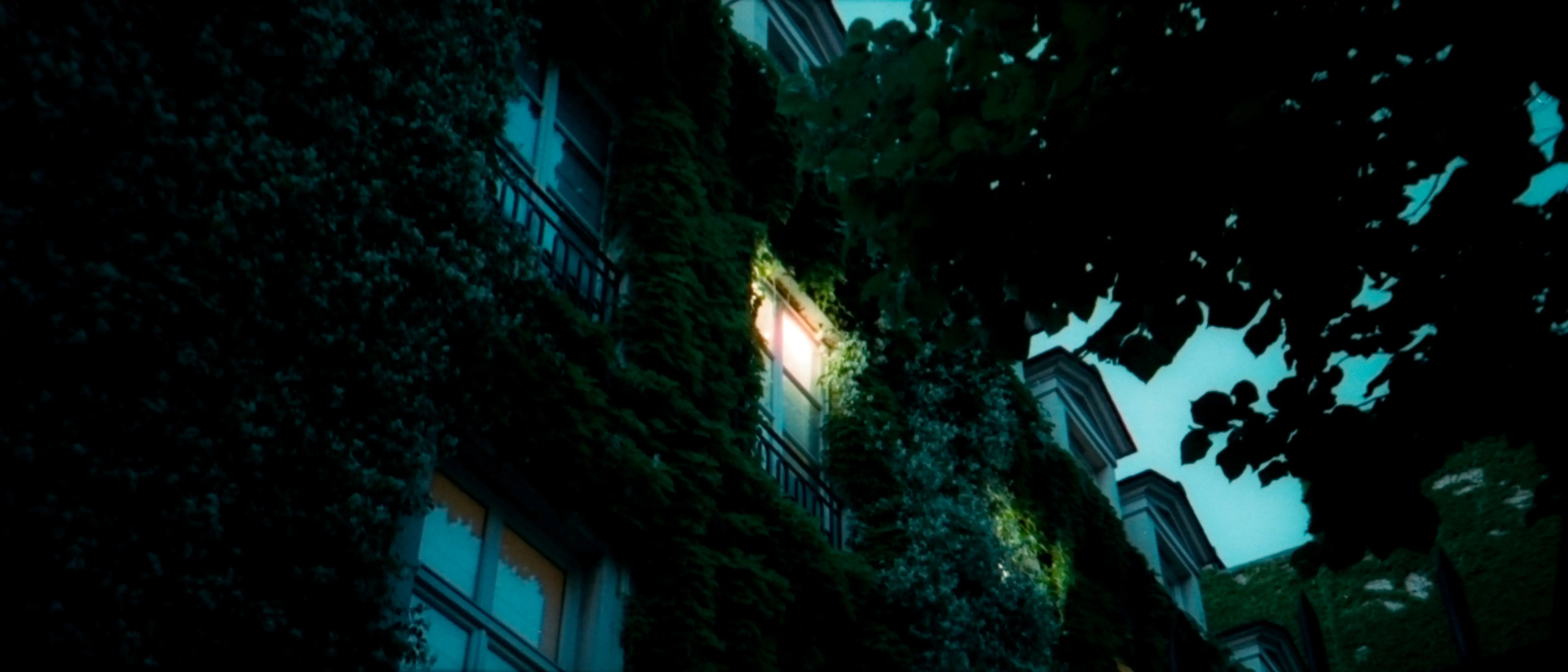 Lonely window - Paris - Cinestill 800T