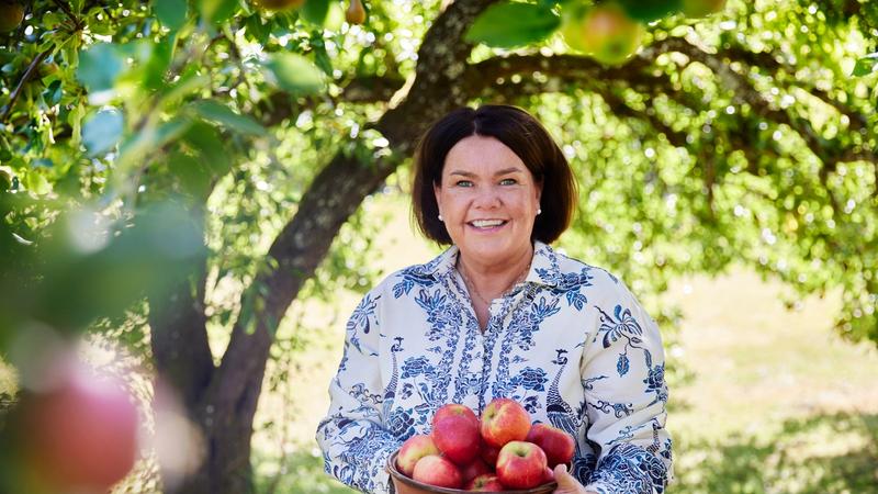 Sissel Brustad under et epletre med en kurv nyplukkede epler