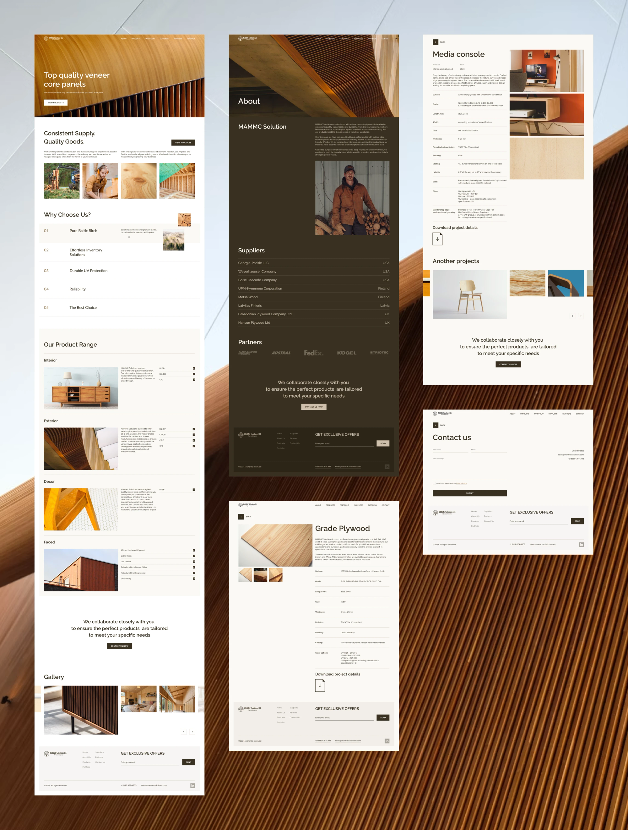 Overview of the MAMMC website pages