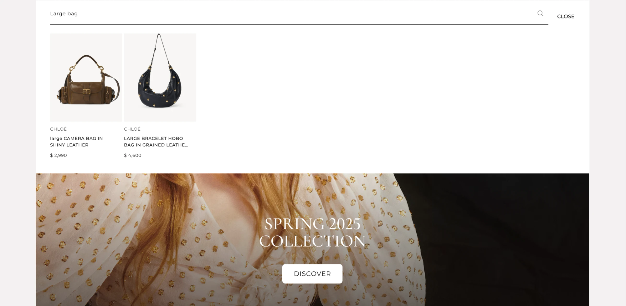 Search overlay with instant product results