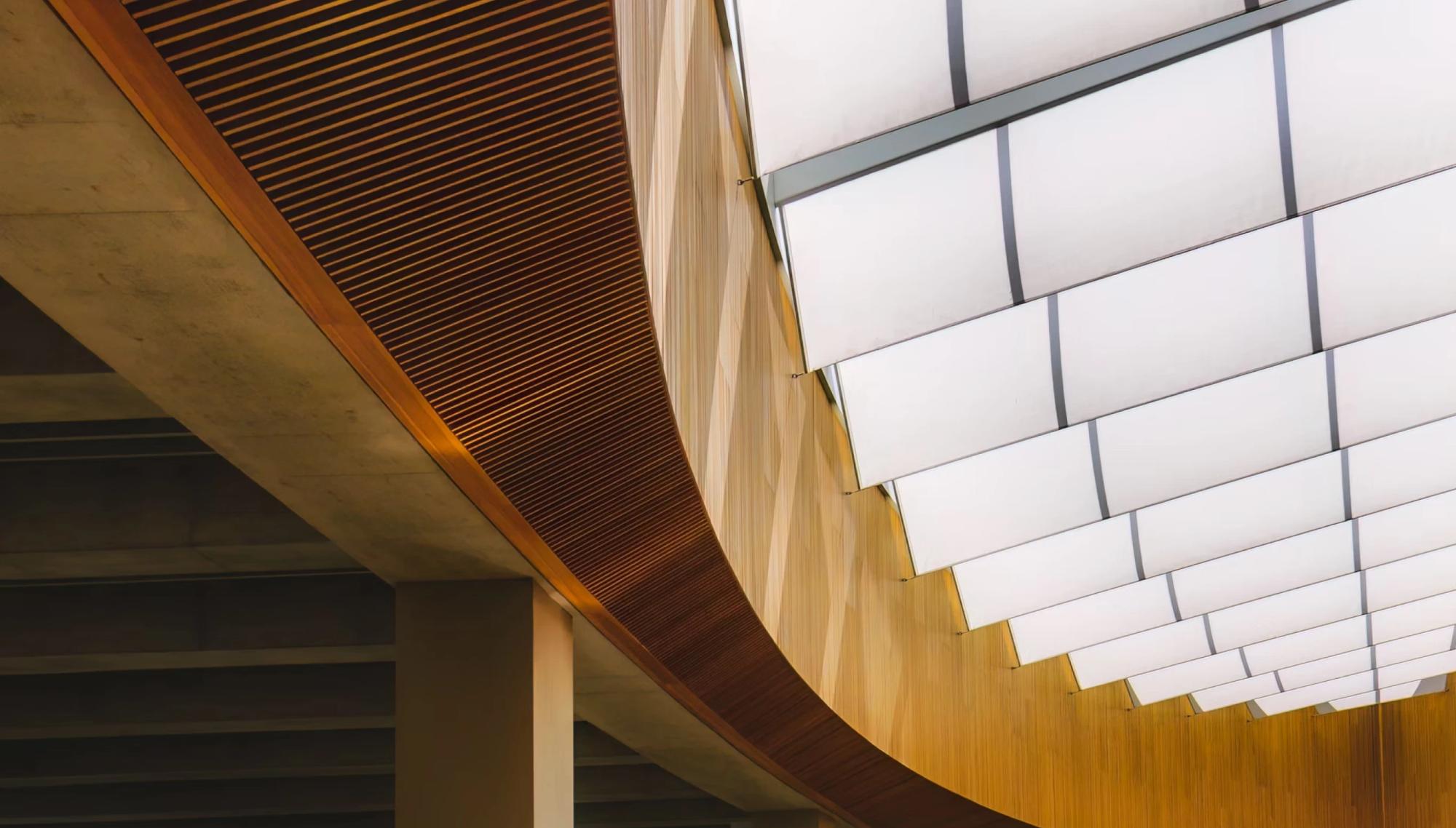 Curved timber ceiling with skylights