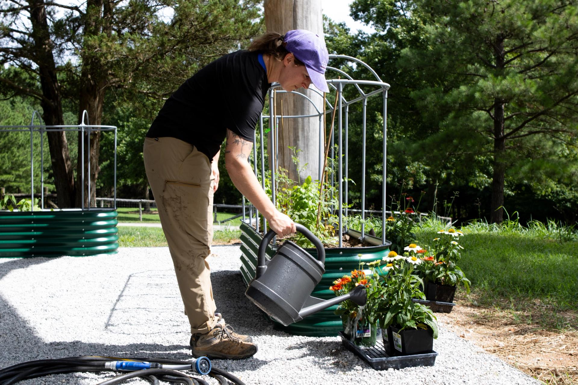 A student waters panels underneath a solar panel.