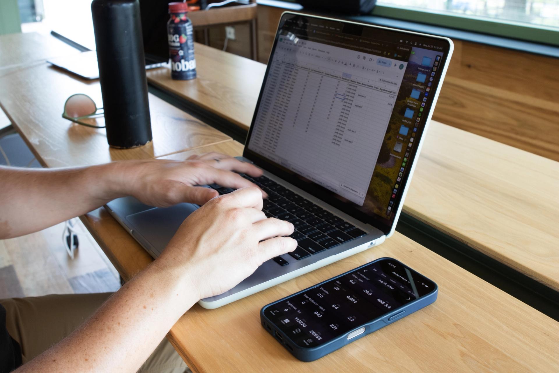 A student enters data into a spreadsheet.