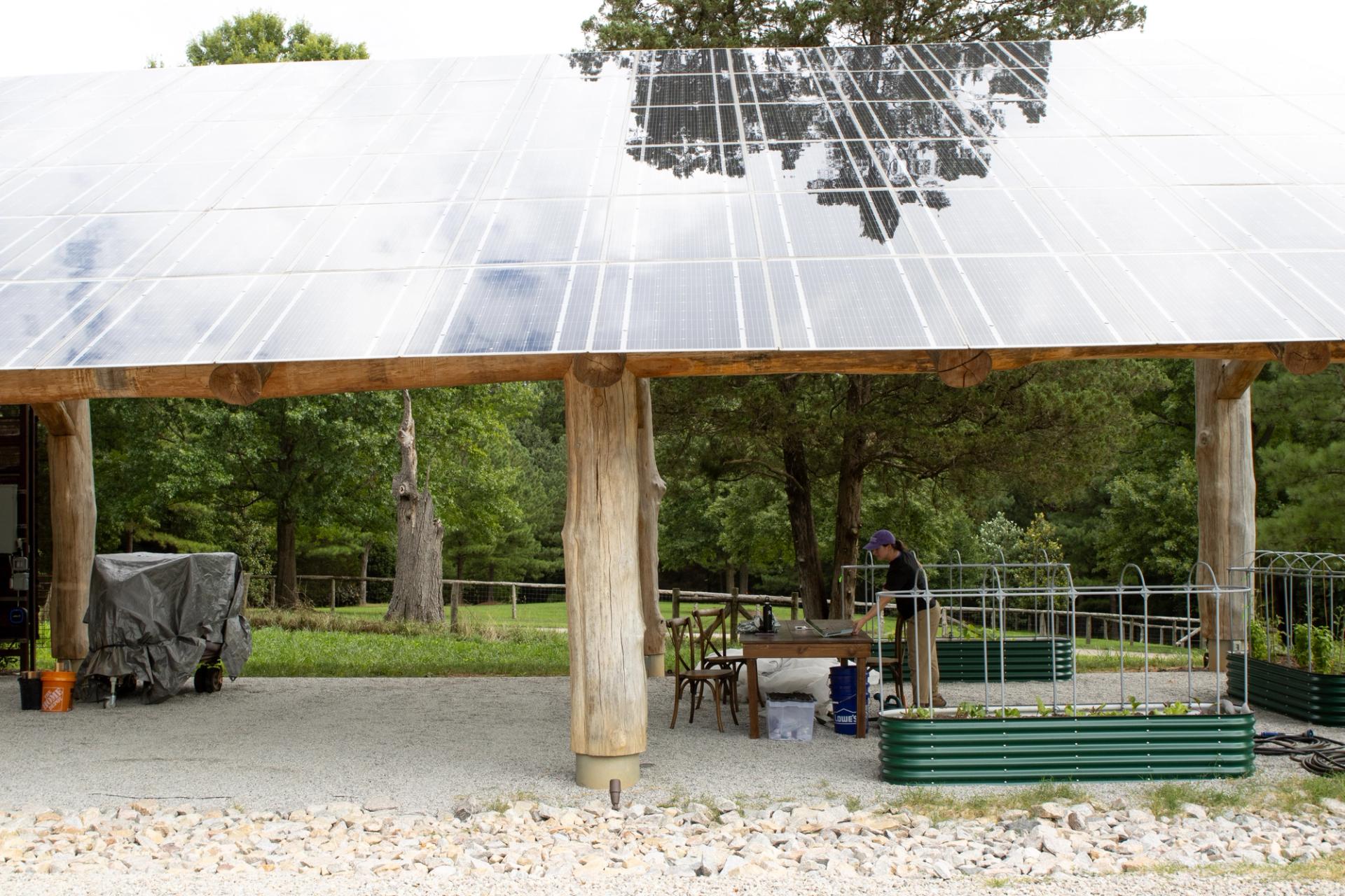 A student standing underneath a solar panel.
