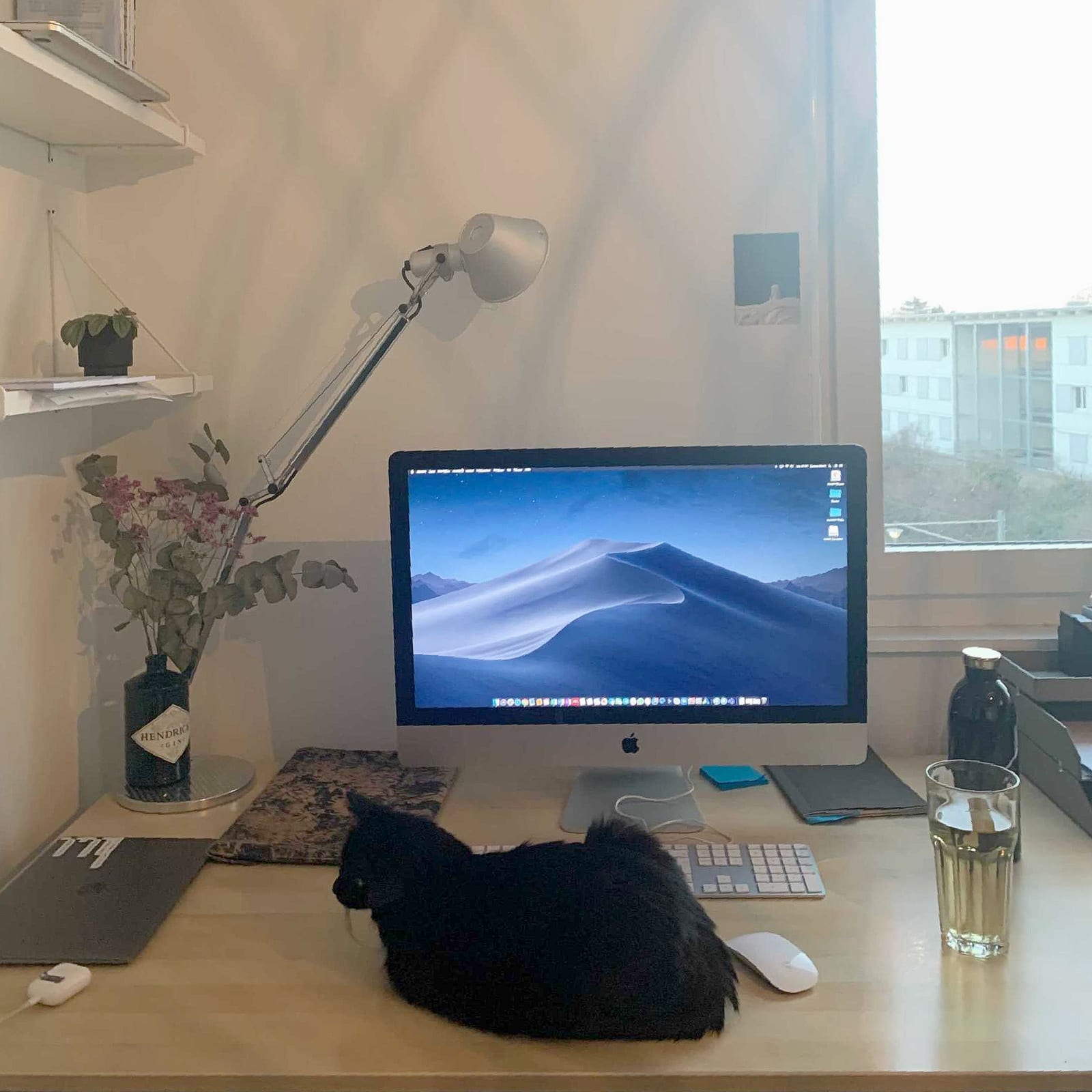 Team Sidekicks im Home Office