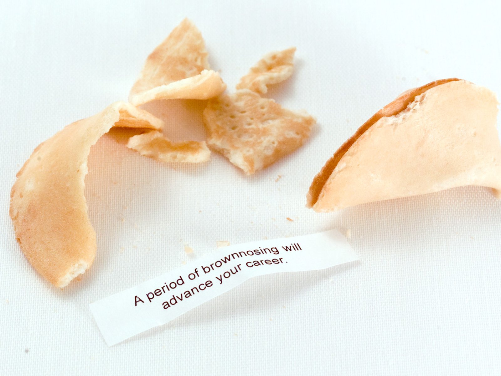 Photo of Inspirational Fortune (Advance Your Career), 2009, digital image​​​​‌﻿‍﻿​‍​‍‌‍﻿﻿‌﻿​‍‌‍‍‌‌‍‌﻿‌‍‍‌‌‍﻿‍​‍​‍​﻿‍‍​‍​‍‌﻿​﻿‌‍​‌‌‍﻿‍‌‍‍‌‌﻿‌​‌﻿‍‌​‍﻿‍‌‍‍‌‌‍﻿﻿​‍​‍​‍﻿​​‍​‍‌‍‍​‌﻿​‍‌‍‌‌‌‍‌‍​‍​‍​﻿‍‍​‍​‍‌‍‍​‌﻿‌​‌﻿‌​‌﻿​​‌﻿​﻿​﻿‍‍​‍﻿﻿​‍﻿﻿‌‍﻿​‌﻿‌‌‌﻿‌​‌‍‍​‌‍‌‌‌﻿​‍​‍﻿‌‌﻿‌​‌‍‍​‌‍‍‌‌‍‌‌​‍﻿‌‌﻿​​‌‍﻿﻿‌﻿​‍‌﻿‌​‌‍‌‍‌‍﻿﻿‌‍﻿​‌‍‍‌‌‍﻿﻿​‍﻿‍‌﻿​﻿‌‍​‌‌‍﻿‍‌‍‍‌‌﻿‌​‌﻿‍‌​‍﻿‍‌﻿​﻿‌﻿‌​‌﻿‌‌‌‍‌​‌‍‍‌‌‍﻿﻿​‍﻿﻿‌‍‍‌‌‍﻿‍‌﻿‌​‌‍‌‌‌‍﻿‍‌﻿‌​​‍﻿﻿‌‍‌‌‌‍‌​‌‍‍‌‌﻿‌​​‍﻿﻿‌‍﻿‌‌‍﻿﻿‌‍‌​‌‍‌‌​﻿﻿‌‌﻿​​‌﻿​‍‌‍‌‌‌﻿​﻿‌‍‌‌‌‍﻿‍‌﻿‌​‌‍​‌‌﻿‌​‌‍‍‌‌‍﻿﻿‌‍﻿‍​﻿‍﻿‌‍‍‌‌‍‌​​﻿﻿‌‌﻿​‌‌﻿​‌‌﻿‌​​﻿‌‍‌﻿‍​‌​‌‍‌‍﻿‌‌​‌​​﻿​﻿‌​‍​‌﻿‍‍‌﻿‌﻿‌​﻿‌‌​﻿‍‌​​‍‌﻿‌​‌‌‍‍‌‌‌‌‌​‌‌‌​﻿﻿‌﻿‍‍‌‍‍﻿​﻿‍﻿‌﻿‌​‌﻿‍‌‌﻿​​‌‍‌‌​﻿﻿‌‌﻿‌﻿‌‍﻿﻿‌﻿​‍‌‍‍﻿​﻿‍﻿‌﻿​​‌‍​‌‌﻿‌​‌‍‍​​﻿﻿‌‌‍​﻿‌‍﻿﻿‌‍﻿‍‌﻿‌​‌‍‌‌‌‍﻿‍‌﻿‌​‌​​‍‌‍﻿​‌‍﻿﻿‌‍​﻿‌‍‍﻿‌﻿​﻿​‍‌‌​﻿‌‌‌​​‍‌‌﻿﻿‌‍‍﻿‌‍‌‌‌﻿‍‌​‍‌‌​﻿​﻿‌​‌​​‍‌‌​﻿​﻿‌​‌​​‍‌‌​﻿​‍​﻿​‍‌‍‍‌‌‍﻿‌‌‍​‌‌‍‌﻿‌‍‌‌​‍﻿‌​﻿​‌​﻿‌﻿​﻿‌‍​﻿‍​​﻿‌‍​﻿​‍​﻿​﻿​﻿‌﻿​﻿​​​﻿‍​​﻿‍​​﻿​​​﻿​﻿​‍﻿‌​﻿‌‌​‍‌‌​﻿​‍​﻿​‍​‍‌‌​﻿‌‌‌​‌​​‍﻿‍‌‍​‌‌‍﻿​‌﻿‌​​﻿﻿﻿‌‍​‍‌‍​‌‌﻿​﻿‌‍‌‌‌‌‌‌‌﻿​‍‌‍﻿​​﻿﻿‌‌‍‍​‌﻿‌​‌﻿‌​‌﻿​​‌﻿​﻿​‍‌‌​﻿​﻿‌​​‌​‍‌‌​﻿​‍‌​‌‍​‍‌‌​﻿​‍‌​‌‍‌‍﻿​‌﻿‌‌‌﻿‌​‌‍‍​‌‍‌‌‌﻿​‍​‍﻿‌‌﻿‌​‌‍‍​‌‍‍‌‌‍‌‌​‍﻿‌‌﻿​​‌‍﻿﻿‌﻿​‍‌﻿‌​‌‍‌‍‌‍﻿﻿‌‍﻿​‌‍‍‌‌‍﻿﻿​‍﻿‍‌﻿​﻿‌‍​‌‌‍﻿‍‌‍‍‌‌﻿‌​‌﻿‍‌​‍﻿‍‌﻿​﻿‌﻿‌​‌﻿‌‌‌‍‌​‌‍‍‌‌‍﻿﻿​‍‌‍‌‍‍‌‌‍‌​​﻿﻿‌‌﻿​‌‌﻿​‌‌﻿‌​​﻿‌‍‌﻿‍​‌​‌‍‌‍﻿‌‌​‌​​﻿​﻿‌​‍​‌﻿‍‍‌﻿‌﻿‌​﻿‌‌​﻿‍‌​​‍‌﻿‌​‌‌‍‍‌‌‌‌‌​‌‌‌​﻿﻿‌﻿‍‍‌‍‍﻿​‍‌‍‌﻿‌​‌﻿‍‌‌﻿​​‌‍‌‌​﻿﻿‌‌﻿‌﻿‌‍﻿﻿‌﻿​‍‌‍‍﻿​‍‌‍‌﻿​​‌‍​‌‌﻿‌​‌‍‍​​﻿﻿‌‌‍​﻿‌‍﻿﻿‌‍﻿‍‌﻿‌​‌‍‌‌‌‍﻿‍‌﻿‌​‌​​‍‌‍﻿​‌‍﻿﻿‌‍​﻿‌‍‍﻿‌﻿​﻿​‍‌‌​﻿‌‌‌​​‍‌‌﻿﻿‌‍‍﻿‌‍‌‌‌﻿‍‌​‍‌‌​﻿​﻿‌​‌​​‍‌‌​﻿​﻿‌​‌​​‍‌‌​﻿​‍​﻿​‍‌‍‍‌‌‍﻿‌‌‍​‌‌‍‌﻿‌‍‌‌​‍﻿‌​﻿​‌​﻿‌﻿​﻿‌‍​﻿‍​​﻿‌‍​﻿​‍​﻿​﻿​﻿‌﻿​﻿​​​﻿‍​​﻿‍​​﻿​​​﻿​﻿​‍﻿‌​﻿‌‌​‍‌‌​﻿​‍​﻿​‍​‍‌‌​﻿‌‌‌​‌​​‍﻿‍‌‍​‌‌‍﻿​‌﻿‌​​‍‌‍‌﻿​​‌‍‌‌‌﻿​‍‌﻿​﻿‌﻿​​‌‍‌‌‌‍​﻿‌﻿‌​‌‍‍‌‌﻿‌‍‌‍‌‌​﻿﻿‌‌﻿​​‌﻿‌‌‌‍​‍‌‍﻿​‌‍‍‌‌﻿​﻿‌‍‍​‌‍‌‌‌‍‌​​‍​‍‌﻿﻿‌