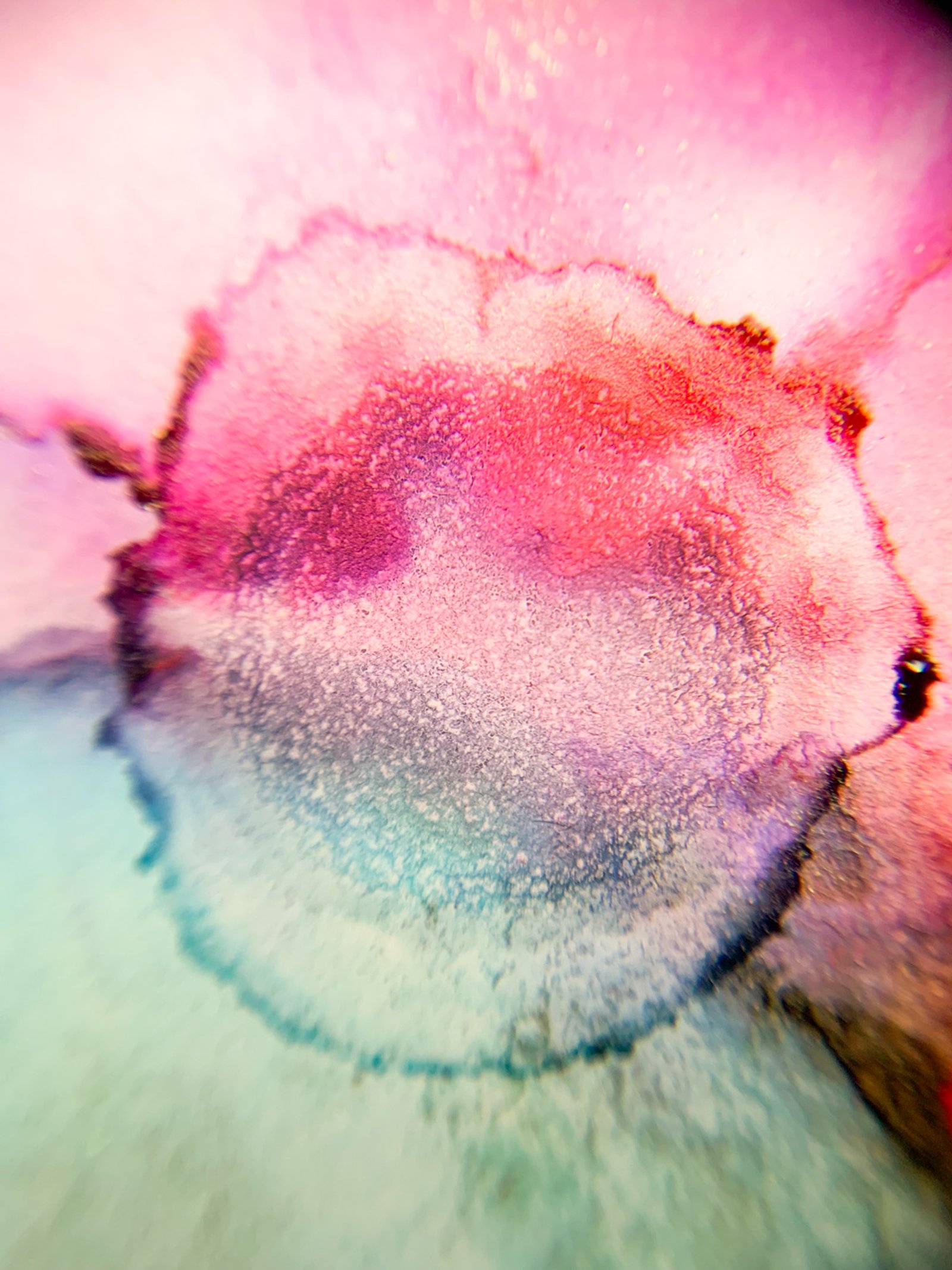 Ignomic Aperture, 2019, Detail​​​​‌﻿‍﻿​‍​‍‌‍﻿﻿‌﻿​‍‌‍‍‌‌‍‌﻿‌‍‍‌‌‍﻿‍​‍​‍​﻿‍‍​‍​‍‌﻿​﻿‌‍​‌‌‍﻿‍‌‍‍‌‌﻿‌​‌﻿‍‌​‍﻿‍‌‍‍‌‌‍﻿﻿​‍​‍​‍﻿​​‍​‍‌‍‍​‌﻿​‍‌‍‌‌‌‍‌‍​‍​‍​﻿‍‍​‍​‍‌‍‍​‌﻿‌​‌﻿‌​‌﻿​​‌﻿​﻿​﻿‍‍​‍﻿﻿​‍﻿﻿‌‍﻿​‌﻿‌‌‌﻿‌​‌‍‍​‌‍‌‌‌﻿​‍​‍﻿‌‌﻿‌​‌‍‍​‌‍‍‌‌‍‌‌​‍﻿‌‌﻿​​‌‍﻿﻿‌﻿​‍‌﻿‌​‌‍‌‍‌‍﻿﻿‌‍﻿​‌‍‍‌‌‍﻿﻿​‍﻿‍‌﻿​﻿‌‍​‌‌‍﻿‍‌‍‍‌‌﻿‌​‌﻿‍‌​‍﻿‍‌﻿​﻿‌﻿‌​‌﻿‌‌‌‍‌​‌‍‍‌‌‍﻿﻿​‍﻿﻿‌‍‍‌‌‍﻿‍‌﻿‌​‌‍‌‌‌‍﻿‍‌﻿‌​​‍﻿﻿‌‍‌‌‌‍‌​‌‍‍‌‌﻿‌​​‍﻿﻿‌‍﻿‌‌‍﻿﻿‌‍‌​‌‍‌‌​﻿﻿‌‌﻿​​‌﻿​‍‌‍‌‌‌﻿​﻿‌‍‌‌‌‍﻿‍‌﻿‌​‌‍​‌‌﻿‌​‌‍‍‌‌‍﻿﻿‌‍﻿‍​﻿‍﻿‌‍‍‌‌‍‌​​﻿﻿‌‌﻿​‌‌﻿​‌‌﻿‌​​﻿‌‍‌﻿‍​‌​‌‍‌‍﻿‌‌​‌​​﻿​﻿‌​‍​‌﻿‍‍‌﻿‌﻿‌​﻿‌‌​﻿‍‌​​‍‌﻿‌​‌‌‍‍‌‌‌‌‌​‌‌‌‍‌​‌​​﻿‌​﻿﻿​﻿‍﻿‌﻿‌​‌﻿‍‌‌﻿​​‌‍‌‌​﻿﻿‌‌﻿‌﻿‌‍﻿﻿‌﻿​‍‌‍‍﻿​﻿‍﻿‌﻿​​‌‍​‌‌﻿‌​‌‍‍​​﻿﻿‌‌‍​﻿‌‍﻿﻿‌‍﻿‍‌﻿‌​‌‍‌‌‌‍﻿‍‌﻿‌​‌​​‍‌‍﻿​‌‍﻿﻿‌‍​﻿‌‍‍﻿‌﻿​﻿​‍‌‌​﻿‌‌‌​​‍‌‌﻿﻿‌‍‍﻿‌‍‌‌‌﻿‍‌​‍‌‌​﻿​﻿‌​‌​​‍‌‌​﻿​﻿‌​‌​​‍‌‌​﻿​‍​﻿​‍‌‍‍‌‌‍﻿‌‌‍​‌‌‍‌﻿‌‍‌‌​‍﻿‌​﻿​‌​﻿‌﻿​﻿‌‍​﻿‍​​﻿‌‍​﻿​‍​﻿​﻿​﻿‌﻿​﻿​‌​﻿‍‌​﻿‍‌​﻿​‌​﻿​​​‍﻿‌​﻿​‌​‍‌‌​﻿​‍​﻿​‍​‍‌‌​﻿‌‌‌​‌​​‍﻿‍‌‍​‌‌‍﻿​‌﻿‌​​﻿﻿﻿‌‍​‍‌‍​‌‌﻿​﻿‌‍‌‌‌‌‌‌‌﻿​‍‌‍﻿​​﻿﻿‌‌‍‍​‌﻿‌​‌﻿‌​‌﻿​​‌﻿​﻿​‍‌‌​﻿​﻿‌​​‌​‍‌‌​﻿​‍‌​‌‍​‍‌‌​﻿​‍‌​‌‍‌‍﻿​‌﻿‌‌‌﻿‌​‌‍‍​‌‍‌‌‌﻿​‍​‍﻿‌‌﻿‌​‌‍‍​‌‍‍‌‌‍‌‌​‍﻿‌‌﻿​​‌‍﻿﻿‌﻿​‍‌﻿‌​‌‍‌‍‌‍﻿﻿‌‍﻿​‌‍‍‌‌‍﻿﻿​‍﻿‍‌﻿​﻿‌‍​‌‌‍﻿‍‌‍‍‌‌﻿‌​‌﻿‍‌​‍﻿‍‌﻿​﻿‌﻿‌​‌﻿‌‌‌‍‌​‌‍‍‌‌‍﻿﻿​‍‌‍‌‍‍‌‌‍‌​​﻿﻿‌‌﻿​‌‌﻿​‌‌﻿‌​​﻿‌‍‌﻿‍​‌​‌‍‌‍﻿‌‌​‌​​﻿​﻿‌​‍​‌﻿‍‍‌﻿‌﻿‌​﻿‌‌​﻿‍‌​​‍‌﻿‌​‌‌‍‍‌‌‌‌‌​‌‌‌‍‌​‌​​﻿‌​﻿﻿​‍‌‍‌﻿‌​‌﻿‍‌‌﻿​​‌‍‌‌​﻿﻿‌‌﻿‌﻿‌‍﻿﻿‌﻿​‍‌‍‍﻿​‍‌‍‌﻿​​‌‍​‌‌﻿‌​‌‍‍​​﻿﻿‌‌‍​﻿‌‍﻿﻿‌‍﻿‍‌﻿‌​‌‍‌‌‌‍﻿‍‌﻿‌​‌​​‍‌‍﻿​‌‍﻿﻿‌‍​﻿‌‍‍﻿‌﻿​﻿​‍‌‌​﻿‌‌‌​​‍‌‌﻿﻿‌‍‍﻿‌‍‌‌‌﻿‍‌​‍‌‌​﻿​﻿‌​‌​​‍‌‌​﻿​﻿‌​‌​​‍‌‌​﻿​‍​﻿​‍‌‍‍‌‌‍﻿‌‌‍​‌‌‍‌﻿‌‍‌‌​‍﻿‌​﻿​‌​﻿‌﻿​﻿‌‍​﻿‍​​﻿‌‍​﻿​‍​﻿​﻿​﻿‌﻿​﻿​‌​﻿‍‌​﻿‍‌​﻿​‌​﻿​​​‍﻿‌​﻿​‌​‍‌‌​﻿​‍​﻿​‍​‍‌‌​﻿‌‌‌​‌​​‍﻿‍‌‍​‌‌‍﻿​‌﻿‌​​‍‌‍‌﻿​​‌‍‌‌‌﻿​‍‌﻿​﻿‌﻿​​‌‍‌‌‌‍​﻿‌﻿‌​‌‍‍‌‌﻿‌‍‌‍‌‌​﻿﻿‌‌﻿​​‌﻿‌‌‌‍​‍‌‍﻿​‌‍‍‌‌﻿​﻿‌‍‍​‌‍‌‌‌‍‌​​‍​‍‌﻿﻿‌