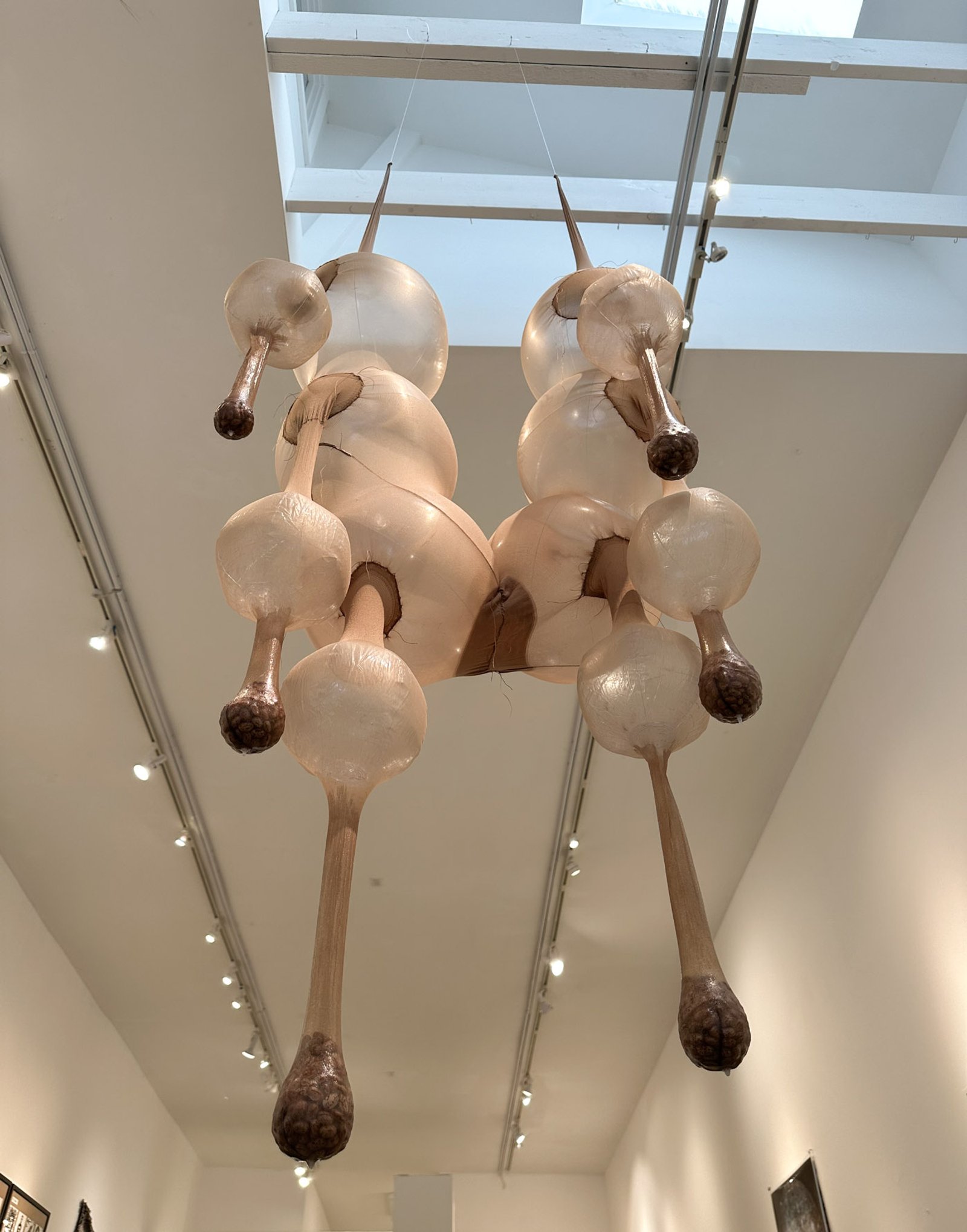 Fermentation Rig v2, 2023​​​​‌﻿‍﻿​‍​‍‌‍﻿﻿‌﻿​‍‌‍‍‌‌‍‌﻿‌‍‍‌‌‍﻿‍​‍​‍​﻿‍‍​‍​‍‌﻿​﻿‌‍​‌‌‍﻿‍‌‍‍‌‌﻿‌​‌﻿‍‌​‍﻿‍‌‍‍‌‌‍﻿﻿​‍​‍​‍﻿​​‍​‍‌‍‍​‌﻿​‍‌‍‌‌‌‍‌‍​‍​‍​﻿‍‍​‍​‍‌‍‍​‌﻿‌​‌﻿‌​‌﻿​​‌﻿​﻿​﻿‍‍​‍﻿﻿​‍﻿﻿‌‍﻿​‌﻿‌‌‌﻿‌​‌‍‍​‌‍‌‌‌﻿​‍​‍﻿‌‌﻿‌​‌‍‍​‌‍‍‌‌‍‌‌​‍﻿‌‌﻿​​‌‍﻿﻿‌﻿​‍‌﻿‌​‌‍‌‍‌‍﻿﻿‌‍﻿​‌‍‍‌‌‍﻿﻿​‍﻿‍‌﻿​﻿‌‍​‌‌‍﻿‍‌‍‍‌‌﻿‌​‌﻿‍‌​‍﻿‍‌﻿​﻿‌﻿‌​‌﻿‌‌‌‍‌​‌‍‍‌‌‍﻿﻿​‍﻿﻿‌‍‍‌‌‍﻿‍‌﻿‌​‌‍‌‌‌‍﻿‍‌﻿‌​​‍﻿﻿‌‍‌‌‌‍‌​‌‍‍‌‌﻿‌​​‍﻿﻿‌‍﻿‌‌‍﻿﻿‌‍‌​‌‍‌‌​﻿﻿‌‌﻿​​‌﻿​‍‌‍‌‌‌﻿​﻿‌‍‌‌‌‍﻿‍‌﻿‌​‌‍​‌‌﻿‌​‌‍‍‌‌‍﻿﻿‌‍﻿‍​﻿‍﻿‌‍‍‌‌‍‌​​﻿﻿‌‌﻿​​‌‍‌​‌​‍‍‌​​‌‌‌‍‌‌﻿​﻿​﻿​​‌‍​‌‌​‌﻿‌​‌﻿‌‍​‌​﻿‌​‌​‍‍‌‍﻿‍‌‍‍﻿‌‍‌‌‌​﻿‌‌﻿‌﻿‌‌​‍‌‌‌‌‌﻿‍‌‌​‍‌​﻿‍﻿‌﻿‌​‌﻿‍‌‌﻿​​‌‍‌‌​﻿﻿‌‌﻿‌﻿‌‍﻿﻿‌﻿​‍‌‍‍﻿​﻿‍﻿‌﻿​​‌‍​‌‌﻿‌​‌‍‍​​﻿﻿‌‌‍​﻿‌‍﻿﻿‌‍﻿‍‌﻿‌​‌‍‌‌‌‍﻿‍‌﻿‌​‌​​‍‌‍﻿​‌‍﻿﻿‌‍​﻿‌‍‍﻿‌﻿​﻿​‍‌‌​﻿‌‌‌​​‍‌‌﻿﻿‌‍‍﻿‌‍‌‌‌﻿‍‌​‍‌‌​﻿​﻿‌​‌​​‍‌‌​﻿​﻿‌​‌​​‍‌‌​﻿​‍​﻿​‍‌‍‍‌‌‍﻿‌‌‍​‌‌‍‌﻿‌‍‌‌​‍﻿‌​﻿​‌​﻿‌﻿​﻿‌‍​﻿‍​​﻿‌‍​﻿​‍​﻿​﻿​﻿‌‍​﻿‍‌​﻿‍‌​﻿‌﻿​﻿​‌​﻿​﻿​‍﻿‌​﻿​‌​‍‌‌​﻿​‍​﻿​‍​‍‌‌​﻿‌‌‌​‌​​‍﻿‍‌‍​‌‌‍﻿​‌﻿‌​​﻿﻿﻿‌‍​‍‌‍​‌‌﻿​﻿‌‍‌‌‌‌‌‌‌﻿​‍‌‍﻿​​﻿﻿‌‌‍‍​‌﻿‌​‌﻿‌​‌﻿​​‌﻿​﻿​‍‌‌​﻿​﻿‌​​‌​‍‌‌​﻿​‍‌​‌‍​‍‌‌​﻿​‍‌​‌‍‌‍﻿​‌﻿‌‌‌﻿‌​‌‍‍​‌‍‌‌‌﻿​‍​‍﻿‌‌﻿‌​‌‍‍​‌‍‍‌‌‍‌‌​‍﻿‌‌﻿​​‌‍﻿﻿‌﻿​‍‌﻿‌​‌‍‌‍‌‍﻿﻿‌‍﻿​‌‍‍‌‌‍﻿﻿​‍﻿‍‌﻿​﻿‌‍​‌‌‍﻿‍‌‍‍‌‌﻿‌​‌﻿‍‌​‍﻿‍‌﻿​﻿‌﻿‌​‌﻿‌‌‌‍‌​‌‍‍‌‌‍﻿﻿​‍‌‍‌‍‍‌‌‍‌​​﻿﻿‌‌﻿​​‌‍‌​‌​‍‍‌​​‌‌‌‍‌‌﻿​﻿​﻿​​‌‍​‌‌​‌﻿‌​‌﻿‌‍​‌​﻿‌​‌​‍‍‌‍﻿‍‌‍‍﻿‌‍‌‌‌​﻿‌‌﻿‌﻿‌‌​‍‌‌‌‌‌﻿‍‌‌​‍‌​‍‌‍‌﻿‌​‌﻿‍‌‌﻿​​‌‍‌‌​﻿﻿‌‌﻿‌﻿‌‍﻿﻿‌﻿​‍‌‍‍﻿​‍‌‍‌﻿​​‌‍​‌‌﻿‌​‌‍‍​​﻿﻿‌‌‍​﻿‌‍﻿﻿‌‍﻿‍‌﻿‌​‌‍‌‌‌‍﻿‍‌﻿‌​‌​​‍‌‍﻿​‌‍﻿﻿‌‍​﻿‌‍‍﻿‌﻿​﻿​‍‌‌​﻿‌‌‌​​‍‌‌﻿﻿‌‍‍﻿‌‍‌‌‌﻿‍‌​‍‌‌​﻿​﻿‌​‌​​‍‌‌​﻿​﻿‌​‌​​‍‌‌​﻿​‍​﻿​‍‌‍‍‌‌‍﻿‌‌‍​‌‌‍‌﻿‌‍‌‌​‍﻿‌​﻿​‌​﻿‌﻿​﻿‌‍​﻿‍​​﻿‌‍​﻿​‍​﻿​﻿​﻿‌‍​﻿‍‌​﻿‍‌​﻿‌﻿​﻿​‌​﻿​﻿​‍﻿‌​﻿​‌​‍‌‌​﻿​‍​﻿​‍​‍‌‌​﻿‌‌‌​‌​​‍﻿‍‌‍​‌‌‍﻿​‌﻿‌​​‍‌‍‌﻿​​‌‍‌‌‌﻿​‍‌﻿​﻿‌﻿​​‌‍‌‌‌‍​﻿‌﻿‌​‌‍‍‌‌﻿‌‍‌‍‌‌​﻿﻿‌‌﻿​​‌﻿‌‌‌‍​‍‌‍﻿​‌‍‍‌‌﻿​﻿‌‍‍​‌‍‌‌‌‍‌​​‍​‍‌﻿﻿‌