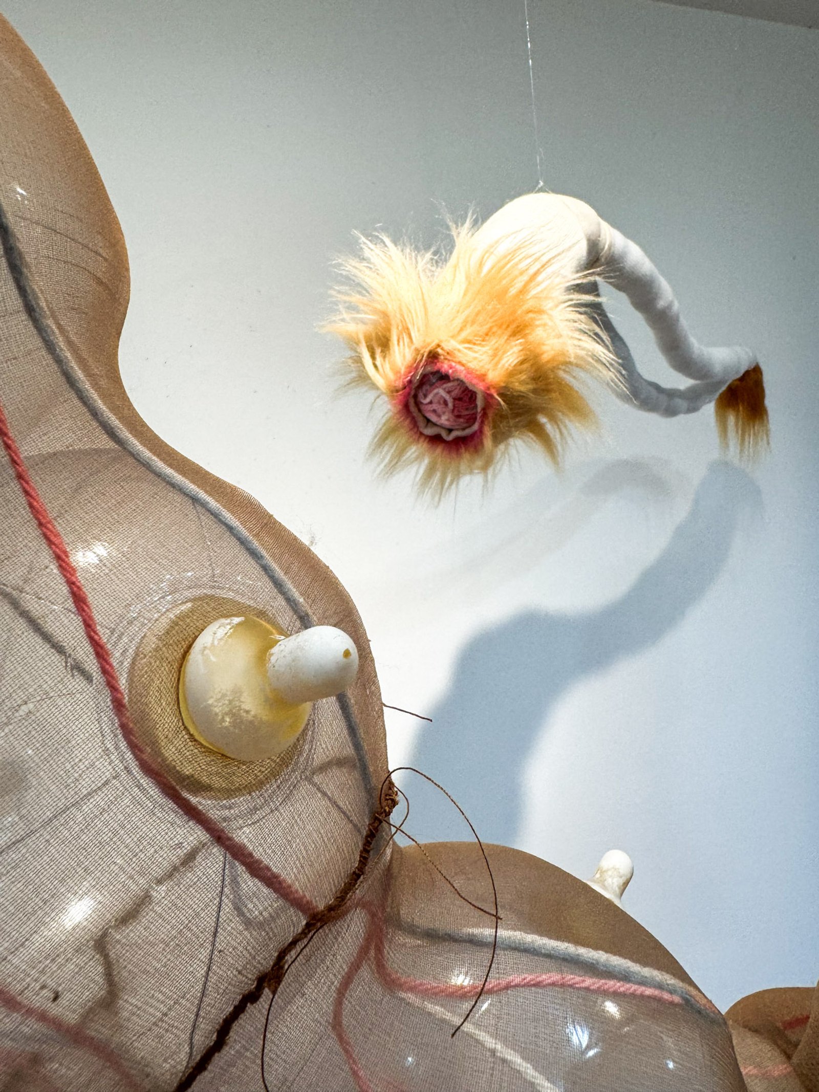 oankali nipple CU​​​​‌﻿‍﻿​‍​‍‌‍﻿﻿‌﻿​‍‌‍‍‌‌‍‌﻿‌‍‍‌‌‍﻿‍​‍​‍​﻿‍‍​‍​‍‌﻿​﻿‌‍​‌‌‍﻿‍‌‍‍‌‌﻿‌​‌﻿‍‌​‍﻿‍‌‍‍‌‌‍﻿﻿​‍​‍​‍﻿​​‍​‍‌‍‍​‌﻿​‍‌‍‌‌‌‍‌‍​‍​‍​﻿‍‍​‍​‍‌‍‍​‌﻿‌​‌﻿‌​‌﻿​​‌﻿​﻿​﻿‍‍​‍﻿﻿​‍﻿﻿‌‍﻿​‌﻿‌‌‌﻿‌​‌‍‍​‌‍‌‌‌﻿​‍​‍﻿‌‌﻿‌​‌‍‍​‌‍‍‌‌‍‌‌​‍﻿‌‌﻿​​‌‍﻿﻿‌﻿​‍‌﻿‌​‌‍‌‍‌‍﻿﻿‌‍﻿​‌‍‍‌‌‍﻿﻿​‍﻿‍‌﻿​﻿‌‍​‌‌‍﻿‍‌‍‍‌‌﻿‌​‌﻿‍‌​‍﻿‍‌﻿​﻿‌﻿‌​‌﻿‌‌‌‍‌​‌‍‍‌‌‍﻿﻿​‍﻿﻿‌‍‍‌‌‍﻿‍‌﻿‌​‌‍‌‌‌‍﻿‍‌﻿‌​​‍﻿﻿‌‍‌‌‌‍‌​‌‍‍‌‌﻿‌​​‍﻿﻿‌‍﻿‌‌‍﻿﻿‌‍‌​‌‍‌‌​﻿﻿‌‌﻿​​‌﻿​‍‌‍‌‌‌﻿​﻿‌‍‌‌‌‍﻿‍‌﻿‌​‌‍​‌‌﻿‌​‌‍‍‌‌‍﻿﻿‌‍﻿‍​﻿‍﻿‌‍‍‌‌‍‌​​﻿﻿‌‌​‌​‌‌‌​‌‍‌‌‌​‌​‌​​﻿‌‌​﻿‌​﻿‍‌‍﻿​‌‍﻿​‌​‌﻿‌‌​‍​﻿​‍‌‌‍‍‌‌​‌‌‍​‍‌​‌​‌‍﻿​‌﻿‌‌‌‌​‌‌​‌‍‌﻿​‍‌﻿‌‍​﻿‍﻿‌﻿‌​‌﻿‍‌‌﻿​​‌‍‌‌​﻿﻿‌‌﻿‌﻿‌‍﻿﻿‌﻿​‍‌‍‍﻿​﻿‍﻿‌﻿​​‌‍​‌‌﻿‌​‌‍‍​​﻿﻿‌‌‍​﻿‌‍﻿﻿‌‍﻿‍‌﻿‌​‌‍‌‌‌‍﻿‍‌﻿‌​‌​​‍‌‍﻿​‌‍﻿﻿‌‍​﻿‌‍‍﻿‌﻿​﻿​‍‌‌​﻿‌‌‌​​‍‌‌﻿﻿‌‍‍﻿‌‍‌‌‌﻿‍‌​‍‌‌​﻿​﻿‌​‌​​‍‌‌​﻿​﻿‌​‌​​‍‌‌​﻿​‍​﻿​‍‌‍‍‌‌‍﻿‌‌‍​‌‌‍‌﻿‌‍‌‌​‍﻿‌​﻿​‌​﻿‌﻿​﻿‌‍​﻿‍​​﻿‌‍​﻿​‍​﻿​﻿​﻿‌‍​﻿‌‍​﻿‍‌​﻿​​​﻿‌​​﻿​‌​‍﻿‌​﻿​﻿​‍‌‌​﻿​‍​﻿​‍​‍‌‌​﻿‌‌‌​‌​​‍﻿‍‌‍​‌‌‍﻿​‌﻿‌​​﻿﻿﻿‌‍​‍‌‍​‌‌﻿​﻿‌‍‌‌‌‌‌‌‌﻿​‍‌‍﻿​​﻿﻿‌‌‍‍​‌﻿‌​‌﻿‌​‌﻿​​‌﻿​﻿​‍‌‌​﻿​﻿‌​​‌​‍‌‌​﻿​‍‌​‌‍​‍‌‌​﻿​‍‌​‌‍‌‍﻿​‌﻿‌‌‌﻿‌​‌‍‍​‌‍‌‌‌﻿​‍​‍﻿‌‌﻿‌​‌‍‍​‌‍‍‌‌‍‌‌​‍﻿‌‌﻿​​‌‍﻿﻿‌﻿​‍‌﻿‌​‌‍‌‍‌‍﻿﻿‌‍﻿​‌‍‍‌‌‍﻿﻿​‍﻿‍‌﻿​﻿‌‍​‌‌‍﻿‍‌‍‍‌‌﻿‌​‌﻿‍‌​‍﻿‍‌﻿​﻿‌﻿‌​‌﻿‌‌‌‍‌​‌‍‍‌‌‍﻿﻿​‍‌‍‌‍‍‌‌‍‌​​﻿﻿‌‌​‌​‌‌‌​‌‍‌‌‌​‌​‌​​﻿‌‌​﻿‌​﻿‍‌‍﻿​‌‍﻿​‌​‌﻿‌‌​‍​﻿​‍‌‌‍‍‌‌​‌‌‍​‍‌​‌​‌‍﻿​‌﻿‌‌‌‌​‌‌​‌‍‌﻿​‍‌﻿‌‍​‍‌‍‌﻿‌​‌﻿‍‌‌﻿​​‌‍‌‌​﻿﻿‌‌﻿‌﻿‌‍﻿﻿‌﻿​‍‌‍‍﻿​‍‌‍‌﻿​​‌‍​‌‌﻿‌​‌‍‍​​﻿﻿‌‌‍​﻿‌‍﻿﻿‌‍﻿‍‌﻿‌​‌‍‌‌‌‍﻿‍‌﻿‌​‌​​‍‌‍﻿​‌‍﻿﻿‌‍​﻿‌‍‍﻿‌﻿​﻿​‍‌‌​﻿‌‌‌​​‍‌‌﻿﻿‌‍‍﻿‌‍‌‌‌﻿‍‌​‍‌‌​﻿​﻿‌​‌​​‍‌‌​﻿​﻿‌​‌​​‍‌‌​﻿​‍​﻿​‍‌‍‍‌‌‍﻿‌‌‍​‌‌‍‌﻿‌‍‌‌​‍﻿‌​﻿​‌​﻿‌﻿​﻿‌‍​﻿‍​​﻿‌‍​﻿​‍​﻿​﻿​﻿‌‍​﻿‌‍​﻿‍‌​﻿​​​﻿‌​​﻿​‌​‍﻿‌​﻿​﻿​‍‌‌​﻿​‍​﻿​‍​‍‌‌​﻿‌‌‌​‌​​‍﻿‍‌‍​‌‌‍﻿​‌﻿‌​​‍‌‍‌﻿​​‌‍‌‌‌﻿​‍‌﻿​﻿‌﻿​​‌‍‌‌‌‍​﻿‌﻿‌​‌‍‍‌‌﻿‌‍‌‍‌‌​﻿﻿‌‌﻿​​‌﻿‌‌‌‍​‍‌‍﻿​‌‍‍‌‌﻿​﻿‌‍‍​‌‍‌‌‌‍‌​​‍​‍‌﻿﻿‌