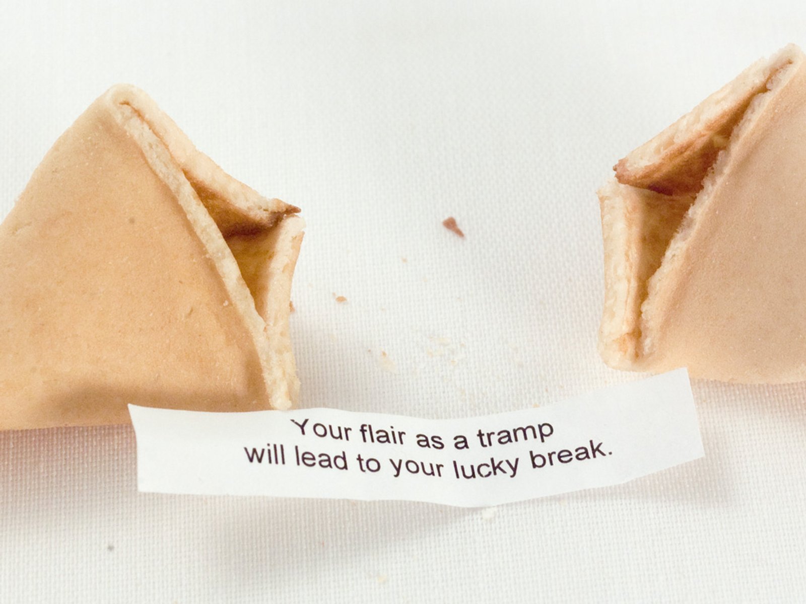 Photo of Inspirational Fortune (Your Flair), 2009, digital image.​​​​‌﻿‍﻿​‍​‍‌‍﻿﻿‌﻿​‍‌‍‍‌‌‍‌﻿‌‍‍‌‌‍﻿‍​‍​‍​﻿‍‍​‍​‍‌﻿​﻿‌‍​‌‌‍﻿‍‌‍‍‌‌﻿‌​‌﻿‍‌​‍﻿‍‌‍‍‌‌‍﻿﻿​‍​‍​‍﻿​​‍​‍‌‍‍​‌﻿​‍‌‍‌‌‌‍‌‍​‍​‍​﻿‍‍​‍​‍‌‍‍​‌﻿‌​‌﻿‌​‌﻿​​‌﻿​﻿​﻿‍‍​‍﻿﻿​‍﻿﻿‌‍﻿​‌﻿‌‌‌﻿‌​‌‍‍​‌‍‌‌‌﻿​‍​‍﻿‌‌﻿‌​‌‍‍​‌‍‍‌‌‍‌‌​‍﻿‌‌﻿​​‌‍﻿﻿‌﻿​‍‌﻿‌​‌‍‌‍‌‍﻿﻿‌‍﻿​‌‍‍‌‌‍﻿﻿​‍﻿‍‌﻿​﻿‌‍​‌‌‍﻿‍‌‍‍‌‌﻿‌​‌﻿‍‌​‍﻿‍‌﻿​﻿‌﻿‌​‌﻿‌‌‌‍‌​‌‍‍‌‌‍﻿﻿​‍﻿﻿‌‍‍‌‌‍﻿‍‌﻿‌​‌‍‌‌‌‍﻿‍‌﻿‌​​‍﻿﻿‌‍‌‌‌‍‌​‌‍‍‌‌﻿‌​​‍﻿﻿‌‍﻿‌‌‍﻿﻿‌‍‌​‌‍‌‌​﻿﻿‌‌﻿​​‌﻿​‍‌‍‌‌‌﻿​﻿‌‍‌‌‌‍﻿‍‌﻿‌​‌‍​‌‌﻿‌​‌‍‍‌‌‍﻿﻿‌‍﻿‍​﻿‍﻿‌‍‍‌‌‍‌​​﻿﻿‌‌﻿​‌‌﻿​‌‌﻿‌​​﻿‌‍‌﻿‍​‌​‌‍‌‍﻿‌‌​‌​​﻿​﻿‌​‍​‌﻿‍‍‌﻿‌﻿‌​﻿‌‌​﻿‍‌​​‍‌﻿‌​‌‌‍‍‌‌‌‌‌​‌‌‌​﻿﻿‌﻿‍‍‌‍‍﻿​﻿‍﻿‌﻿‌​‌﻿‍‌‌﻿​​‌‍‌‌​﻿﻿‌‌﻿‌﻿‌‍﻿﻿‌﻿​‍‌‍‍﻿​﻿‍﻿‌﻿​​‌‍​‌‌﻿‌​‌‍‍​​﻿﻿‌‌‍​﻿‌‍﻿﻿‌‍﻿‍‌﻿‌​‌‍‌‌‌‍﻿‍‌﻿‌​‌​​‍‌‍﻿​‌‍﻿﻿‌‍​﻿‌‍‍﻿‌﻿​﻿​‍‌‌​﻿‌‌‌​​‍‌‌﻿﻿‌‍‍﻿‌‍‌‌‌﻿‍‌​‍‌‌​﻿​﻿‌​‌​​‍‌‌​﻿​﻿‌​‌​​‍‌‌​﻿​‍​﻿​‍‌‍‍‌‌‍﻿‌‌‍​‌‌‍‌﻿‌‍‌‌​‍﻿‌​﻿​‌​﻿‌﻿​﻿‌‍​﻿‍​​﻿‌‍​﻿​‍​﻿​﻿​﻿‌﻿​﻿​​​﻿‍​​﻿‍​​﻿​​​﻿​﻿​‍﻿‌​﻿​​​‍‌‌​﻿​‍​﻿​‍​‍‌‌​﻿‌‌‌​‌​​‍﻿‍‌‍​‌‌‍﻿​‌﻿‌​​﻿﻿﻿‌‍​‍‌‍​‌‌﻿​﻿‌‍‌‌‌‌‌‌‌﻿​‍‌‍﻿​​﻿﻿‌‌‍‍​‌﻿‌​‌﻿‌​‌﻿​​‌﻿​﻿​‍‌‌​﻿​﻿‌​​‌​‍‌‌​﻿​‍‌​‌‍​‍‌‌​﻿​‍‌​‌‍‌‍﻿​‌﻿‌‌‌﻿‌​‌‍‍​‌‍‌‌‌﻿​‍​‍﻿‌‌﻿‌​‌‍‍​‌‍‍‌‌‍‌‌​‍﻿‌‌﻿​​‌‍﻿﻿‌﻿​‍‌﻿‌​‌‍‌‍‌‍﻿﻿‌‍﻿​‌‍‍‌‌‍﻿﻿​‍﻿‍‌﻿​﻿‌‍​‌‌‍﻿‍‌‍‍‌‌﻿‌​‌﻿‍‌​‍﻿‍‌﻿​﻿‌﻿‌​‌﻿‌‌‌‍‌​‌‍‍‌‌‍﻿﻿​‍‌‍‌‍‍‌‌‍‌​​﻿﻿‌‌﻿​‌‌﻿​‌‌﻿‌​​﻿‌‍‌﻿‍​‌​‌‍‌‍﻿‌‌​‌​​﻿​﻿‌​‍​‌﻿‍‍‌﻿‌﻿‌​﻿‌‌​﻿‍‌​​‍‌﻿‌​‌‌‍‍‌‌‌‌‌​‌‌‌​﻿﻿‌﻿‍‍‌‍‍﻿​‍‌‍‌﻿‌​‌﻿‍‌‌﻿​​‌‍‌‌​﻿﻿‌‌﻿‌﻿‌‍﻿﻿‌﻿​‍‌‍‍﻿​‍‌‍‌﻿​​‌‍​‌‌﻿‌​‌‍‍​​﻿﻿‌‌‍​﻿‌‍﻿﻿‌‍﻿‍‌﻿‌​‌‍‌‌‌‍﻿‍‌﻿‌​‌​​‍‌‍﻿​‌‍﻿﻿‌‍​﻿‌‍‍﻿‌﻿​﻿​‍‌‌​﻿‌‌‌​​‍‌‌﻿﻿‌‍‍﻿‌‍‌‌‌﻿‍‌​‍‌‌​﻿​﻿‌​‌​​‍‌‌​﻿​﻿‌​‌​​‍‌‌​﻿​‍​﻿​‍‌‍‍‌‌‍﻿‌‌‍​‌‌‍‌﻿‌‍‌‌​‍﻿‌​﻿​‌​﻿‌﻿​﻿‌‍​﻿‍​​﻿‌‍​﻿​‍​﻿​﻿​﻿‌﻿​﻿​​​﻿‍​​﻿‍​​﻿​​​﻿​﻿​‍﻿‌​﻿​​​‍‌‌​﻿​‍​﻿​‍​‍‌‌​﻿‌‌‌​‌​​‍﻿‍‌‍​‌‌‍﻿​‌﻿‌​​‍‌‍‌﻿​​‌‍‌‌‌﻿​‍‌﻿​﻿‌﻿​​‌‍‌‌‌‍​﻿‌﻿‌​‌‍‍‌‌﻿‌‍‌‍‌‌​﻿﻿‌‌﻿​​‌﻿‌‌‌‍​‍‌‍﻿​‌‍‍‌‌﻿​﻿‌‍‍​‌‍‌‌‌‍‌​​‍​‍‌﻿﻿‌