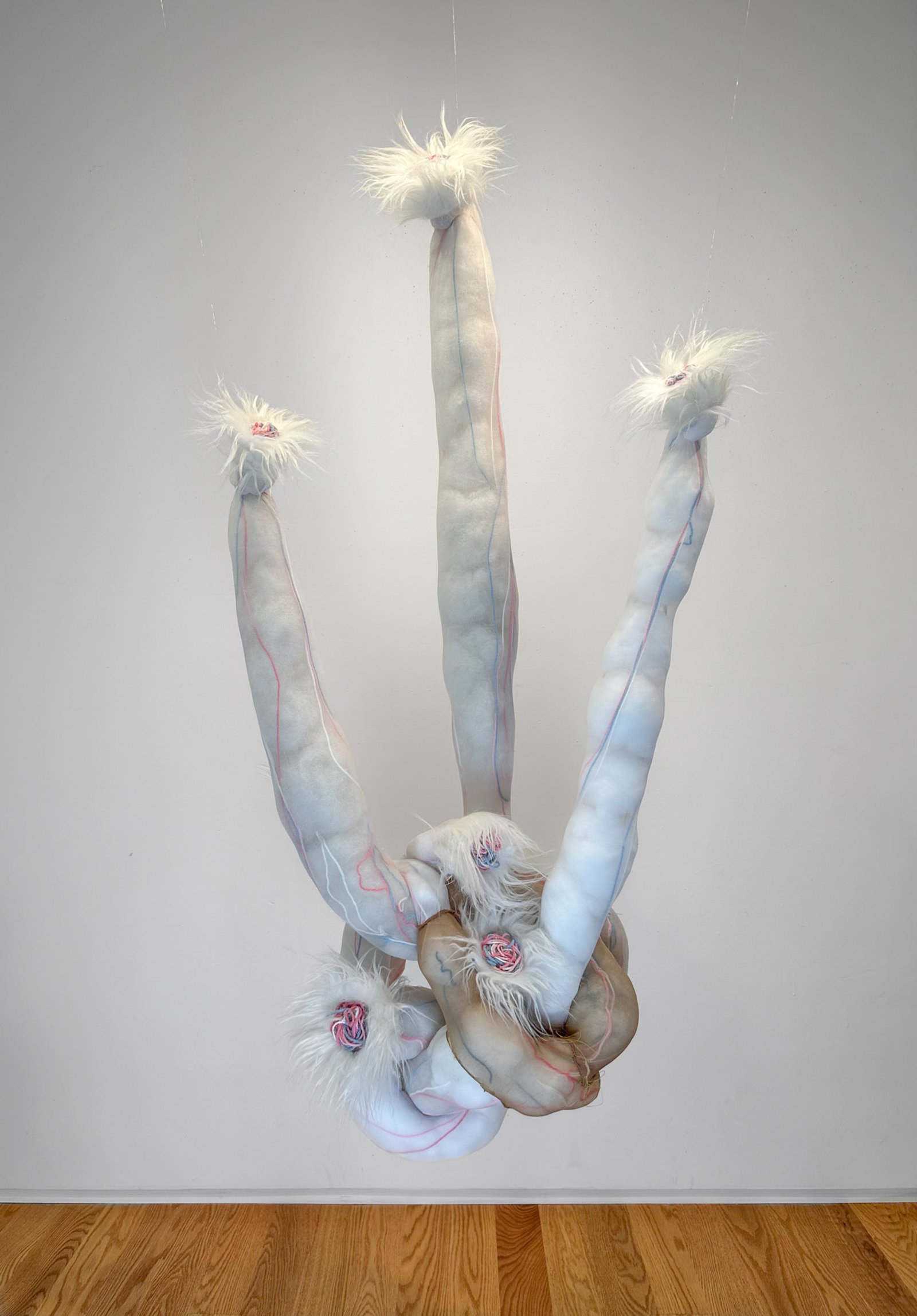 Becoming Invertebrate, 2023​​​​‌﻿‍﻿​‍​‍‌‍﻿﻿‌﻿​‍‌‍‍‌‌‍‌﻿‌‍‍‌‌‍﻿‍​‍​‍​﻿‍‍​‍​‍‌﻿​﻿‌‍​‌‌‍﻿‍‌‍‍‌‌﻿‌​‌﻿‍‌​‍﻿‍‌‍‍‌‌‍﻿﻿​‍​‍​‍﻿​​‍​‍‌‍‍​‌﻿​‍‌‍‌‌‌‍‌‍​‍​‍​﻿‍‍​‍​‍‌‍‍​‌﻿‌​‌﻿‌​‌﻿​​‌﻿​﻿​﻿‍‍​‍﻿﻿​‍﻿﻿‌‍﻿​‌﻿‌‌‌﻿‌​‌‍‍​‌‍‌‌‌﻿​‍​‍﻿‌‌﻿‌​‌‍‍​‌‍‍‌‌‍‌‌​‍﻿‌‌﻿​​‌‍﻿﻿‌﻿​‍‌﻿‌​‌‍‌‍‌‍﻿﻿‌‍﻿​‌‍‍‌‌‍﻿﻿​‍﻿‍‌﻿​﻿‌‍​‌‌‍﻿‍‌‍‍‌‌﻿‌​‌﻿‍‌​‍﻿‍‌﻿​﻿‌﻿‌​‌﻿‌‌‌‍‌​‌‍‍‌‌‍﻿﻿​‍﻿﻿‌‍‍‌‌‍﻿‍‌﻿‌​‌‍‌‌‌‍﻿‍‌﻿‌​​‍﻿﻿‌‍‌‌‌‍‌​‌‍‍‌‌﻿‌​​‍﻿﻿‌‍﻿‌‌‍﻿﻿‌‍‌​‌‍‌‌​﻿﻿‌‌﻿​​‌﻿​‍‌‍‌‌‌﻿​﻿‌‍‌‌‌‍﻿‍‌﻿‌​‌‍​‌‌﻿‌​‌‍‍‌‌‍﻿﻿‌‍﻿‍​﻿‍﻿‌‍‍‌‌‍‌​​﻿﻿‌‌﻿​​‌‍‌​‌​‍‍‌​​‌‌‌‍‌‌﻿​﻿​﻿​​‌‍​‌‌​‌﻿‌​‌﻿‌‍​‌​﻿‌​‌​‍‍‌‍﻿‍‌‍‍﻿‌‍‌‌‌​﻿‌‌﻿‌﻿‌‌​‍‌‌‌‌‌‌​﻿‌‍﻿‍​﻿‍﻿‌﻿‌​‌﻿‍‌‌﻿​​‌‍‌‌​﻿﻿‌‌﻿‌﻿‌‍﻿﻿‌﻿​‍‌‍‍﻿​﻿‍﻿‌﻿​​‌‍​‌‌﻿‌​‌‍‍​​﻿﻿‌‌‍​﻿‌‍﻿﻿‌‍﻿‍‌﻿‌​‌‍‌‌‌‍﻿‍‌﻿‌​‌​​‍‌‍﻿​‌‍﻿﻿‌‍​﻿‌‍‍﻿‌﻿​﻿​‍‌‌​﻿‌‌‌​​‍‌‌﻿﻿‌‍‍﻿‌‍‌‌‌﻿‍‌​‍‌‌​﻿​﻿‌​‌​​‍‌‌​﻿​﻿‌​‌​​‍‌‌​﻿​‍​﻿​‍‌‍‍‌‌‍﻿‌‌‍​‌‌‍‌﻿‌‍‌‌​‍﻿‌​﻿​‌​﻿‌﻿​﻿‌‍​﻿‍​​﻿‌‍​﻿​‍​﻿​﻿​﻿‌‍​﻿‍‌​﻿‍​​﻿‌‍​﻿‍‌​﻿​‌​‍﻿‌​﻿​‍​‍‌‌​﻿​‍​﻿​‍​‍‌‌​﻿‌‌‌​‌​​‍﻿‍‌‍​‌‌‍﻿​‌﻿‌​​﻿﻿﻿‌‍​‍‌‍​‌‌﻿​﻿‌‍‌‌‌‌‌‌‌﻿​‍‌‍﻿​​﻿﻿‌‌‍‍​‌﻿‌​‌﻿‌​‌﻿​​‌﻿​﻿​‍‌‌​﻿​﻿‌​​‌​‍‌‌​﻿​‍‌​‌‍​‍‌‌​﻿​‍‌​‌‍‌‍﻿​‌﻿‌‌‌﻿‌​‌‍‍​‌‍‌‌‌﻿​‍​‍﻿‌‌﻿‌​‌‍‍​‌‍‍‌‌‍‌‌​‍﻿‌‌﻿​​‌‍﻿﻿‌﻿​‍‌﻿‌​‌‍‌‍‌‍﻿﻿‌‍﻿​‌‍‍‌‌‍﻿﻿​‍﻿‍‌﻿​﻿‌‍​‌‌‍﻿‍‌‍‍‌‌﻿‌​‌﻿‍‌​‍﻿‍‌﻿​﻿‌﻿‌​‌﻿‌‌‌‍‌​‌‍‍‌‌‍﻿﻿​‍‌‍‌‍‍‌‌‍‌​​﻿﻿‌‌﻿​​‌‍‌​‌​‍‍‌​​‌‌‌‍‌‌﻿​﻿​﻿​​‌‍​‌‌​‌﻿‌​‌﻿‌‍​‌​﻿‌​‌​‍‍‌‍﻿‍‌‍‍﻿‌‍‌‌‌​﻿‌‌﻿‌﻿‌‌​‍‌‌‌‌‌‌​﻿‌‍﻿‍​‍‌‍‌﻿‌​‌﻿‍‌‌﻿​​‌‍‌‌​﻿﻿‌‌﻿‌﻿‌‍﻿﻿‌﻿​‍‌‍‍﻿​‍‌‍‌﻿​​‌‍​‌‌﻿‌​‌‍‍​​﻿﻿‌‌‍​﻿‌‍﻿﻿‌‍﻿‍‌﻿‌​‌‍‌‌‌‍﻿‍‌﻿‌​‌​​‍‌‍﻿​‌‍﻿﻿‌‍​﻿‌‍‍﻿‌﻿​﻿​‍‌‌​﻿‌‌‌​​‍‌‌﻿﻿‌‍‍﻿‌‍‌‌‌﻿‍‌​‍‌‌​﻿​﻿‌​‌​​‍‌‌​﻿​﻿‌​‌​​‍‌‌​﻿​‍​﻿​‍‌‍‍‌‌‍﻿‌‌‍​‌‌‍‌﻿‌‍‌‌​‍﻿‌​﻿​‌​﻿‌﻿​﻿‌‍​﻿‍​​﻿‌‍​﻿​‍​﻿​﻿​﻿‌‍​﻿‍‌​﻿‍​​﻿‌‍​﻿‍‌​﻿​‌​‍﻿‌​﻿​‍​‍‌‌​﻿​‍​﻿​‍​‍‌‌​﻿‌‌‌​‌​​‍﻿‍‌‍​‌‌‍﻿​‌﻿‌​​‍‌‍‌﻿​​‌‍‌‌‌﻿​‍‌﻿​﻿‌﻿​​‌‍‌‌‌‍​﻿‌﻿‌​‌‍‍‌‌﻿‌‍‌‍‌‌​﻿﻿‌‌﻿​​‌﻿‌‌‌‍​‍‌‍﻿​‌‍‍‌‌﻿​﻿‌‍‍​‌‍‌‌‌‍‌​​‍​‍‌﻿﻿‌