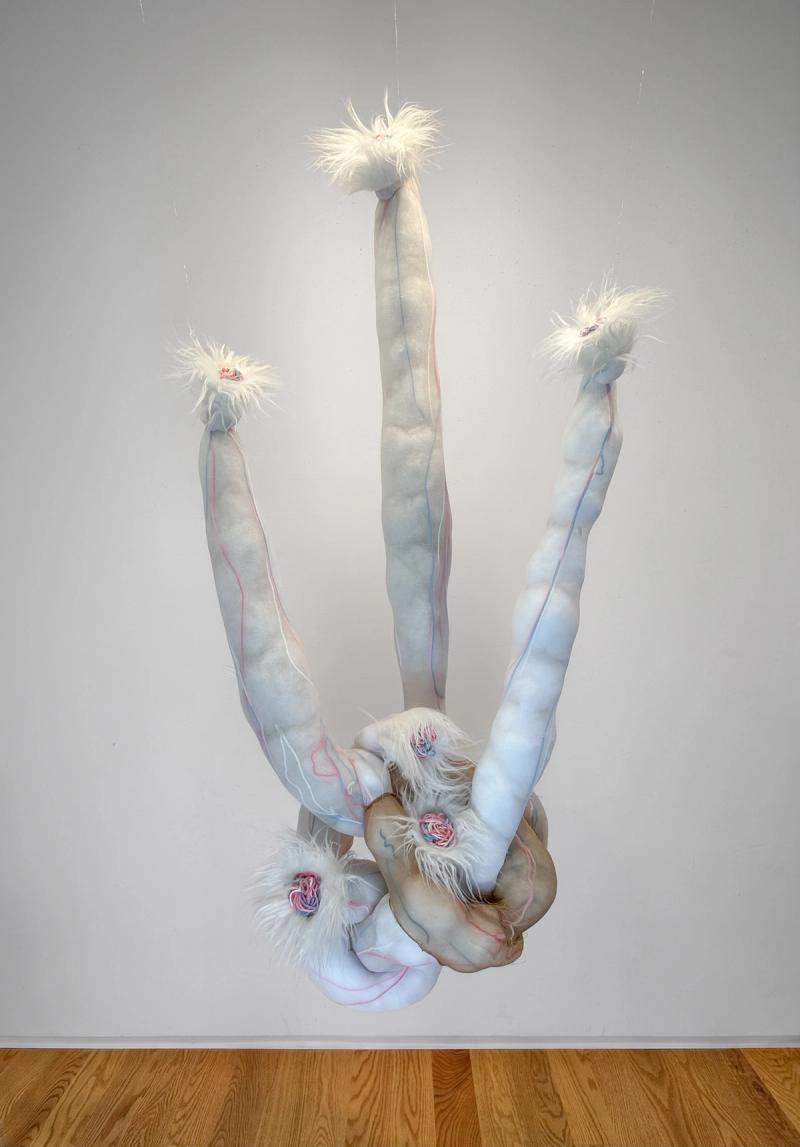 Becoming Invertebrate, 2023​​​​‌﻿‍﻿​‍​‍‌‍﻿﻿‌﻿​‍‌‍‍‌‌‍‌﻿‌‍‍‌‌‍﻿‍​‍​‍​﻿‍‍​‍​‍‌﻿​﻿‌‍​‌‌‍﻿‍‌‍‍‌‌﻿‌​‌﻿‍‌​‍﻿‍‌‍‍‌‌‍﻿﻿​‍​‍​‍﻿​​‍​‍‌‍‍​‌﻿​‍‌‍‌‌‌‍‌‍​‍​‍​﻿‍‍​‍​‍‌‍‍​‌﻿‌​‌﻿‌​‌﻿​​‌﻿​﻿​﻿‍‍​‍﻿﻿​‍﻿﻿‌‍﻿​‌﻿‌‌‌﻿‌​‌‍‍​‌‍‌‌‌﻿​‍​‍﻿‌‌﻿‌​‌‍‍​‌‍‍‌‌‍‌‌​‍﻿‌‌﻿​​‌‍﻿﻿‌﻿​‍‌﻿‌​‌‍‌‍‌‍﻿﻿‌‍﻿​‌‍‍‌‌‍﻿﻿​‍﻿‍‌﻿​﻿‌‍​‌‌‍﻿‍‌‍‍‌‌﻿‌​‌﻿‍‌​‍﻿‍‌﻿​﻿‌﻿‌​‌﻿‌‌‌‍‌​‌‍‍‌‌‍﻿﻿​‍﻿﻿‌‍‍‌‌‍﻿‍‌﻿‌​‌‍‌‌‌‍﻿‍‌﻿‌​​‍﻿﻿‌‍‌‌‌‍‌​‌‍‍‌‌﻿‌​​‍﻿﻿‌‍﻿‌‌‍﻿﻿‌‍‌​‌‍‌‌​﻿﻿‌‌﻿​​‌﻿​‍‌‍‌‌‌﻿​﻿‌‍‌‌‌‍﻿‍‌﻿‌​‌‍​‌‌﻿‌​‌‍‍‌‌‍﻿﻿‌‍﻿‍​﻿‍﻿‌‍‍‌‌‍‌​​﻿﻿‌‌﻿​​‌‍‌​‌​‍‍‌​​‌‌‌‍‌‌﻿​﻿​﻿​​‌‍​‌‌​‌﻿‌​‌﻿‌‍​‌​﻿‌​‌​‍‍‌‍﻿‍‌‍‍﻿‌‍‌‌‌​﻿‌‌﻿‌﻿‌‌​‍‌‌‌‌‌‌​﻿‌‍﻿‍​﻿‍﻿‌﻿‌​‌﻿‍‌‌﻿​​‌‍‌‌​﻿﻿‌‌﻿‌﻿‌‍﻿﻿‌﻿​‍‌‍‍﻿​﻿‍﻿‌﻿​​‌‍​‌‌﻿‌​‌‍‍​​﻿﻿‌‌﻿‌​‌‍‍‌‌﻿‌​‌‍﻿​‌‍‌‌​﻿﻿﻿‌‍​‍‌‍​‌‌﻿​﻿‌‍‌‌‌‌‌‌‌﻿​‍‌‍﻿​​﻿﻿‌‌‍‍​‌﻿‌​‌﻿‌​‌﻿​​‌﻿​﻿​‍‌‌​﻿​﻿‌​​‌​‍‌‌​﻿​‍‌​‌‍​‍‌‌​﻿​‍‌​‌‍‌‍﻿​‌﻿‌‌‌﻿‌​‌‍‍​‌‍‌‌‌﻿​‍​‍﻿‌‌﻿‌​‌‍‍​‌‍‍‌‌‍‌‌​‍﻿‌‌﻿​​‌‍﻿﻿‌﻿​‍‌﻿‌​‌‍‌‍‌‍﻿﻿‌‍﻿​‌‍‍‌‌‍﻿﻿​‍﻿‍‌﻿​﻿‌‍​‌‌‍﻿‍‌‍‍‌‌﻿‌​‌﻿‍‌​‍﻿‍‌﻿​﻿‌﻿‌​‌﻿‌‌‌‍‌​‌‍‍‌‌‍﻿﻿​‍‌‍‌‍‍‌‌‍‌​​﻿﻿‌‌﻿​​‌‍‌​‌​‍‍‌​​‌‌‌‍‌‌﻿​﻿​﻿​​‌‍​‌‌​‌﻿‌​‌﻿‌‍​‌​﻿‌​‌​‍‍‌‍﻿‍‌‍‍﻿‌‍‌‌‌​﻿‌‌﻿‌﻿‌‌​‍‌‌‌‌‌‌​﻿‌‍﻿‍​‍‌‍‌﻿‌​‌﻿‍‌‌﻿​​‌‍‌‌​﻿﻿‌‌﻿‌﻿‌‍﻿﻿‌﻿​‍‌‍‍﻿​‍‌‍‌﻿​​‌‍​‌‌﻿‌​‌‍‍​​﻿﻿‌‌﻿‌​‌‍‍‌‌﻿‌​‌‍﻿​‌‍‌‌​‍‌‍‌﻿​​‌‍‌‌‌﻿​‍‌﻿​﻿‌﻿​​‌‍‌‌‌‍​﻿‌﻿‌​‌‍‍‌‌﻿‌‍‌‍‌‌​﻿﻿‌‌﻿​​‌﻿‌‌‌‍​‍‌‍﻿​‌‍‍‌‌﻿​﻿‌‍‍​‌‍‌‌‌‍‌​​‍​‍‌﻿﻿‌