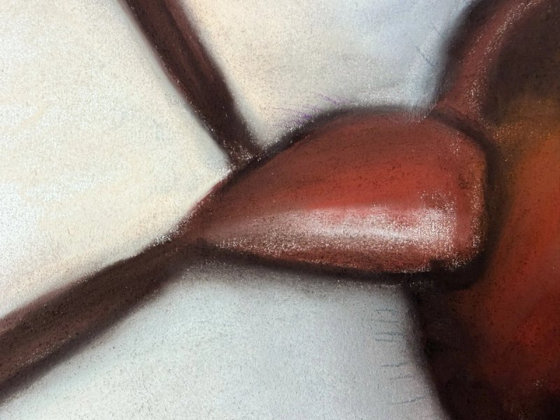photo of Gravida 1 (detail)