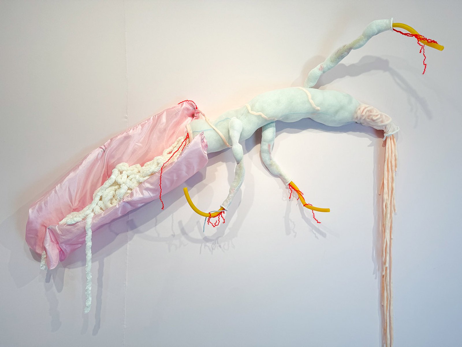 Albatross​​​​‌﻿‍﻿​‍​‍‌‍﻿﻿‌﻿​‍‌‍‍‌‌‍‌﻿‌‍‍‌‌‍﻿‍​‍​‍​﻿‍‍​‍​‍‌﻿​﻿‌‍​‌‌‍﻿‍‌‍‍‌‌﻿‌​‌﻿‍‌​‍﻿‍‌‍‍‌‌‍﻿﻿​‍​‍​‍﻿​​‍​‍‌‍‍​‌﻿​‍‌‍‌‌‌‍‌‍​‍​‍​﻿‍‍​‍​‍‌‍‍​‌﻿‌​‌﻿‌​‌﻿​​‌﻿​﻿​﻿‍‍​‍﻿﻿​‍﻿﻿‌‍﻿​‌﻿‌‌‌﻿‌​‌‍‍​‌‍‌‌‌﻿​‍​‍﻿‌‌﻿‌​‌‍‍​‌‍‍‌‌‍‌‌​‍﻿‌‌﻿​​‌‍﻿﻿‌﻿​‍‌﻿‌​‌‍‌‍‌‍﻿﻿‌‍﻿​‌‍‍‌‌‍﻿﻿​‍﻿‍‌﻿​﻿‌‍​‌‌‍﻿‍‌‍‍‌‌﻿‌​‌﻿‍‌​‍﻿‍‌﻿​﻿‌﻿‌​‌﻿‌‌‌‍‌​‌‍‍‌‌‍﻿﻿​‍﻿﻿‌‍‍‌‌‍﻿‍‌﻿‌​‌‍‌‌‌‍﻿‍‌﻿‌​​‍﻿﻿‌‍‌‌‌‍‌​‌‍‍‌‌﻿‌​​‍﻿﻿‌‍﻿‌‌‍﻿﻿‌‍‌​‌‍‌‌​﻿﻿‌‌﻿​​‌﻿​‍‌‍‌‌‌﻿​﻿‌‍‌‌‌‍﻿‍‌﻿‌​‌‍​‌‌﻿‌​‌‍‍‌‌‍﻿﻿‌‍﻿‍​﻿‍﻿‌‍‍‌‌‍‌​​﻿﻿‌‌﻿​​‌‍‌​‌​‍‍‌​​‌‌‌‍‌‌﻿​﻿​﻿​​‌‍​‌‌​‌﻿‌​‌﻿‌‍​‌​﻿‌​‌​‍‍‌‍﻿‍‌‍‍﻿‌‍‌‌‌​﻿‌‌﻿‌﻿‌‌​‍‌‍​‍​﻿‌​‌​‍‌​﻿‍﻿‌﻿‌​‌﻿‍‌‌﻿​​‌‍‌‌​﻿﻿‌‌﻿‌﻿‌‍﻿﻿‌﻿​‍‌‍‍﻿​﻿‍﻿‌﻿​​‌‍​‌‌﻿‌​‌‍‍​​﻿﻿‌‌‍​﻿‌‍﻿﻿‌‍﻿‍‌﻿‌​‌‍‌‌‌‍﻿‍‌﻿‌​‌​​‍‌‍﻿​‌‍﻿﻿‌‍​﻿‌‍‍﻿‌﻿​﻿​‍‌‌​﻿‌‌‌​​‍‌‌﻿﻿‌‍‍﻿‌‍‌‌‌﻿‍‌​‍‌‌​﻿​﻿‌​‌​​‍‌‌​﻿​﻿‌​‌​​‍‌‌​﻿​‍​﻿​‍‌‍‍‌‌‍﻿‌‌‍​‌‌‍‌﻿‌‍‌‌​‍﻿‌​﻿​‌​﻿‌﻿​﻿‌‍​﻿‍​​﻿‌‍​﻿​‍​﻿​﻿​﻿‌﻿​﻿​​​﻿​‌​﻿‌﻿​﻿​‍​﻿‌‌​‍﻿‌​﻿​​​‍‌‌​﻿​‍​﻿​‍​‍‌‌​﻿‌‌‌​‌​​‍﻿‍‌‍​‌‌‍﻿​‌﻿‌​​﻿﻿﻿‌‍​‍‌‍​‌‌﻿​﻿‌‍‌‌‌‌‌‌‌﻿​‍‌‍﻿​​﻿﻿‌‌‍‍​‌﻿‌​‌﻿‌​‌﻿​​‌﻿​﻿​‍‌‌​﻿​﻿‌​​‌​‍‌‌​﻿​‍‌​‌‍​‍‌‌​﻿​‍‌​‌‍‌‍﻿​‌﻿‌‌‌﻿‌​‌‍‍​‌‍‌‌‌﻿​‍​‍﻿‌‌﻿‌​‌‍‍​‌‍‍‌‌‍‌‌​‍﻿‌‌﻿​​‌‍﻿﻿‌﻿​‍‌﻿‌​‌‍‌‍‌‍﻿﻿‌‍﻿​‌‍‍‌‌‍﻿﻿​‍﻿‍‌﻿​﻿‌‍​‌‌‍﻿‍‌‍‍‌‌﻿‌​‌﻿‍‌​‍﻿‍‌﻿​﻿‌﻿‌​‌﻿‌‌‌‍‌​‌‍‍‌‌‍﻿﻿​‍‌‍‌‍‍‌‌‍‌​​﻿﻿‌‌﻿​​‌‍‌​‌​‍‍‌​​‌‌‌‍‌‌﻿​﻿​﻿​​‌‍​‌‌​‌﻿‌​‌﻿‌‍​‌​﻿‌​‌​‍‍‌‍﻿‍‌‍‍﻿‌‍‌‌‌​﻿‌‌﻿‌﻿‌‌​‍‌‍​‍​﻿‌​‌​‍‌​‍‌‍‌﻿‌​‌﻿‍‌‌﻿​​‌‍‌‌​﻿﻿‌‌﻿‌﻿‌‍﻿﻿‌﻿​‍‌‍‍﻿​‍‌‍‌﻿​​‌‍​‌‌﻿‌​‌‍‍​​﻿﻿‌‌‍​﻿‌‍﻿﻿‌‍﻿‍‌﻿‌​‌‍‌‌‌‍﻿‍‌﻿‌​‌​​‍‌‍﻿​‌‍﻿﻿‌‍​﻿‌‍‍﻿‌﻿​﻿​‍‌‌​﻿‌‌‌​​‍‌‌﻿﻿‌‍‍﻿‌‍‌‌‌﻿‍‌​‍‌‌​﻿​﻿‌​‌​​‍‌‌​﻿​﻿‌​‌​​‍‌‌​﻿​‍​﻿​‍‌‍‍‌‌‍﻿‌‌‍​‌‌‍‌﻿‌‍‌‌​‍﻿‌​﻿​‌​﻿‌﻿​﻿‌‍​﻿‍​​﻿‌‍​﻿​‍​﻿​﻿​﻿‌﻿​﻿​​​﻿​‌​﻿‌﻿​﻿​‍​﻿‌‌​‍﻿‌​﻿​​​‍‌‌​﻿​‍​﻿​‍​‍‌‌​﻿‌‌‌​‌​​‍﻿‍‌‍​‌‌‍﻿​‌﻿‌​​‍‌‍‌﻿​​‌‍‌‌‌﻿​‍‌﻿​﻿‌﻿​​‌‍‌‌‌‍​﻿‌﻿‌​‌‍‍‌‌﻿‌‍‌‍‌‌​﻿﻿‌‌﻿​​‌﻿‌‌‌‍​‍‌‍﻿​‌‍‍‌‌﻿​﻿‌‍‍​‌‍‌‌‌‍‌​​‍​‍‌﻿﻿‌