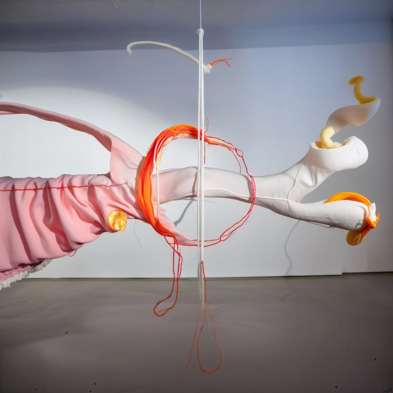 Generative AI image "albatross_00045_MacUP_00001"​​​​‌﻿‍﻿​‍​‍‌‍﻿﻿‌﻿​‍‌‍‍‌‌‍‌﻿‌‍‍‌‌‍﻿‍​‍​‍​﻿‍‍​‍​‍‌﻿​﻿‌‍​‌‌‍﻿‍‌‍‍‌‌﻿‌​‌﻿‍‌​‍﻿‍‌‍‍‌‌‍﻿﻿​‍​‍​‍﻿​​‍​‍‌‍‍​‌﻿​‍‌‍‌‌‌‍‌‍​‍​‍​﻿‍‍​‍​‍‌‍‍​‌﻿‌​‌﻿‌​‌﻿​​‌﻿​﻿​﻿‍‍​‍﻿﻿​‍﻿﻿‌‍﻿​‌﻿‌‌‌﻿‌​‌‍‍​‌‍‌‌‌﻿​‍​‍﻿‌‌﻿‌​‌‍‍​‌‍‍‌‌‍‌‌​‍﻿‌‌﻿​​‌‍﻿﻿‌﻿​‍‌﻿‌​‌‍‌‍‌‍﻿﻿‌‍﻿​‌‍‍‌‌‍﻿﻿​‍﻿‍‌﻿​﻿‌‍​‌‌‍﻿‍‌‍‍‌‌﻿‌​‌﻿‍‌​‍﻿‍‌﻿​﻿‌﻿‌​‌﻿‌‌‌‍‌​‌‍‍‌‌‍﻿﻿​‍﻿﻿‌‍‍‌‌‍﻿‍‌﻿‌​‌‍‌‌‌‍﻿‍‌﻿‌​​‍﻿﻿‌‍‌‌‌‍‌​‌‍‍‌‌﻿‌​​‍﻿﻿‌‍﻿‌‌‍﻿﻿‌‍‌​‌‍‌‌​﻿﻿‌‌﻿​​‌﻿​‍‌‍‌‌‌﻿​﻿‌‍‌‌‌‍﻿‍‌﻿‌​‌‍​‌‌﻿‌​‌‍‍‌‌‍﻿﻿‌‍﻿‍​﻿‍﻿‌‍‍‌‌‍‌​​﻿﻿‌‌﻿​‌‌﻿​‌‌﻿‌​​﻿‌‍‌﻿‍​‌​‌‍‌‍﻿‌‌​‌​​﻿​﻿‌​‍​‌﻿‍‍‌﻿‌﻿‌​﻿‌‌​﻿‍‌​​‍‌﻿‌​‌‌‍‍‌‌‌‌‌​‌‌‌‍‍‌‌​‌﻿‌﻿‌‌​﻿‍﻿‌﻿‌​‌﻿‍‌‌﻿​​‌‍‌‌​﻿﻿‌‌﻿‌﻿‌‍﻿﻿‌﻿​‍‌‍‍﻿​﻿‍﻿‌﻿​​‌‍​‌‌﻿‌​‌‍‍​​﻿﻿‌‌‍​﻿‌‍﻿﻿‌‍﻿‍‌﻿‌​‌‍‌‌‌‍﻿‍‌﻿‌​‌​​‍‌‍﻿​‌‍﻿﻿‌‍​﻿‌‍‍﻿‌﻿​﻿​‍‌‌​﻿‌‌‌​​‍‌‌﻿﻿‌‍‍﻿‌‍‌‌‌﻿‍‌​‍‌‌​﻿​﻿‌​‌​​‍‌‌​﻿​﻿‌​‌​​‍‌‌​﻿​‍​﻿​‍‌‍​‍​﻿‌﻿‌‍​‍​﻿‌​​﻿‌​​﻿​‍​﻿​​​﻿‌​​﻿​​‌‍​‍​﻿​﻿‌‍​‌​‍‌‌​﻿​‍​﻿​‍​‍‌‌​﻿‌‌‌​‌​​‍﻿‍‌‍‍‌‌‍﻿‌‌‍​‌‌‍‌﻿‌‍‌‌‌﻿​﻿​‍‌‌​﻿‌‌‌​​‍‌‌﻿﻿‌‍‍﻿‌‍‌‌‌﻿‍‌​‍‌‌​﻿​﻿‌​‌​​‍‌‌​﻿​﻿‌​‌​​‍‌‌​﻿​‍​﻿​‍‌‍​‌​﻿‌‌​﻿‌‍​﻿​​​﻿‌‌​﻿‌​​﻿​​​﻿‍​​﻿‌﻿​﻿​‍‌‍‌‍​﻿‍‌​‍‌‌​﻿​‍​﻿​‍​‍‌‌​﻿‌‌‌​‌​​‍﻿‍‌‍​﻿‌‍​‌‌﻿​​‌﻿‌​‌‍‍‌‌‍﻿﻿‌‍﻿‍​﻿﻿﻿‌‍​‍‌‍​‌‌﻿​﻿‌‍‌‌‌‌‌‌‌﻿​‍‌‍﻿​​﻿﻿‌‌‍‍​‌﻿‌​‌﻿‌​‌﻿​​‌﻿​﻿​‍‌‌​﻿​﻿‌​​‌​‍‌‌​﻿​‍‌​‌‍​‍‌‌​﻿​‍‌​‌‍‌‍﻿​‌﻿‌‌‌﻿‌​‌‍‍​‌‍‌‌‌﻿​‍​‍﻿‌‌﻿‌​‌‍‍​‌‍‍‌‌‍‌‌​‍﻿‌‌﻿​​‌‍﻿﻿‌﻿​‍‌﻿‌​‌‍‌‍‌‍﻿﻿‌‍﻿​‌‍‍‌‌‍﻿﻿​‍﻿‍‌﻿​﻿‌‍​‌‌‍﻿‍‌‍‍‌‌﻿‌​‌﻿‍‌​‍﻿‍‌﻿​﻿‌﻿‌​‌﻿‌‌‌‍‌​‌‍‍‌‌‍﻿﻿​‍‌‍‌‍‍‌‌‍‌​​﻿﻿‌‌﻿​‌‌﻿​‌‌﻿‌​​﻿‌‍‌﻿‍​‌​‌‍‌‍﻿‌‌​‌​​﻿​﻿‌​‍​‌﻿‍‍‌﻿‌﻿‌​﻿‌‌​﻿‍‌​​‍‌﻿‌​‌‌‍‍‌‌‌‌‌​‌‌‌‍‍‌‌​‌﻿‌﻿‌‌​‍‌‍‌﻿‌​‌﻿‍‌‌﻿​​‌‍‌‌​﻿﻿‌‌﻿‌﻿‌‍﻿﻿‌﻿​‍‌‍‍﻿​‍‌‍‌﻿​​‌‍​‌‌﻿‌​‌‍‍​​﻿﻿‌‌‍​﻿‌‍﻿﻿‌‍﻿‍‌﻿‌​‌‍‌‌‌‍﻿‍‌﻿‌​‌​​‍‌‍﻿​‌‍﻿﻿‌‍​﻿‌‍‍﻿‌﻿​﻿​‍‌‌​﻿‌‌‌​​‍‌‌﻿﻿‌‍‍﻿‌‍‌‌‌﻿‍‌​‍‌‌​﻿​﻿‌​‌​​‍‌‌​﻿​﻿‌​‌​​‍‌‌​﻿​‍​﻿​‍‌‍​‍​﻿‌﻿‌‍​‍​﻿‌​​﻿‌​​﻿​‍​﻿​​​﻿‌​​﻿​​‌‍​‍​﻿​﻿‌‍​‌​‍‌‌​﻿​‍​﻿​‍​‍‌‌​﻿‌‌‌​‌​​‍﻿‍‌‍‍‌‌‍﻿‌‌‍​‌‌‍‌﻿‌‍‌‌‌﻿​﻿​‍‌‌​﻿‌‌‌​​‍‌‌﻿﻿‌‍‍﻿‌‍‌‌‌﻿‍‌​‍‌‌​﻿​﻿‌​‌​​‍‌‌​﻿​﻿‌​‌​​‍‌‌​﻿​‍​﻿​‍‌‍​‌​﻿‌‌​﻿‌‍​﻿​​​﻿‌‌​﻿‌​​﻿​​​﻿‍​​﻿‌﻿​﻿​‍‌‍‌‍​﻿‍‌​‍‌‌​﻿​‍​﻿​‍​‍‌‌​﻿‌‌‌​‌​​‍﻿‍‌‍​﻿‌‍​‌‌﻿​​‌﻿‌​‌‍‍‌‌‍﻿﻿‌‍﻿‍​‍‌‍‌﻿​​‌‍‌‌‌﻿​‍‌﻿​﻿‌﻿​​‌‍‌‌‌‍​﻿‌﻿‌​‌‍‍‌‌﻿‌‍‌‍‌‌​﻿﻿‌‌﻿​​‌﻿‌‌‌‍​‍‌‍﻿​‌‍‍‌‌﻿​﻿‌‍‍​‌‍‌‌‌‍‌​​‍​‍‌﻿﻿‌