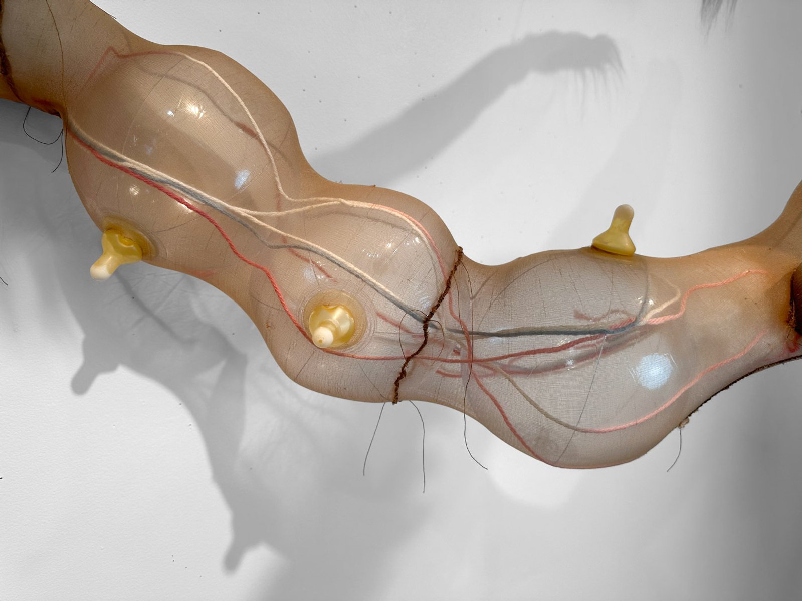 Bedtime Stories for Oonkali​​​​‌﻿‍﻿​‍​‍‌‍﻿﻿‌﻿​‍‌‍‍‌‌‍‌﻿‌‍‍‌‌‍﻿‍​‍​‍​﻿‍‍​‍​‍‌﻿​﻿‌‍​‌‌‍﻿‍‌‍‍‌‌﻿‌​‌﻿‍‌​‍﻿‍‌‍‍‌‌‍﻿﻿​‍​‍​‍﻿​​‍​‍‌‍‍​‌﻿​‍‌‍‌‌‌‍‌‍​‍​‍​﻿‍‍​‍​‍‌‍‍​‌﻿‌​‌﻿‌​‌﻿​​‌﻿​﻿​﻿‍‍​‍﻿﻿​‍﻿﻿‌‍﻿​‌﻿‌‌‌﻿‌​‌‍‍​‌‍‌‌‌﻿​‍​‍﻿‌‌﻿‌​‌‍‍​‌‍‍‌‌‍‌‌​‍﻿‌‌﻿​​‌‍﻿﻿‌﻿​‍‌﻿‌​‌‍‌‍‌‍﻿﻿‌‍﻿​‌‍‍‌‌‍﻿﻿​‍﻿‍‌﻿​﻿‌‍​‌‌‍﻿‍‌‍‍‌‌﻿‌​‌﻿‍‌​‍﻿‍‌﻿​﻿‌﻿‌​‌﻿‌‌‌‍‌​‌‍‍‌‌‍﻿﻿​‍﻿﻿‌‍‍‌‌‍﻿‍‌﻿‌​‌‍‌‌‌‍﻿‍‌﻿‌​​‍﻿﻿‌‍‌‌‌‍‌​‌‍‍‌‌﻿‌​​‍﻿﻿‌‍﻿‌‌‍﻿﻿‌‍‌​‌‍‌‌​﻿﻿‌‌﻿​​‌﻿​‍‌‍‌‌‌﻿​﻿‌‍‌‌‌‍﻿‍‌﻿‌​‌‍​‌‌﻿‌​‌‍‍‌‌‍﻿﻿‌‍﻿‍​﻿‍﻿‌‍‍‌‌‍‌​​﻿﻿‌‌﻿​‌‌﻿​‌‌﻿‌​​﻿‌‍‌﻿‍​‌​‌‍‌‍﻿‌‌​‌​​﻿​﻿‌​‍​‌﻿‍‍‌﻿‌﻿‌​﻿‌‌​﻿‍‌​​‍‌﻿‌​‌‌‍‍‌‌‌‌‌​‌‌‌‍‌‍‌﻿‍​‌‌‌‌​﻿‍﻿‌﻿‌​‌﻿‍‌‌﻿​​‌‍‌‌​﻿﻿‌‌﻿‌﻿‌‍﻿﻿‌﻿​‍‌‍‍﻿​﻿‍﻿‌﻿​​‌‍​‌‌﻿‌​‌‍‍​​﻿﻿‌‌‍​﻿‌‍﻿﻿‌‍﻿‍‌﻿‌​‌‍‌‌‌‍﻿‍‌﻿‌​‌​​‍‌‍﻿​‌‍﻿﻿‌‍​﻿‌‍‍﻿‌﻿​﻿​‍‌‌​﻿‌‌‌​​‍‌‌﻿﻿‌‍‍﻿‌‍‌‌‌﻿‍‌​‍‌‌​﻿​﻿‌​‌​​‍‌‌​﻿​﻿‌​‌​​‍‌‌​﻿​‍​﻿​‍‌‍‍‌‌‍﻿‌‌‍​‌‌‍‌﻿‌‍‌‌​‍﻿‌​﻿​‌​﻿‌﻿​﻿‌‍​﻿‍​​﻿‌‍​﻿​‍​﻿​﻿​﻿‌﻿​﻿​‍​﻿‌​​﻿‍‌​﻿‌‌​﻿‍‌​‍﻿‌​﻿​﻿​‍‌‌​﻿​‍​﻿​‍​‍‌‌​﻿‌‌‌​‌​​‍﻿‍‌‍​‌‌‍﻿​‌﻿‌​​﻿﻿﻿‌‍​‍‌‍​‌‌﻿​﻿‌‍‌‌‌‌‌‌‌﻿​‍‌‍﻿​​﻿﻿‌‌‍‍​‌﻿‌​‌﻿‌​‌﻿​​‌﻿​﻿​‍‌‌​﻿​﻿‌​​‌​‍‌‌​﻿​‍‌​‌‍​‍‌‌​﻿​‍‌​‌‍‌‍﻿​‌﻿‌‌‌﻿‌​‌‍‍​‌‍‌‌‌﻿​‍​‍﻿‌‌﻿‌​‌‍‍​‌‍‍‌‌‍‌‌​‍﻿‌‌﻿​​‌‍﻿﻿‌﻿​‍‌﻿‌​‌‍‌‍‌‍﻿﻿‌‍﻿​‌‍‍‌‌‍﻿﻿​‍﻿‍‌﻿​﻿‌‍​‌‌‍﻿‍‌‍‍‌‌﻿‌​‌﻿‍‌​‍﻿‍‌﻿​﻿‌﻿‌​‌﻿‌‌‌‍‌​‌‍‍‌‌‍﻿﻿​‍‌‍‌‍‍‌‌‍‌​​﻿﻿‌‌﻿​‌‌﻿​‌‌﻿‌​​﻿‌‍‌﻿‍​‌​‌‍‌‍﻿‌‌​‌​​﻿​﻿‌​‍​‌﻿‍‍‌﻿‌﻿‌​﻿‌‌​﻿‍‌​​‍‌﻿‌​‌‌‍‍‌‌‌‌‌​‌‌‌‍‌‍‌﻿‍​‌‌‌‌​‍‌‍‌﻿‌​‌﻿‍‌‌﻿​​‌‍‌‌​﻿﻿‌‌﻿‌﻿‌‍﻿﻿‌﻿​‍‌‍‍﻿​‍‌‍‌﻿​​‌‍​‌‌﻿‌​‌‍‍​​﻿﻿‌‌‍​﻿‌‍﻿﻿‌‍﻿‍‌﻿‌​‌‍‌‌‌‍﻿‍‌﻿‌​‌​​‍‌‍﻿​‌‍﻿﻿‌‍​﻿‌‍‍﻿‌﻿​﻿​‍‌‌​﻿‌‌‌​​‍‌‌﻿﻿‌‍‍﻿‌‍‌‌‌﻿‍‌​‍‌‌​﻿​﻿‌​‌​​‍‌‌​﻿​﻿‌​‌​​‍‌‌​﻿​‍​﻿​‍‌‍‍‌‌‍﻿‌‌‍​‌‌‍‌﻿‌‍‌‌​‍﻿‌​﻿​‌​﻿‌﻿​﻿‌‍​﻿‍​​﻿‌‍​﻿​‍​﻿​﻿​﻿‌﻿​﻿​‍​﻿‌​​﻿‍‌​﻿‌‌​﻿‍‌​‍﻿‌​﻿​﻿​‍‌‌​﻿​‍​﻿​‍​‍‌‌​﻿‌‌‌​‌​​‍﻿‍‌‍​‌‌‍﻿​‌﻿‌​​‍‌‍‌﻿​​‌‍‌‌‌﻿​‍‌﻿​﻿‌﻿​​‌‍‌‌‌‍​﻿‌﻿‌​‌‍‍‌‌﻿‌‍‌‍‌‌​﻿﻿‌‌﻿​​‌﻿‌‌‌‍​‍‌‍﻿​‌‍‍‌‌﻿​﻿‌‍‍​‌‍‌‌‌‍‌​​‍​‍‌﻿﻿‌