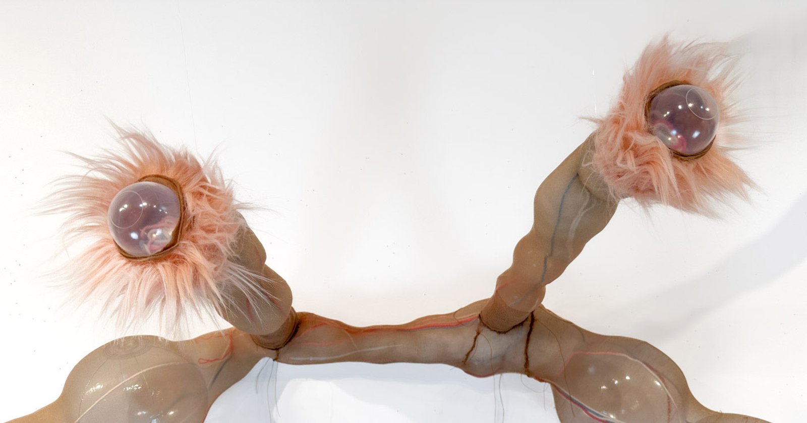 Bedtime Stories for Oankali​​​​‌﻿‍﻿​‍​‍‌‍﻿﻿‌﻿​‍‌‍‍‌‌‍‌﻿‌‍‍‌‌‍﻿‍​‍​‍​﻿‍‍​‍​‍‌﻿​﻿‌‍​‌‌‍﻿‍‌‍‍‌‌﻿‌​‌﻿‍‌​‍﻿‍‌‍‍‌‌‍﻿﻿​‍​‍​‍﻿​​‍​‍‌‍‍​‌﻿​‍‌‍‌‌‌‍‌‍​‍​‍​﻿‍‍​‍​‍‌‍‍​‌﻿‌​‌﻿‌​‌﻿​​‌﻿​﻿​﻿‍‍​‍﻿﻿​‍﻿﻿‌‍﻿​‌﻿‌‌‌﻿‌​‌‍‍​‌‍‌‌‌﻿​‍​‍﻿‌‌﻿‌​‌‍‍​‌‍‍‌‌‍‌‌​‍﻿‌‌﻿​​‌‍﻿﻿‌﻿​‍‌﻿‌​‌‍‌‍‌‍﻿﻿‌‍﻿​‌‍‍‌‌‍﻿﻿​‍﻿‍‌﻿​﻿‌‍​‌‌‍﻿‍‌‍‍‌‌﻿‌​‌﻿‍‌​‍﻿‍‌﻿​﻿‌﻿‌​‌﻿‌‌‌‍‌​‌‍‍‌‌‍﻿﻿​‍﻿﻿‌‍‍‌‌‍﻿‍‌﻿‌​‌‍‌‌‌‍﻿‍‌﻿‌​​‍﻿﻿‌‍‌‌‌‍‌​‌‍‍‌‌﻿‌​​‍﻿﻿‌‍﻿‌‌‍﻿﻿‌‍‌​‌‍‌‌​﻿﻿‌‌﻿​​‌﻿​‍‌‍‌‌‌﻿​﻿‌‍‌‌‌‍﻿‍‌﻿‌​‌‍​‌‌﻿‌​‌‍‍‌‌‍﻿﻿‌‍﻿‍​﻿‍﻿‌‍‍‌‌‍‌​​﻿﻿‌‌﻿​‌‌﻿​‌‌﻿‌​​﻿‌‍‌﻿‍​‌​‌‍‌‍﻿‌‌​‌​​﻿​﻿‌​‍​‌﻿‍‍‌﻿‌﻿‌​﻿‌‌​﻿‍‌​​‍‌﻿‌​‌‌‍‍‌‌‌‌‌​‌‌‌‍‌‍‌﻿‍​‌‌‌‌​﻿‍﻿‌﻿‌​‌﻿‍‌‌﻿​​‌‍‌‌​﻿﻿‌‌﻿‌﻿‌‍﻿﻿‌﻿​‍‌‍‍﻿​﻿‍﻿‌﻿​​‌‍​‌‌﻿‌​‌‍‍​​﻿﻿‌‌‍​﻿‌‍﻿﻿‌‍﻿‍‌﻿‌​‌‍‌‌‌‍﻿‍‌﻿‌​‌​​‍‌‍﻿​‌‍﻿﻿‌‍​﻿‌‍‍﻿‌﻿​﻿​‍‌‌​﻿‌‌‌​​‍‌‌﻿﻿‌‍‍﻿‌‍‌‌‌﻿‍‌​‍‌‌​﻿​﻿‌​‌​​‍‌‌​﻿​﻿‌​‌​​‍‌‌​﻿​‍​﻿​‍‌‍‍‌‌‍﻿‌‌‍​‌‌‍‌﻿‌‍‌‌​‍﻿‌​﻿​‌​﻿‌﻿​﻿‌‍​﻿‍​​﻿‌‍​﻿​‍​﻿​﻿​﻿‌﻿​﻿​‍​﻿‌​​﻿‍‌​﻿‌‌​﻿‍‌​‍﻿‌​﻿‌​​‍‌‌​﻿​‍​﻿​‍​‍‌‌​﻿‌‌‌​‌​​‍﻿‍‌‍​‌‌‍﻿​‌﻿‌​​﻿﻿﻿‌‍​‍‌‍​‌‌﻿​﻿‌‍‌‌‌‌‌‌‌﻿​‍‌‍﻿​​﻿﻿‌‌‍‍​‌﻿‌​‌﻿‌​‌﻿​​‌﻿​﻿​‍‌‌​﻿​﻿‌​​‌​‍‌‌​﻿​‍‌​‌‍​‍‌‌​﻿​‍‌​‌‍‌‍﻿​‌﻿‌‌‌﻿‌​‌‍‍​‌‍‌‌‌﻿​‍​‍﻿‌‌﻿‌​‌‍‍​‌‍‍‌‌‍‌‌​‍﻿‌‌﻿​​‌‍﻿﻿‌﻿​‍‌﻿‌​‌‍‌‍‌‍﻿﻿‌‍﻿​‌‍‍‌‌‍﻿﻿​‍﻿‍‌﻿​﻿‌‍​‌‌‍﻿‍‌‍‍‌‌﻿‌​‌﻿‍‌​‍﻿‍‌﻿​﻿‌﻿‌​‌﻿‌‌‌‍‌​‌‍‍‌‌‍﻿﻿​‍‌‍‌‍‍‌‌‍‌​​﻿﻿‌‌﻿​‌‌﻿​‌‌﻿‌​​﻿‌‍‌﻿‍​‌​‌‍‌‍﻿‌‌​‌​​﻿​﻿‌​‍​‌﻿‍‍‌﻿‌﻿‌​﻿‌‌​﻿‍‌​​‍‌﻿‌​‌‌‍‍‌‌‌‌‌​‌‌‌‍‌‍‌﻿‍​‌‌‌‌​‍‌‍‌﻿‌​‌﻿‍‌‌﻿​​‌‍‌‌​﻿﻿‌‌﻿‌﻿‌‍﻿﻿‌﻿​‍‌‍‍﻿​‍‌‍‌﻿​​‌‍​‌‌﻿‌​‌‍‍​​﻿﻿‌‌‍​﻿‌‍﻿﻿‌‍﻿‍‌﻿‌​‌‍‌‌‌‍﻿‍‌﻿‌​‌​​‍‌‍﻿​‌‍﻿﻿‌‍​﻿‌‍‍﻿‌﻿​﻿​‍‌‌​﻿‌‌‌​​‍‌‌﻿﻿‌‍‍﻿‌‍‌‌‌﻿‍‌​‍‌‌​﻿​﻿‌​‌​​‍‌‌​﻿​﻿‌​‌​​‍‌‌​﻿​‍​﻿​‍‌‍‍‌‌‍﻿‌‌‍​‌‌‍‌﻿‌‍‌‌​‍﻿‌​﻿​‌​﻿‌﻿​﻿‌‍​﻿‍​​﻿‌‍​﻿​‍​﻿​﻿​﻿‌﻿​﻿​‍​﻿‌​​﻿‍‌​﻿‌‌​﻿‍‌​‍﻿‌​﻿‌​​‍‌‌​﻿​‍​﻿​‍​‍‌‌​﻿‌‌‌​‌​​‍﻿‍‌‍​‌‌‍﻿​‌﻿‌​​‍‌‍‌﻿​​‌‍‌‌‌﻿​‍‌﻿​﻿‌﻿​​‌‍‌‌‌‍​﻿‌﻿‌​‌‍‍‌‌﻿‌‍‌‍‌‌​﻿﻿‌‌﻿​​‌﻿‌‌‌‍​‍‌‍﻿​‌‍‍‌‌﻿​﻿‌‍‍​‌‍‌‌‌‍‌​​‍​‍‌﻿﻿‌