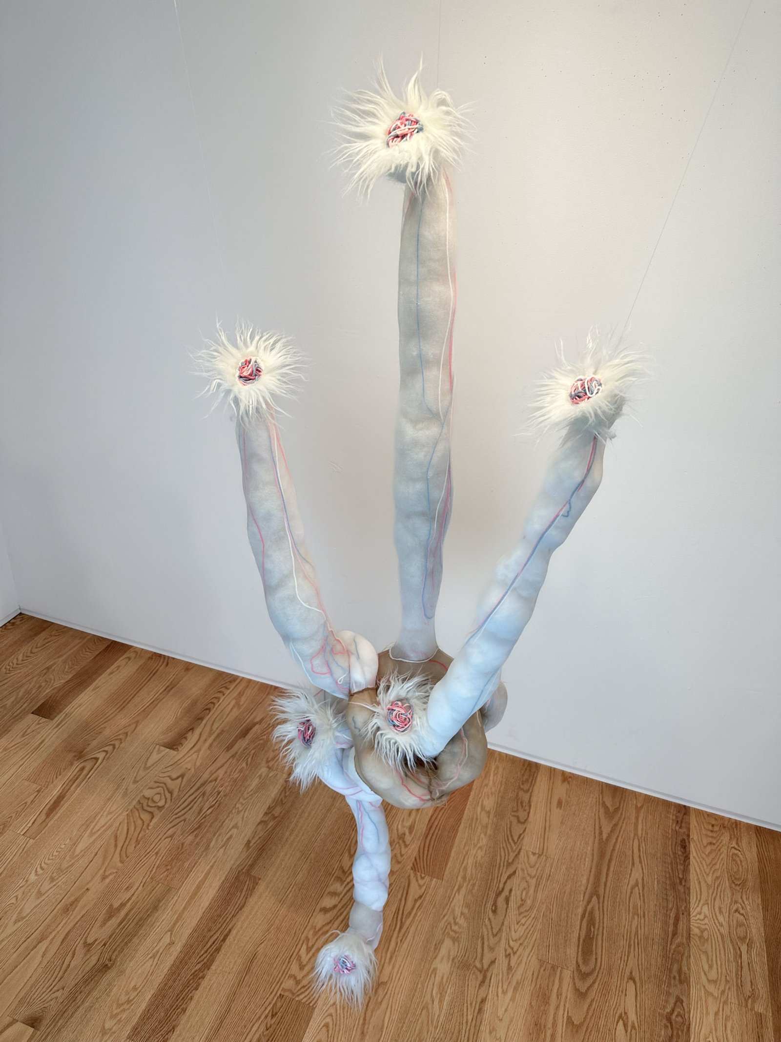 Becoming Invertebrate, 2023​​​​‌﻿‍﻿​‍​‍‌‍﻿﻿‌﻿​‍‌‍‍‌‌‍‌﻿‌‍‍‌‌‍﻿‍​‍​‍​﻿‍‍​‍​‍‌﻿​﻿‌‍​‌‌‍﻿‍‌‍‍‌‌﻿‌​‌﻿‍‌​‍﻿‍‌‍‍‌‌‍﻿﻿​‍​‍​‍﻿​​‍​‍‌‍‍​‌﻿​‍‌‍‌‌‌‍‌‍​‍​‍​﻿‍‍​‍​‍‌‍‍​‌﻿‌​‌﻿‌​‌﻿​​‌﻿​﻿​﻿‍‍​‍﻿﻿​‍﻿﻿‌‍﻿​‌﻿‌‌‌﻿‌​‌‍‍​‌‍‌‌‌﻿​‍​‍﻿‌‌﻿‌​‌‍‍​‌‍‍‌‌‍‌‌​‍﻿‌‌﻿​​‌‍﻿﻿‌﻿​‍‌﻿‌​‌‍‌‍‌‍﻿﻿‌‍﻿​‌‍‍‌‌‍﻿﻿​‍﻿‍‌﻿​﻿‌‍​‌‌‍﻿‍‌‍‍‌‌﻿‌​‌﻿‍‌​‍﻿‍‌﻿​﻿‌﻿‌​‌﻿‌‌‌‍‌​‌‍‍‌‌‍﻿﻿​‍﻿﻿‌‍‍‌‌‍﻿‍‌﻿‌​‌‍‌‌‌‍﻿‍‌﻿‌​​‍﻿﻿‌‍‌‌‌‍‌​‌‍‍‌‌﻿‌​​‍﻿﻿‌‍﻿‌‌‍﻿﻿‌‍‌​‌‍‌‌​﻿﻿‌‌﻿​​‌﻿​‍‌‍‌‌‌﻿​﻿‌‍‌‌‌‍﻿‍‌﻿‌​‌‍​‌‌﻿‌​‌‍‍‌‌‍﻿﻿‌‍﻿‍​﻿‍﻿‌‍‍‌‌‍‌​​﻿﻿‌‌﻿​​‌‍‌​‌​‍‍‌​​‌‌‌‍‌‌﻿​﻿​﻿​​‌‍​‌‌​‌﻿‌​‌﻿‌‍​‌​﻿‌​‌​‍‍‌‍﻿‍‌‍‍﻿‌‍‌‌‌​﻿‌‌﻿‌﻿‌‌​‍‌‌‌‌‌‌​﻿‌‍﻿‍​﻿‍﻿‌﻿‌​‌﻿‍‌‌﻿​​‌‍‌‌​﻿﻿‌‌﻿‌﻿‌‍﻿﻿‌﻿​‍‌‍‍﻿​﻿‍﻿‌﻿​​‌‍​‌‌﻿‌​‌‍‍​​﻿﻿‌‌‍​﻿‌‍﻿﻿‌‍﻿‍‌﻿‌​‌‍‌‌‌‍﻿‍‌﻿‌​‌​​‍‌‍﻿​‌‍﻿﻿‌‍​﻿‌‍‍﻿‌﻿​﻿​‍‌‌​﻿‌‌‌​​‍‌‌﻿﻿‌‍‍﻿‌‍‌‌‌﻿‍‌​‍‌‌​﻿​﻿‌​‌​​‍‌‌​﻿​﻿‌​‌​​‍‌‌​﻿​‍​﻿​‍‌‍‍‌‌‍﻿‌‌‍​‌‌‍‌﻿‌‍‌‌​‍﻿‌​﻿​‌​﻿‌﻿​﻿‌‍​﻿‍​​﻿‌‍​﻿​‍​﻿​﻿​﻿‌‍​﻿‍‌​﻿‍​​﻿‌‍​﻿‍‌​﻿​‌​‍﻿‌​﻿​‌​‍‌‌​﻿​‍​﻿​‍​‍‌‌​﻿‌‌‌​‌​​‍﻿‍‌‍​‌‌‍﻿​‌﻿‌​​﻿﻿﻿‌‍​‍‌‍​‌‌﻿​﻿‌‍‌‌‌‌‌‌‌﻿​‍‌‍﻿​​﻿﻿‌‌‍‍​‌﻿‌​‌﻿‌​‌﻿​​‌﻿​﻿​‍‌‌​﻿​﻿‌​​‌​‍‌‌​﻿​‍‌​‌‍​‍‌‌​﻿​‍‌​‌‍‌‍﻿​‌﻿‌‌‌﻿‌​‌‍‍​‌‍‌‌‌﻿​‍​‍﻿‌‌﻿‌​‌‍‍​‌‍‍‌‌‍‌‌​‍﻿‌‌﻿​​‌‍﻿﻿‌﻿​‍‌﻿‌​‌‍‌‍‌‍﻿﻿‌‍﻿​‌‍‍‌‌‍﻿﻿​‍﻿‍‌﻿​﻿‌‍​‌‌‍﻿‍‌‍‍‌‌﻿‌​‌﻿‍‌​‍﻿‍‌﻿​﻿‌﻿‌​‌﻿‌‌‌‍‌​‌‍‍‌‌‍﻿﻿​‍‌‍‌‍‍‌‌‍‌​​﻿﻿‌‌﻿​​‌‍‌​‌​‍‍‌​​‌‌‌‍‌‌﻿​﻿​﻿​​‌‍​‌‌​‌﻿‌​‌﻿‌‍​‌​﻿‌​‌​‍‍‌‍﻿‍‌‍‍﻿‌‍‌‌‌​﻿‌‌﻿‌﻿‌‌​‍‌‌‌‌‌‌​﻿‌‍﻿‍​‍‌‍‌﻿‌​‌﻿‍‌‌﻿​​‌‍‌‌​﻿﻿‌‌﻿‌﻿‌‍﻿﻿‌﻿​‍‌‍‍﻿​‍‌‍‌﻿​​‌‍​‌‌﻿‌​‌‍‍​​﻿﻿‌‌‍​﻿‌‍﻿﻿‌‍﻿‍‌﻿‌​‌‍‌‌‌‍﻿‍‌﻿‌​‌​​‍‌‍﻿​‌‍﻿﻿‌‍​﻿‌‍‍﻿‌﻿​﻿​‍‌‌​﻿‌‌‌​​‍‌‌﻿﻿‌‍‍﻿‌‍‌‌‌﻿‍‌​‍‌‌​﻿​﻿‌​‌​​‍‌‌​﻿​﻿‌​‌​​‍‌‌​﻿​‍​﻿​‍‌‍‍‌‌‍﻿‌‌‍​‌‌‍‌﻿‌‍‌‌​‍﻿‌​﻿​‌​﻿‌﻿​﻿‌‍​﻿‍​​﻿‌‍​﻿​‍​﻿​﻿​﻿‌‍​﻿‍‌​﻿‍​​﻿‌‍​﻿‍‌​﻿​‌​‍﻿‌​﻿​‌​‍‌‌​﻿​‍​﻿​‍​‍‌‌​﻿‌‌‌​‌​​‍﻿‍‌‍​‌‌‍﻿​‌﻿‌​​‍‌‍‌﻿​​‌‍‌‌‌﻿​‍‌﻿​﻿‌﻿​​‌‍‌‌‌‍​﻿‌﻿‌​‌‍‍‌‌﻿‌‍‌‍‌‌​﻿﻿‌‌﻿​​‌﻿‌‌‌‍​‍‌‍﻿​‌‍‍‌‌﻿​﻿‌‍‍​‌‍‌‌‌‍‌​​‍​‍‌﻿﻿‌