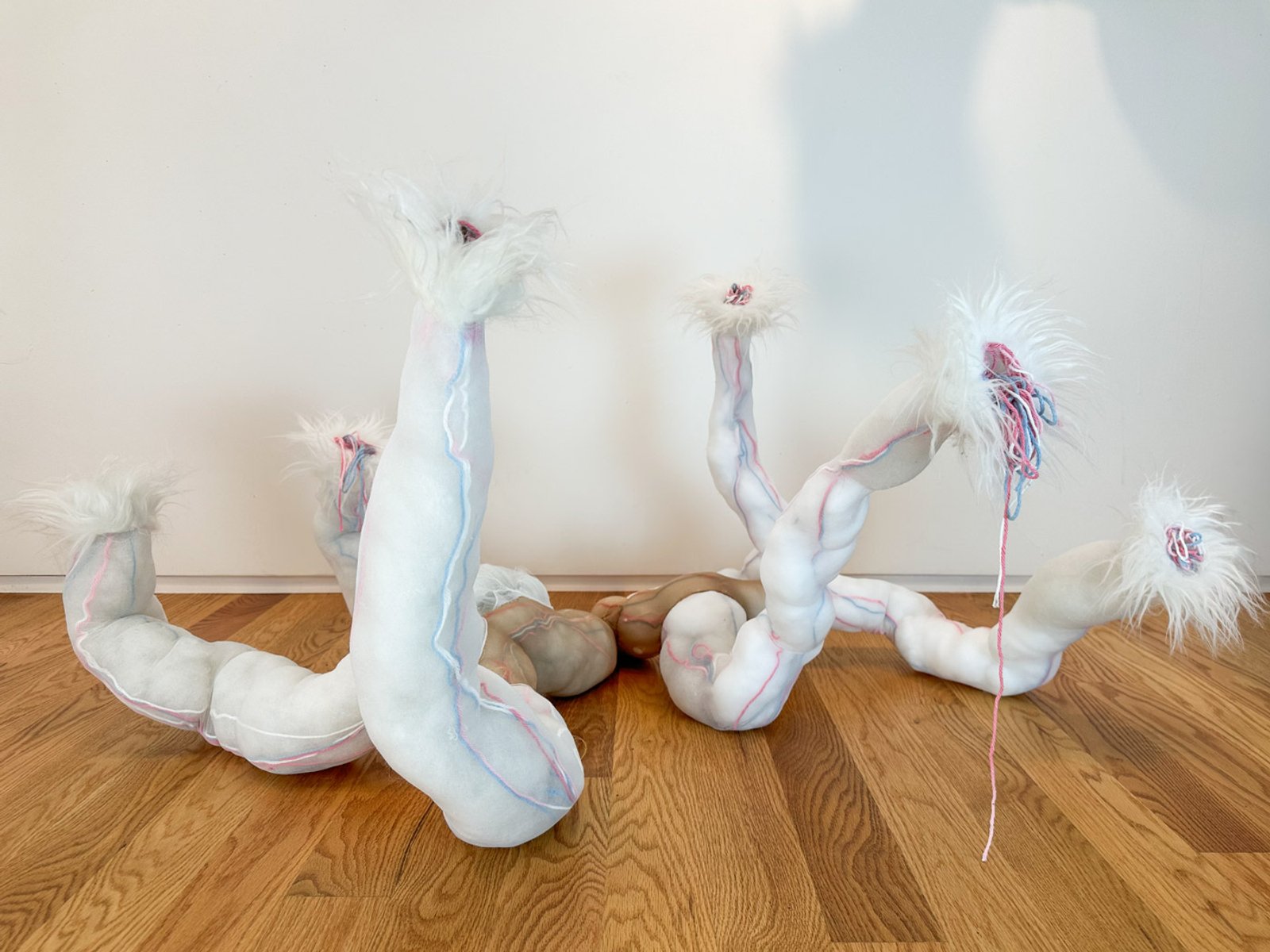 Becoming Invertebrate v2​​​​‌﻿‍﻿​‍​‍‌‍﻿﻿‌﻿​‍‌‍‍‌‌‍‌﻿‌‍‍‌‌‍﻿‍​‍​‍​﻿‍‍​‍​‍‌﻿​﻿‌‍​‌‌‍﻿‍‌‍‍‌‌﻿‌​‌﻿‍‌​‍﻿‍‌‍‍‌‌‍﻿﻿​‍​‍​‍﻿​​‍​‍‌‍‍​‌﻿​‍‌‍‌‌‌‍‌‍​‍​‍​﻿‍‍​‍​‍‌‍‍​‌﻿‌​‌﻿‌​‌﻿​​‌﻿​﻿​﻿‍‍​‍﻿﻿​‍﻿﻿‌‍﻿​‌﻿‌‌‌﻿‌​‌‍‍​‌‍‌‌‌﻿​‍​‍﻿‌‌﻿‌​‌‍‍​‌‍‍‌‌‍‌‌​‍﻿‌‌﻿​​‌‍﻿﻿‌﻿​‍‌﻿‌​‌‍‌‍‌‍﻿﻿‌‍﻿​‌‍‍‌‌‍﻿﻿​‍﻿‍‌﻿​﻿‌‍​‌‌‍﻿‍‌‍‍‌‌﻿‌​‌﻿‍‌​‍﻿‍‌﻿​﻿‌﻿‌​‌﻿‌‌‌‍‌​‌‍‍‌‌‍﻿﻿​‍﻿﻿‌‍‍‌‌‍﻿‍‌﻿‌​‌‍‌‌‌‍﻿‍‌﻿‌​​‍﻿﻿‌‍‌‌‌‍‌​‌‍‍‌‌﻿‌​​‍﻿﻿‌‍﻿‌‌‍﻿﻿‌‍‌​‌‍‌‌​﻿﻿‌‌﻿​​‌﻿​‍‌‍‌‌‌﻿​﻿‌‍‌‌‌‍﻿‍‌﻿‌​‌‍​‌‌﻿‌​‌‍‍‌‌‍﻿﻿‌‍﻿‍​﻿‍﻿‌‍‍‌‌‍‌​​﻿﻿‌‌﻿​‌‌﻿​‌‌﻿‌​​﻿‌‍‌﻿‍​‌​‌‍‌‍﻿‌‌​‌​​﻿​﻿‌​‍​‌﻿‍‍‌﻿‌﻿‌​﻿‌‌​﻿‍‌​​‍‌﻿‌​‌‌‍‍‌‌‌‌‌​‌‌‌‍‌‍‌﻿‍​‌‌‌‌​﻿‍﻿‌﻿‌​‌﻿‍‌‌﻿​​‌‍‌‌​﻿﻿‌‌﻿‌﻿‌‍﻿﻿‌﻿​‍‌‍‍﻿​﻿‍﻿‌﻿​​‌‍​‌‌﻿‌​‌‍‍​​﻿﻿‌‌‍​﻿‌‍﻿﻿‌‍﻿‍‌﻿‌​‌‍‌‌‌‍﻿‍‌﻿‌​‌​​‍‌‍﻿​‌‍﻿﻿‌‍​﻿‌‍‍﻿‌﻿​﻿​‍‌‌​﻿‌‌‌​​‍‌‌﻿﻿‌‍‍﻿‌‍‌‌‌﻿‍‌​‍‌‌​﻿​﻿‌​‌​​‍‌‌​﻿​﻿‌​‌​​‍‌‌​﻿​‍​﻿​‍‌‍‍‌‌‍﻿‌‌‍​‌‌‍‌﻿‌‍‌‌​‍﻿‌​﻿​‌​﻿‌﻿​﻿‌‍​﻿‍​​﻿‌‍​﻿​‍​﻿​﻿​﻿‌﻿​﻿​‍​﻿‌​​﻿‍‌​﻿‌‌​﻿‍‌​‍﻿‌​﻿​‌​﻿​​​‍‌‌​﻿​‍​﻿​‍​‍‌‌​﻿‌‌‌​‌​​‍﻿‍‌‍​‌‌‍﻿​‌﻿‌​​﻿﻿﻿‌‍​‍‌‍​‌‌﻿​﻿‌‍‌‌‌‌‌‌‌﻿​‍‌‍﻿​​﻿﻿‌‌‍‍​‌﻿‌​‌﻿‌​‌﻿​​‌﻿​﻿​‍‌‌​﻿​﻿‌​​‌​‍‌‌​﻿​‍‌​‌‍​‍‌‌​﻿​‍‌​‌‍‌‍﻿​‌﻿‌‌‌﻿‌​‌‍‍​‌‍‌‌‌﻿​‍​‍﻿‌‌﻿‌​‌‍‍​‌‍‍‌‌‍‌‌​‍﻿‌‌﻿​​‌‍﻿﻿‌﻿​‍‌﻿‌​‌‍‌‍‌‍﻿﻿‌‍﻿​‌‍‍‌‌‍﻿﻿​‍﻿‍‌﻿​﻿‌‍​‌‌‍﻿‍‌‍‍‌‌﻿‌​‌﻿‍‌​‍﻿‍‌﻿​﻿‌﻿‌​‌﻿‌‌‌‍‌​‌‍‍‌‌‍﻿﻿​‍‌‍‌‍‍‌‌‍‌​​﻿﻿‌‌﻿​‌‌﻿​‌‌﻿‌​​﻿‌‍‌﻿‍​‌​‌‍‌‍﻿‌‌​‌​​﻿​﻿‌​‍​‌﻿‍‍‌﻿‌﻿‌​﻿‌‌​﻿‍‌​​‍‌﻿‌​‌‌‍‍‌‌‌‌‌​‌‌‌‍‌‍‌﻿‍​‌‌‌‌​‍‌‍‌﻿‌​‌﻿‍‌‌﻿​​‌‍‌‌​﻿﻿‌‌﻿‌﻿‌‍﻿﻿‌﻿​‍‌‍‍﻿​‍‌‍‌﻿​​‌‍​‌‌﻿‌​‌‍‍​​﻿﻿‌‌‍​﻿‌‍﻿﻿‌‍﻿‍‌﻿‌​‌‍‌‌‌‍﻿‍‌﻿‌​‌​​‍‌‍﻿​‌‍﻿﻿‌‍​﻿‌‍‍﻿‌﻿​﻿​‍‌‌​﻿‌‌‌​​‍‌‌﻿﻿‌‍‍﻿‌‍‌‌‌﻿‍‌​‍‌‌​﻿​﻿‌​‌​​‍‌‌​﻿​﻿‌​‌​​‍‌‌​﻿​‍​﻿​‍‌‍‍‌‌‍﻿‌‌‍​‌‌‍‌﻿‌‍‌‌​‍﻿‌​﻿​‌​﻿‌﻿​﻿‌‍​﻿‍​​﻿‌‍​﻿​‍​﻿​﻿​﻿‌﻿​﻿​‍​﻿‌​​﻿‍‌​﻿‌‌​﻿‍‌​‍﻿‌​﻿​‌​﻿​​​‍‌‌​﻿​‍​﻿​‍​‍‌‌​﻿‌‌‌​‌​​‍﻿‍‌‍​‌‌‍﻿​‌﻿‌​​‍‌‍‌﻿​​‌‍‌‌‌﻿​‍‌﻿​﻿‌﻿​​‌‍‌‌‌‍​﻿‌﻿‌​‌‍‍‌‌﻿‌‍‌‍‌‌​﻿﻿‌‌﻿​​‌﻿‌‌‌‍​‍‌‍﻿​‌‍‍‌‌﻿​﻿‌‍‍​‌‍‌‌‌‍‌​​‍​‍‌﻿﻿‌