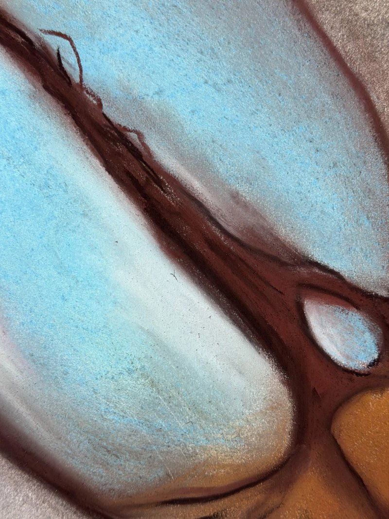 photo of Gravida 1 (detail)