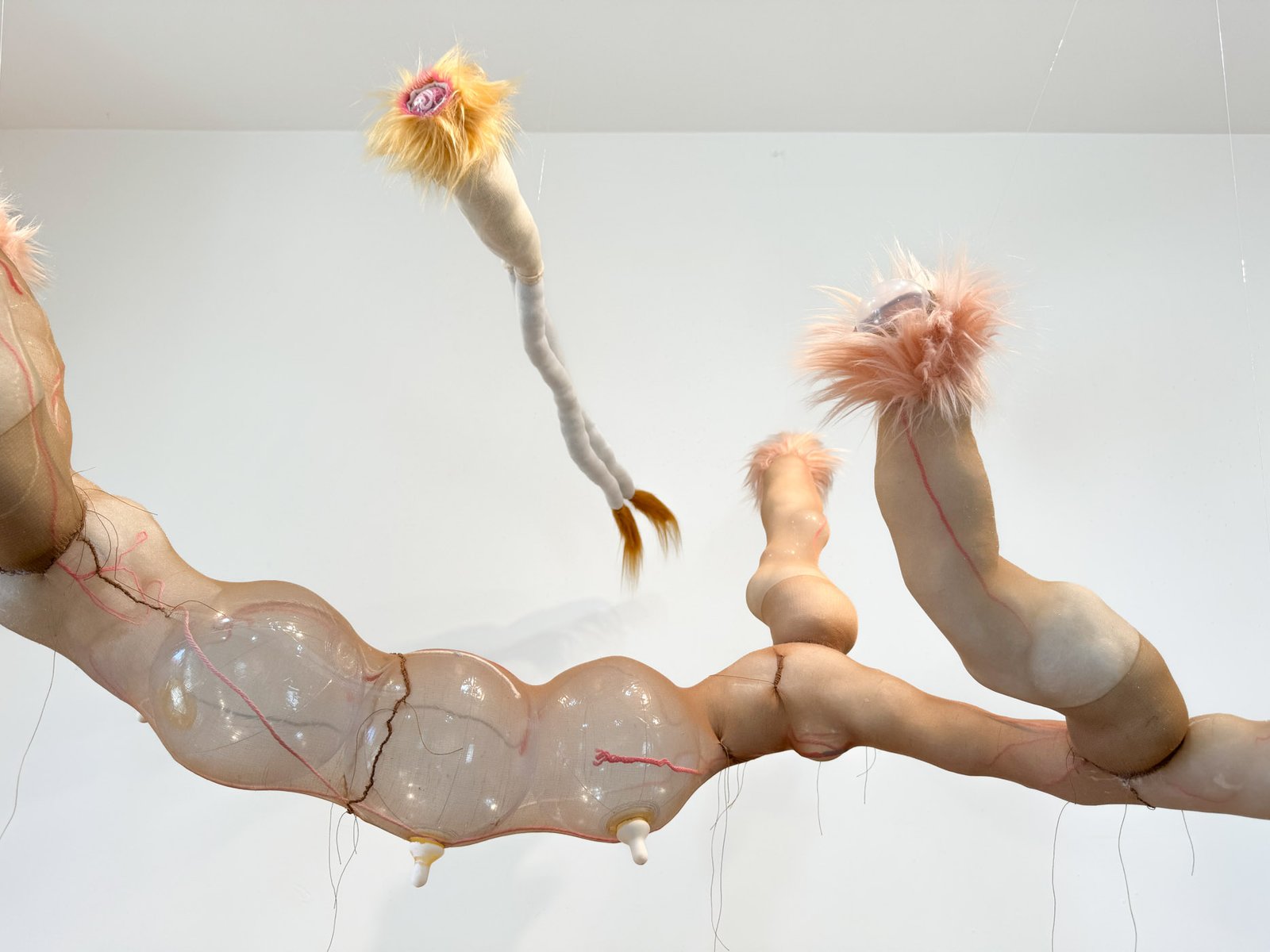 Oankali2​​​​‌﻿‍﻿​‍​‍‌‍﻿﻿‌﻿​‍‌‍‍‌‌‍‌﻿‌‍‍‌‌‍﻿‍​‍​‍​﻿‍‍​‍​‍‌﻿​﻿‌‍​‌‌‍﻿‍‌‍‍‌‌﻿‌​‌﻿‍‌​‍﻿‍‌‍‍‌‌‍﻿﻿​‍​‍​‍﻿​​‍​‍‌‍‍​‌﻿​‍‌‍‌‌‌‍‌‍​‍​‍​﻿‍‍​‍​‍‌‍‍​‌﻿‌​‌﻿‌​‌﻿​​‌﻿​﻿​﻿‍‍​‍﻿﻿​‍﻿﻿‌‍﻿​‌﻿‌‌‌﻿‌​‌‍‍​‌‍‌‌‌﻿​‍​‍﻿‌‌﻿‌​‌‍‍​‌‍‍‌‌‍‌‌​‍﻿‌‌﻿​​‌‍﻿﻿‌﻿​‍‌﻿‌​‌‍‌‍‌‍﻿﻿‌‍﻿​‌‍‍‌‌‍﻿﻿​‍﻿‍‌﻿​﻿‌‍​‌‌‍﻿‍‌‍‍‌‌﻿‌​‌﻿‍‌​‍﻿‍‌﻿​﻿‌﻿‌​‌﻿‌‌‌‍‌​‌‍‍‌‌‍﻿﻿​‍﻿﻿‌‍‍‌‌‍﻿‍‌﻿‌​‌‍‌‌‌‍﻿‍‌﻿‌​​‍﻿﻿‌‍‌‌‌‍‌​‌‍‍‌‌﻿‌​​‍﻿﻿‌‍﻿‌‌‍﻿﻿‌‍‌​‌‍‌‌​﻿﻿‌‌﻿​​‌﻿​‍‌‍‌‌‌﻿​﻿‌‍‌‌‌‍﻿‍‌﻿‌​‌‍​‌‌﻿‌​‌‍‍‌‌‍﻿﻿‌‍﻿‍​﻿‍﻿‌‍‍‌‌‍‌​​﻿﻿‌‌​‌​‌‌‌​‌‍‌‌‌​‌​‌​​﻿‌‌​﻿‌​﻿‍‌‍﻿​‌‍﻿​‌​‌﻿‌‌​‍​﻿​‍‌‌‍‍‌‌​‌‌‍​‍‌​‌​‌‍﻿​‌﻿‌‌‌‌​‌‌​‌‍‌﻿​‍‌﻿‌‍​﻿‍﻿‌﻿‌​‌﻿‍‌‌﻿​​‌‍‌‌​﻿﻿‌‌﻿‌﻿‌‍﻿﻿‌﻿​‍‌‍‍﻿​﻿‍﻿‌﻿​​‌‍​‌‌﻿‌​‌‍‍​​﻿﻿‌‌‍​﻿‌‍﻿﻿‌‍﻿‍‌﻿‌​‌‍‌‌‌‍﻿‍‌﻿‌​‌​​‍‌‍﻿​‌‍﻿﻿‌‍​﻿‌‍‍﻿‌﻿​﻿​‍‌‌​﻿‌‌‌​​‍‌‌﻿﻿‌‍‍﻿‌‍‌‌‌﻿‍‌​‍‌‌​﻿​﻿‌​‌​​‍‌‌​﻿​﻿‌​‌​​‍‌‌​﻿​‍​﻿​‍‌‍‍‌‌‍﻿‌‌‍​‌‌‍‌﻿‌‍‌‌​‍﻿‌​﻿​‌​﻿‌﻿​﻿‌‍​﻿‍​​﻿‌‍​﻿​‍​﻿​﻿​﻿‌‍​﻿‌‍​﻿‍‌​﻿​​​﻿‌​​﻿​‌​‍﻿‌​﻿​‍​‍‌‌​﻿​‍​﻿​‍​‍‌‌​﻿‌‌‌​‌​​‍﻿‍‌‍​‌‌‍﻿​‌﻿‌​​﻿﻿﻿‌‍​‍‌‍​‌‌﻿​﻿‌‍‌‌‌‌‌‌‌﻿​‍‌‍﻿​​﻿﻿‌‌‍‍​‌﻿‌​‌﻿‌​‌﻿​​‌﻿​﻿​‍‌‌​﻿​﻿‌​​‌​‍‌‌​﻿​‍‌​‌‍​‍‌‌​﻿​‍‌​‌‍‌‍﻿​‌﻿‌‌‌﻿‌​‌‍‍​‌‍‌‌‌﻿​‍​‍﻿‌‌﻿‌​‌‍‍​‌‍‍‌‌‍‌‌​‍﻿‌‌﻿​​‌‍﻿﻿‌﻿​‍‌﻿‌​‌‍‌‍‌‍﻿﻿‌‍﻿​‌‍‍‌‌‍﻿﻿​‍﻿‍‌﻿​﻿‌‍​‌‌‍﻿‍‌‍‍‌‌﻿‌​‌﻿‍‌​‍﻿‍‌﻿​﻿‌﻿‌​‌﻿‌‌‌‍‌​‌‍‍‌‌‍﻿﻿​‍‌‍‌‍‍‌‌‍‌​​﻿﻿‌‌​‌​‌‌‌​‌‍‌‌‌​‌​‌​​﻿‌‌​﻿‌​﻿‍‌‍﻿​‌‍﻿​‌​‌﻿‌‌​‍​﻿​‍‌‌‍‍‌‌​‌‌‍​‍‌​‌​‌‍﻿​‌﻿‌‌‌‌​‌‌​‌‍‌﻿​‍‌﻿‌‍​‍‌‍‌﻿‌​‌﻿‍‌‌﻿​​‌‍‌‌​﻿﻿‌‌﻿‌﻿‌‍﻿﻿‌﻿​‍‌‍‍﻿​‍‌‍‌﻿​​‌‍​‌‌﻿‌​‌‍‍​​﻿﻿‌‌‍​﻿‌‍﻿﻿‌‍﻿‍‌﻿‌​‌‍‌‌‌‍﻿‍‌﻿‌​‌​​‍‌‍﻿​‌‍﻿﻿‌‍​﻿‌‍‍﻿‌﻿​﻿​‍‌‌​﻿‌‌‌​​‍‌‌﻿﻿‌‍‍﻿‌‍‌‌‌﻿‍‌​‍‌‌​﻿​﻿‌​‌​​‍‌‌​﻿​﻿‌​‌​​‍‌‌​﻿​‍​﻿​‍‌‍‍‌‌‍﻿‌‌‍​‌‌‍‌﻿‌‍‌‌​‍﻿‌​﻿​‌​﻿‌﻿​﻿‌‍​﻿‍​​﻿‌‍​﻿​‍​﻿​﻿​﻿‌‍​﻿‌‍​﻿‍‌​﻿​​​﻿‌​​﻿​‌​‍﻿‌​﻿​‍​‍‌‌​﻿​‍​﻿​‍​‍‌‌​﻿‌‌‌​‌​​‍﻿‍‌‍​‌‌‍﻿​‌﻿‌​​‍‌‍‌﻿​​‌‍‌‌‌﻿​‍‌﻿​﻿‌﻿​​‌‍‌‌‌‍​﻿‌﻿‌​‌‍‍‌‌﻿‌‍‌‍‌‌​﻿﻿‌‌﻿​​‌﻿‌‌‌‍​‍‌‍﻿​‌‍‍‌‌﻿​﻿‌‍‍​‌‍‌‌‌‍‌​​‍​‍‌﻿﻿‌