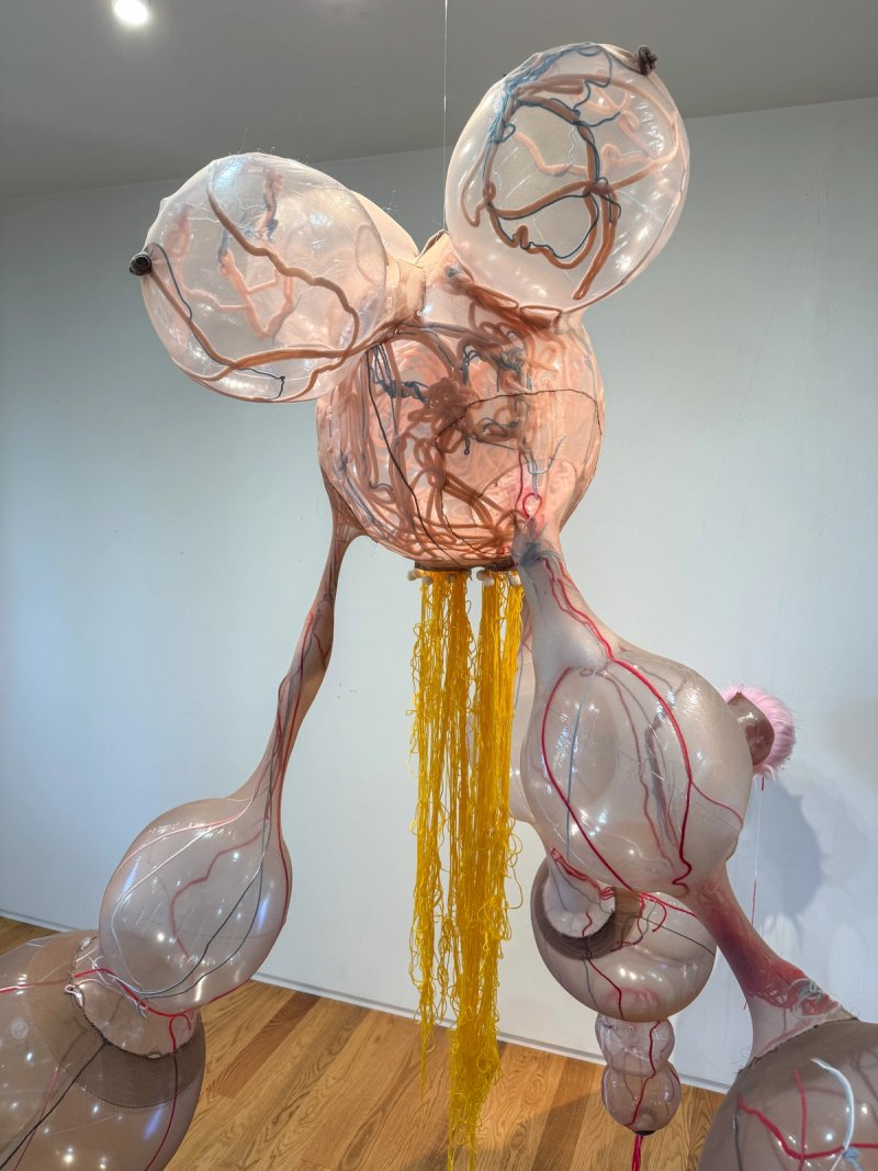 Photo of NICU Pump by Luther Thie​​​​‌﻿‍﻿​‍​‍‌‍﻿﻿‌﻿​‍‌‍‍‌‌‍‌﻿‌‍‍‌‌‍﻿‍​‍​‍​﻿‍‍​‍​‍‌﻿​﻿‌‍​‌‌‍﻿‍‌‍‍‌‌﻿‌​‌﻿‍‌​‍﻿‍‌‍‍‌‌‍﻿﻿​‍​‍​‍﻿​​‍​‍‌‍‍​‌﻿​‍‌‍‌‌‌‍‌‍​‍​‍​﻿‍‍​‍​‍‌‍‍​‌﻿‌​‌﻿‌​‌﻿​​‌﻿​﻿​﻿‍‍​‍﻿﻿​‍﻿﻿‌‍﻿​‌﻿‌‌‌﻿‌​‌‍‍​‌‍‌‌‌﻿​‍​‍﻿‌‌﻿‌​‌‍‍​‌‍‍‌‌‍‌‌​‍﻿‌‌﻿​​‌‍﻿﻿‌﻿​‍‌﻿‌​‌‍‌‍‌‍﻿﻿‌‍﻿​‌‍‍‌‌‍﻿﻿​‍﻿‍‌﻿​﻿‌‍​‌‌‍﻿‍‌‍‍‌‌﻿‌​‌﻿‍‌​‍﻿‍‌﻿​﻿‌﻿‌​‌﻿‌‌‌‍‌​‌‍‍‌‌‍﻿﻿​‍﻿﻿‌‍‍‌‌‍﻿‍‌﻿‌​‌‍‌‌‌‍﻿‍‌﻿‌​​‍﻿﻿‌‍‌‌‌‍‌​‌‍‍‌‌﻿‌​​‍﻿﻿‌‍﻿‌‌‍﻿﻿‌‍‌​‌‍‌‌​﻿﻿‌‌﻿​​‌﻿​‍‌‍‌‌‌﻿​﻿‌‍‌‌‌‍﻿‍‌﻿‌​‌‍​‌‌﻿‌​‌‍‍‌‌‍﻿﻿‌‍﻿‍​﻿‍﻿‌‍‍‌‌‍‌​​﻿﻿‌‌‍‌​​﻿​‍‌‍​‍​﻿‌﻿​﻿‌‍​﻿‌﻿​﻿​‌​﻿​‌​‍﻿‌​﻿‍​‌‍‌‍​﻿​‌​﻿​﻿​‍﻿‌​﻿‌​‌‍‌‍​﻿​‌​﻿‌﻿​‍﻿‌​﻿‍‌‌‍‌‌​﻿​‍‌‍​‌​‍﻿‌​﻿‌‌​﻿​‍​﻿‌​‌‍‌‌​﻿‌﻿‌‍​‌​﻿​‌​﻿​﻿​﻿‌​​﻿‌‍​﻿‌﻿​﻿‌﻿​﻿‍﻿‌﻿‌​‌﻿‍‌‌﻿​​‌‍‌‌​﻿﻿‌‌﻿‌﻿‌‍﻿﻿‌﻿​‍‌‍‍﻿​﻿‍﻿‌﻿​​‌‍​‌‌﻿‌​‌‍‍​​﻿﻿‌‌‍​﻿‌‍﻿﻿‌‍﻿‍‌﻿‌​‌‍‌‌‌‍﻿‍‌﻿‌​‌​​‍‌‍﻿​‌‍﻿﻿‌‍​﻿‌‍‍﻿‌﻿​﻿​‍‌‌​﻿‌‌‌​​‍‌‌﻿﻿‌‍‍﻿‌‍‌‌‌﻿‍‌​‍‌‌​﻿​﻿‌​‌​​‍‌‌​﻿​﻿‌​‌​​‍‌‌​﻿​‍​﻿​‍​﻿‌﻿​﻿‌﻿​﻿‍‌​﻿​​​﻿‌﻿​﻿‌﻿​﻿‌​​﻿‍​‌‍‌‍‌‍‌‌​﻿​‍​﻿​‌​‍‌‌​﻿​‍​﻿​‍​‍‌‌​﻿‌‌‌​‌​​‍﻿‍‌‍‍‌‌‍﻿‌‌‍​‌‌‍‌﻿‌‍‌‌‌﻿​﻿​‍‌‌​﻿‌‌‌​​‍‌‌﻿﻿‌‍‍﻿‌‍‌‌‌﻿‍‌​‍‌‌​﻿​﻿‌​‌​​‍‌‌​﻿​﻿‌​‌​​‍‌‌​﻿​‍​﻿​‍‌‍‌‌‌‍‌​‌‍‌‍‌‍​‍​﻿‌‌​﻿​﻿​﻿​﻿​﻿‍‌​﻿‌﻿​﻿‌﻿​﻿​‍‌‍‌‌​‍‌‌​﻿​‍​﻿​‍​‍‌‌​﻿‌‌‌​‌​​‍﻿‍‌‍​‌‌‍﻿​‌﻿‌​​﻿﻿﻿‌‍​‍‌‍​‌‌﻿​﻿‌‍‌‌‌‌‌‌‌﻿​‍‌‍﻿​​﻿﻿‌‌‍‍​‌﻿‌​‌﻿‌​‌﻿​​‌﻿​﻿​‍‌‌​﻿​﻿‌​​‌​‍‌‌​﻿​‍‌​‌‍​‍‌‌​﻿​‍‌​‌‍‌‍﻿​‌﻿‌‌‌﻿‌​‌‍‍​‌‍‌‌‌﻿​‍​‍﻿‌‌﻿‌​‌‍‍​‌‍‍‌‌‍‌‌​‍﻿‌‌﻿​​‌‍﻿﻿‌﻿​‍‌﻿‌​‌‍‌‍‌‍﻿﻿‌‍﻿​‌‍‍‌‌‍﻿﻿​‍﻿‍‌﻿​﻿‌‍​‌‌‍﻿‍‌‍‍‌‌﻿‌​‌﻿‍‌​‍﻿‍‌﻿​﻿‌﻿‌​‌﻿‌‌‌‍‌​‌‍‍‌‌‍﻿﻿​‍‌‍‌‍‍‌‌‍‌​​﻿﻿‌‌‍‌​​﻿​‍‌‍​‍​﻿‌﻿​﻿‌‍​﻿‌﻿​﻿​‌​﻿​‌​‍﻿‌​﻿‍​‌‍‌‍​﻿​‌​﻿​﻿​‍﻿‌​﻿‌​‌‍‌‍​﻿​‌​﻿‌﻿​‍﻿‌​﻿‍‌‌‍‌‌​﻿​‍‌‍​‌​‍﻿‌​﻿‌‌​﻿​‍​﻿‌​‌‍‌‌​﻿‌﻿‌‍​‌​﻿​‌​﻿​﻿​﻿‌​​﻿‌‍​﻿‌﻿​﻿‌﻿​‍‌‍‌﻿‌​‌﻿‍‌‌﻿​​‌‍‌‌​﻿﻿‌‌﻿‌﻿‌‍﻿﻿‌﻿​‍‌‍‍﻿​‍‌‍‌﻿​​‌‍​‌‌﻿‌​‌‍‍​​﻿﻿‌‌‍​﻿‌‍﻿﻿‌‍﻿‍‌﻿‌​‌‍‌‌‌‍﻿‍‌﻿‌​‌​​‍‌‍﻿​‌‍﻿﻿‌‍​﻿‌‍‍﻿‌﻿​﻿​‍‌‌​﻿‌‌‌​​‍‌‌﻿﻿‌‍‍﻿‌‍‌‌‌﻿‍‌​‍‌‌​﻿​﻿‌​‌​​‍‌‌​﻿​﻿‌​‌​​‍‌‌​﻿​‍​﻿​‍​﻿‌﻿​﻿‌﻿​﻿‍‌​﻿​​​﻿‌﻿​﻿‌﻿​﻿‌​​﻿‍​‌‍‌‍‌‍‌‌​﻿​‍​﻿​‌​‍‌‌​﻿​‍​﻿​‍​‍‌‌​﻿‌‌‌​‌​​‍﻿‍‌‍‍‌‌‍﻿‌‌‍​‌‌‍‌﻿‌‍‌‌‌﻿​﻿​‍‌‌​﻿‌‌‌​​‍‌‌﻿﻿‌‍‍﻿‌‍‌‌‌﻿‍‌​‍‌‌​﻿​﻿‌​‌​​‍‌‌​﻿​﻿‌​‌​​‍‌‌​﻿​‍​﻿​‍‌‍‌‌‌‍‌​‌‍‌‍‌‍​‍​﻿‌‌​﻿​﻿​﻿​﻿​﻿‍‌​﻿‌﻿​﻿‌﻿​﻿​‍‌‍‌‌​‍‌‌​﻿​‍​﻿​‍​‍‌‌​﻿‌‌‌​‌​​‍﻿‍‌‍​‌‌‍﻿​‌﻿‌​​‍‌‍‌﻿​​‌‍‌‌‌﻿​‍‌﻿​﻿‌﻿​​‌‍‌‌‌‍​﻿‌﻿‌​‌‍‍‌‌﻿‌‍‌‍‌‌​﻿﻿‌‌﻿​​‌﻿‌‌‌‍​‍‌‍﻿​‌‍‍‌‌﻿​﻿‌‍‍​‌‍‌‌‌‍‌​​‍​‍‌﻿﻿‌