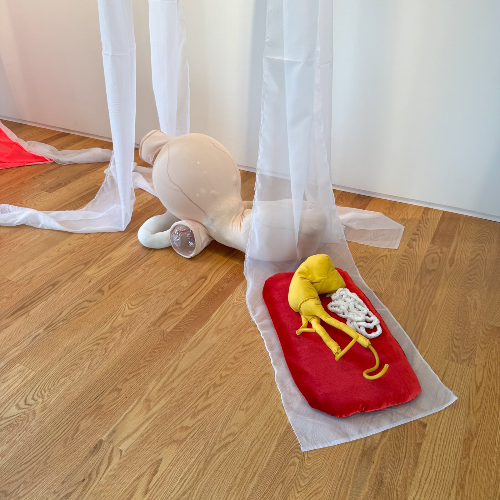 Photo of Personalized Organ, 2025​​​​‌﻿‍﻿​‍​‍‌‍﻿﻿‌﻿​‍‌‍‍‌‌‍‌﻿‌‍‍‌‌‍﻿‍​‍​‍​﻿‍‍​‍​‍‌﻿​﻿‌‍​‌‌‍﻿‍‌‍‍‌‌﻿‌​‌﻿‍‌​‍﻿‍‌‍‍‌‌‍﻿﻿​‍​‍​‍﻿​​‍​‍‌‍‍​‌﻿​‍‌‍‌‌‌‍‌‍​‍​‍​﻿‍‍​‍​‍‌‍‍​‌﻿‌​‌﻿‌​‌﻿​​‌﻿​﻿​﻿‍‍​‍﻿﻿​‍﻿﻿‌‍﻿​‌﻿‌‌‌﻿‌​‌‍‍​‌‍‌‌‌﻿​‍​‍﻿‌‌﻿‌​‌‍‍​‌‍‍‌‌‍‌‌​‍﻿‌‌﻿​​‌‍﻿﻿‌﻿​‍‌﻿‌​‌‍‌‍‌‍﻿﻿‌‍﻿​‌‍‍‌‌‍﻿﻿​‍﻿‍‌﻿​﻿‌‍​‌‌‍﻿‍‌‍‍‌‌﻿‌​‌﻿‍‌​‍﻿‍‌﻿​﻿‌﻿‌​‌﻿‌‌‌‍‌​‌‍‍‌‌‍﻿﻿​‍﻿﻿‌‍‍‌‌‍﻿‍‌﻿‌​‌‍‌‌‌‍﻿‍‌﻿‌​​‍﻿﻿‌‍‌‌‌‍‌​‌‍‍‌‌﻿‌​​‍﻿﻿‌‍﻿‌‌‍﻿﻿‌‍‌​‌‍‌‌​﻿﻿‌‌﻿​​‌﻿​‍‌‍‌‌‌﻿​﻿‌‍‌‌‌‍﻿‍‌﻿‌​‌‍​‌‌﻿‌​‌‍‍‌‌‍﻿﻿‌‍﻿‍​﻿‍﻿‌‍‍‌‌‍‌​​﻿﻿‌‌﻿​​‌‍‌​‌​‍‍‌​​‌‌‌‍‌‌﻿​﻿​﻿​​‌‍​‌‌​‌﻿‌​‌﻿‌‍​‌​﻿‌​‌​‍‍‌‍﻿‍‌‍‍﻿‌‍‌‌‌​﻿‌‌﻿‌﻿‌‌​‍‌‍‍‍‌​​﻿‌​‍‌​﻿‍﻿‌﻿‌​‌﻿‍‌‌﻿​​‌‍‌‌​﻿﻿‌‌﻿‌﻿‌‍﻿﻿‌﻿​‍‌‍‍﻿​﻿‍﻿‌﻿​​‌‍​‌‌﻿‌​‌‍‍​​﻿﻿‌‌‍​﻿‌‍﻿﻿‌‍﻿‍‌﻿‌​‌‍‌‌‌‍﻿‍‌﻿‌​‌​​‍‌‍﻿​‌‍﻿﻿‌‍​﻿‌‍‍﻿‌﻿​﻿​‍‌‌​﻿‌‌‌​​‍‌‌﻿﻿‌‍‍﻿‌‍‌‌‌﻿‍‌​‍‌‌​﻿​﻿‌​‌​​‍‌‌​﻿​﻿‌​‌​​‍‌‌​﻿​‍​﻿​‍‌‍‍‌‌‍﻿‌‌‍​‌‌‍‌﻿‌‍‌‌​‍﻿‌​﻿​‌​﻿‌﻿​﻿‌‍​﻿‍​​﻿‌‍​﻿​‍​﻿​﻿​﻿‌﻿​﻿​​​﻿​﻿​﻿‌﻿​﻿‌‌​﻿‌﻿​‍﻿‌​﻿‌‌​‍‌‌​﻿​‍​﻿​‍​‍‌‌​﻿‌‌‌​‌​​‍﻿‍‌‍​‌‌‍﻿​‌﻿‌​​﻿﻿﻿‌‍​‍‌‍​‌‌﻿​﻿‌‍‌‌‌‌‌‌‌﻿​‍‌‍﻿​​﻿﻿‌‌‍‍​‌﻿‌​‌﻿‌​‌﻿​​‌﻿​﻿​‍‌‌​﻿​﻿‌​​‌​‍‌‌​﻿​‍‌​‌‍​‍‌‌​﻿​‍‌​‌‍‌‍﻿​‌﻿‌‌‌﻿‌​‌‍‍​‌‍‌‌‌﻿​‍​‍﻿‌‌﻿‌​‌‍‍​‌‍‍‌‌‍‌‌​‍﻿‌‌﻿​​‌‍﻿﻿‌﻿​‍‌﻿‌​‌‍‌‍‌‍﻿﻿‌‍﻿​‌‍‍‌‌‍﻿﻿​‍﻿‍‌﻿​﻿‌‍​‌‌‍﻿‍‌‍‍‌‌﻿‌​‌﻿‍‌​‍﻿‍‌﻿​﻿‌﻿‌​‌﻿‌‌‌‍‌​‌‍‍‌‌‍﻿﻿​‍‌‍‌‍‍‌‌‍‌​​﻿﻿‌‌﻿​​‌‍‌​‌​‍‍‌​​‌‌‌‍‌‌﻿​﻿​﻿​​‌‍​‌‌​‌﻿‌​‌﻿‌‍​‌​﻿‌​‌​‍‍‌‍﻿‍‌‍‍﻿‌‍‌‌‌​﻿‌‌﻿‌﻿‌‌​‍‌‍‍‍‌​​﻿‌​‍‌​‍‌‍‌﻿‌​‌﻿‍‌‌﻿​​‌‍‌‌​﻿﻿‌‌﻿‌﻿‌‍﻿﻿‌﻿​‍‌‍‍﻿​‍‌‍‌﻿​​‌‍​‌‌﻿‌​‌‍‍​​﻿﻿‌‌‍​﻿‌‍﻿﻿‌‍﻿‍‌﻿‌​‌‍‌‌‌‍﻿‍‌﻿‌​‌​​‍‌‍﻿​‌‍﻿﻿‌‍​﻿‌‍‍﻿‌﻿​﻿​‍‌‌​﻿‌‌‌​​‍‌‌﻿﻿‌‍‍﻿‌‍‌‌‌﻿‍‌​‍‌‌​﻿​﻿‌​‌​​‍‌‌​﻿​﻿‌​‌​​‍‌‌​﻿​‍​﻿​‍‌‍‍‌‌‍﻿‌‌‍​‌‌‍‌﻿‌‍‌‌​‍﻿‌​﻿​‌​﻿‌﻿​﻿‌‍​﻿‍​​﻿‌‍​﻿​‍​﻿​﻿​﻿‌﻿​﻿​​​﻿​﻿​﻿‌﻿​﻿‌‌​﻿‌﻿​‍﻿‌​﻿‌‌​‍‌‌​﻿​‍​﻿​‍​‍‌‌​﻿‌‌‌​‌​​‍﻿‍‌‍​‌‌‍﻿​‌﻿‌​​‍‌‍‌﻿​​‌‍‌‌‌﻿​‍‌﻿​﻿‌﻿​​‌‍‌‌‌‍​﻿‌﻿‌​‌‍‍‌‌﻿‌‍‌‍‌‌​﻿﻿‌‌﻿​​‌﻿‌‌‌‍​‍‌‍﻿​‌‍‍‌‌﻿​﻿‌‍‍​‌‍‌‌‌‍‌​​‍​‍‌﻿﻿‌