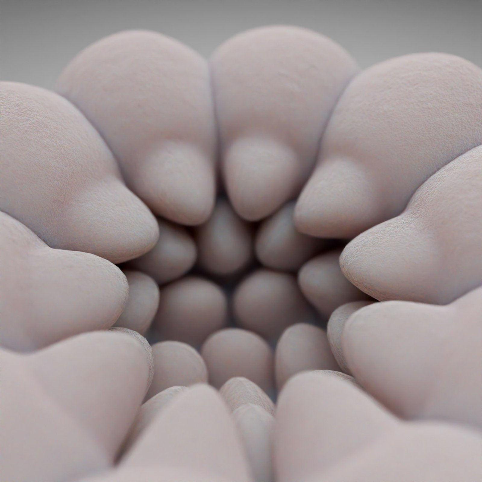 Phyllotaxis study (detail), 2023​​​​‌﻿‍﻿​‍​‍‌‍﻿﻿‌﻿​‍‌‍‍‌‌‍‌﻿‌‍‍‌‌‍﻿‍​‍​‍​﻿‍‍​‍​‍‌﻿​﻿‌‍​‌‌‍﻿‍‌‍‍‌‌﻿‌​‌﻿‍‌​‍﻿‍‌‍‍‌‌‍﻿﻿​‍​‍​‍﻿​​‍​‍‌‍‍​‌﻿​‍‌‍‌‌‌‍‌‍​‍​‍​﻿‍‍​‍​‍‌‍‍​‌﻿‌​‌﻿‌​‌﻿​​‌﻿​﻿​﻿‍‍​‍﻿﻿​‍﻿﻿‌‍﻿​‌﻿‌‌‌﻿‌​‌‍‍​‌‍‌‌‌﻿​‍​‍﻿‌‌﻿‌​‌‍‍​‌‍‍‌‌‍‌‌​‍﻿‌‌﻿​​‌‍﻿﻿‌﻿​‍‌﻿‌​‌‍‌‍‌‍﻿﻿‌‍﻿​‌‍‍‌‌‍﻿﻿​‍﻿‍‌﻿​﻿‌‍​‌‌‍﻿‍‌‍‍‌‌﻿‌​‌﻿‍‌​‍﻿‍‌﻿​﻿‌﻿‌​‌﻿‌‌‌‍‌​‌‍‍‌‌‍﻿﻿​‍﻿﻿‌‍‍‌‌‍﻿‍‌﻿‌​‌‍‌‌‌‍﻿‍‌﻿‌​​‍﻿﻿‌‍‌‌‌‍‌​‌‍‍‌‌﻿‌​​‍﻿﻿‌‍﻿‌‌‍﻿﻿‌‍‌​‌‍‌‌​﻿﻿‌‌﻿​​‌﻿​‍‌‍‌‌‌﻿​﻿‌‍‌‌‌‍﻿‍‌﻿‌​‌‍​‌‌﻿‌​‌‍‍‌‌‍﻿﻿‌‍﻿‍​﻿‍﻿‌‍‍‌‌‍‌​​﻿﻿‌‌﻿​‌‌﻿​‌‌﻿‌​​﻿‌‍‌﻿‍​‌​‌‍‌‍﻿‌‌​‌​​﻿​﻿‌​‍​‌﻿‍‍‌﻿‌﻿‌​﻿‌‌​﻿‍‌​​‍‌﻿‌​‌‌‍‍‌‌‌‌‌​‌‌‌‍‌‍‌‍‌​‌​﻿‌​﻿‍﻿‌﻿‌​‌﻿‍‌‌﻿​​‌‍‌‌​﻿﻿‌‌﻿‌﻿‌‍﻿﻿‌﻿​‍‌‍‍﻿​﻿‍﻿‌﻿​​‌‍​‌‌﻿‌​‌‍‍​​﻿﻿‌‌‍​﻿‌‍﻿﻿‌‍﻿‍‌﻿‌​‌‍‌‌‌‍﻿‍‌﻿‌​‌​​‍‌‍﻿​‌‍﻿﻿‌‍​﻿‌‍‍﻿‌﻿​﻿​‍‌‌​﻿‌‌‌​​‍‌‌﻿﻿‌‍‍﻿‌‍‌‌‌﻿‍‌​‍‌‌​﻿​﻿‌​‌​​‍‌‌​﻿​﻿‌​‌​​‍‌‌​﻿​‍​﻿​‍‌‍‍‌‌‍﻿‌‌‍​‌‌‍‌﻿‌‍‌‌​‍﻿‌​﻿​‌​﻿‌﻿​﻿‌‍​﻿‍​​﻿‌‍​﻿​‍​﻿​﻿​﻿‌﻿​﻿​‍​﻿​‍​﻿‍‌​﻿​﻿​﻿‌‍​‍﻿‌​﻿​​​‍‌‌​﻿​‍​﻿​‍​‍‌‌​﻿‌‌‌​‌​​‍﻿‍‌‍​‌‌‍﻿​‌﻿‌​​﻿﻿﻿‌‍​‍‌‍​‌‌﻿​﻿‌‍‌‌‌‌‌‌‌﻿​‍‌‍﻿​​﻿﻿‌‌‍‍​‌﻿‌​‌﻿‌​‌﻿​​‌﻿​﻿​‍‌‌​﻿​﻿‌​​‌​‍‌‌​﻿​‍‌​‌‍​‍‌‌​﻿​‍‌​‌‍‌‍﻿​‌﻿‌‌‌﻿‌​‌‍‍​‌‍‌‌‌﻿​‍​‍﻿‌‌﻿‌​‌‍‍​‌‍‍‌‌‍‌‌​‍﻿‌‌﻿​​‌‍﻿﻿‌﻿​‍‌﻿‌​‌‍‌‍‌‍﻿﻿‌‍﻿​‌‍‍‌‌‍﻿﻿​‍﻿‍‌﻿​﻿‌‍​‌‌‍﻿‍‌‍‍‌‌﻿‌​‌﻿‍‌​‍﻿‍‌﻿​﻿‌﻿‌​‌﻿‌‌‌‍‌​‌‍‍‌‌‍﻿﻿​‍‌‍‌‍‍‌‌‍‌​​﻿﻿‌‌﻿​‌‌﻿​‌‌﻿‌​​﻿‌‍‌﻿‍​‌​‌‍‌‍﻿‌‌​‌​​﻿​﻿‌​‍​‌﻿‍‍‌﻿‌﻿‌​﻿‌‌​﻿‍‌​​‍‌﻿‌​‌‌‍‍‌‌‌‌‌​‌‌‌‍‌‍‌‍‌​‌​﻿‌​‍‌‍‌﻿‌​‌﻿‍‌‌﻿​​‌‍‌‌​﻿﻿‌‌﻿‌﻿‌‍﻿﻿‌﻿​‍‌‍‍﻿​‍‌‍‌﻿​​‌‍​‌‌﻿‌​‌‍‍​​﻿﻿‌‌‍​﻿‌‍﻿﻿‌‍﻿‍‌﻿‌​‌‍‌‌‌‍﻿‍‌﻿‌​‌​​‍‌‍﻿​‌‍﻿﻿‌‍​﻿‌‍‍﻿‌﻿​﻿​‍‌‌​﻿‌‌‌​​‍‌‌﻿﻿‌‍‍﻿‌‍‌‌‌﻿‍‌​‍‌‌​﻿​﻿‌​‌​​‍‌‌​﻿​﻿‌​‌​​‍‌‌​﻿​‍​﻿​‍‌‍‍‌‌‍﻿‌‌‍​‌‌‍‌﻿‌‍‌‌​‍﻿‌​﻿​‌​﻿‌﻿​﻿‌‍​﻿‍​​﻿‌‍​﻿​‍​﻿​﻿​﻿‌﻿​﻿​‍​﻿​‍​﻿‍‌​﻿​﻿​﻿‌‍​‍﻿‌​﻿​​​‍‌‌​﻿​‍​﻿​‍​‍‌‌​﻿‌‌‌​‌​​‍﻿‍‌‍​‌‌‍﻿​‌﻿‌​​‍‌‍‌﻿​​‌‍‌‌‌﻿​‍‌﻿​﻿‌﻿​​‌‍‌‌‌‍​﻿‌﻿‌​‌‍‍‌‌﻿‌‍‌‍‌‌​﻿﻿‌‌﻿​​‌﻿‌‌‌‍​‍‌‍﻿​‌‍‍‌‌﻿​﻿‌‍‍​‌‍‌‌‌‍‌​​‍​‍‌﻿﻿‌