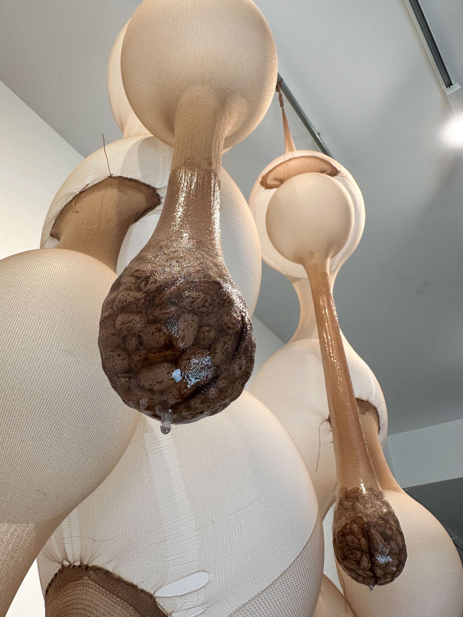 Fermentation Rig​​​​‌﻿‍﻿​‍​‍‌‍﻿﻿‌﻿​‍‌‍‍‌‌‍‌﻿‌‍‍‌‌‍﻿‍​‍​‍​﻿‍‍​‍​‍‌﻿​﻿‌‍​‌‌‍﻿‍‌‍‍‌‌﻿‌​‌﻿‍‌​‍﻿‍‌‍‍‌‌‍﻿﻿​‍​‍​‍﻿​​‍​‍‌‍‍​‌﻿​‍‌‍‌‌‌‍‌‍​‍​‍​﻿‍‍​‍​‍‌‍‍​‌﻿‌​‌﻿‌​‌﻿​​‌﻿​﻿​﻿‍‍​‍﻿﻿​‍﻿﻿‌‍﻿​‌﻿‌‌‌﻿‌​‌‍‍​‌‍‌‌‌﻿​‍​‍﻿‌‌﻿‌​‌‍‍​‌‍‍‌‌‍‌‌​‍﻿‌‌﻿​​‌‍﻿﻿‌﻿​‍‌﻿‌​‌‍‌‍‌‍﻿﻿‌‍﻿​‌‍‍‌‌‍﻿﻿​‍﻿‍‌﻿​﻿‌‍​‌‌‍﻿‍‌‍‍‌‌﻿‌​‌﻿‍‌​‍﻿‍‌﻿​﻿‌﻿‌​‌﻿‌‌‌‍‌​‌‍‍‌‌‍﻿﻿​‍﻿﻿‌‍‍‌‌‍﻿‍‌﻿‌​‌‍‌‌‌‍﻿‍‌﻿‌​​‍﻿﻿‌‍‌‌‌‍‌​‌‍‍‌‌﻿‌​​‍﻿﻿‌‍﻿‌‌‍﻿﻿‌‍‌​‌‍‌‌​﻿﻿‌‌﻿​​‌﻿​‍‌‍‌‌‌﻿​﻿‌‍‌‌‌‍﻿‍‌﻿‌​‌‍​‌‌﻿‌​‌‍‍‌‌‍﻿﻿‌‍﻿‍​﻿‍﻿‌‍‍‌‌‍‌​​﻿﻿‌‌​‌​‌‌‌​‌‍‌‌‌​‌​‌​​﻿‌‌​﻿‌​﻿‍‌‍﻿​‌‍﻿​‌​‌﻿‌‌​‍​﻿​‍‌‌‍‍‌‌​‌‌‍​‍‌​‌​‌‍﻿​‌﻿‌‌‌‌​‌‌​​‍‌﻿​﻿‌​​‍​﻿‍﻿‌﻿‌​‌﻿‍‌‌﻿​​‌‍‌‌​﻿﻿‌‌﻿‌﻿‌‍﻿﻿‌﻿​‍‌‍‍﻿​﻿‍﻿‌﻿​​‌‍​‌‌﻿‌​‌‍‍​​﻿﻿‌‌‍​﻿‌‍﻿﻿‌‍﻿‍‌﻿‌​‌‍‌‌‌‍﻿‍‌﻿‌​‌​​‍‌‍﻿​‌‍﻿﻿‌‍​﻿‌‍‍﻿‌﻿​﻿​‍‌‌​﻿‌‌‌​​‍‌‌﻿﻿‌‍‍﻿‌‍‌‌‌﻿‍‌​‍‌‌​﻿​﻿‌​‌​​‍‌‌​﻿​﻿‌​‌​​‍‌‌​﻿​‍​﻿​‍‌‍‍‌‌‍﻿‌‌‍​‌‌‍‌﻿‌‍‌‌​‍﻿‌​﻿​‌​﻿‌﻿​﻿‌‍​﻿‍​​﻿‌‍​﻿​‍​﻿​﻿​﻿‌‍​﻿‌‍​﻿‍​​﻿​​​﻿​﻿​﻿​‌​‍﻿‌​﻿​‍​‍‌‌​﻿​‍​﻿​‍​‍‌‌​﻿‌‌‌​‌​​‍﻿‍‌‍​‌‌‍﻿​‌﻿‌​​﻿﻿﻿‌‍​‍‌‍​‌‌﻿​﻿‌‍‌‌‌‌‌‌‌﻿​‍‌‍﻿​​﻿﻿‌‌‍‍​‌﻿‌​‌﻿‌​‌﻿​​‌﻿​﻿​‍‌‌​﻿​﻿‌​​‌​‍‌‌​﻿​‍‌​‌‍​‍‌‌​﻿​‍‌​‌‍‌‍﻿​‌﻿‌‌‌﻿‌​‌‍‍​‌‍‌‌‌﻿​‍​‍﻿‌‌﻿‌​‌‍‍​‌‍‍‌‌‍‌‌​‍﻿‌‌﻿​​‌‍﻿﻿‌﻿​‍‌﻿‌​‌‍‌‍‌‍﻿﻿‌‍﻿​‌‍‍‌‌‍﻿﻿​‍﻿‍‌﻿​﻿‌‍​‌‌‍﻿‍‌‍‍‌‌﻿‌​‌﻿‍‌​‍﻿‍‌﻿​﻿‌﻿‌​‌﻿‌‌‌‍‌​‌‍‍‌‌‍﻿﻿​‍‌‍‌‍‍‌‌‍‌​​﻿﻿‌‌​‌​‌‌‌​‌‍‌‌‌​‌​‌​​﻿‌‌​﻿‌​﻿‍‌‍﻿​‌‍﻿​‌​‌﻿‌‌​‍​﻿​‍‌‌‍‍‌‌​‌‌‍​‍‌​‌​‌‍﻿​‌﻿‌‌‌‌​‌‌​​‍‌﻿​﻿‌​​‍​‍‌‍‌﻿‌​‌﻿‍‌‌﻿​​‌‍‌‌​﻿﻿‌‌﻿‌﻿‌‍﻿﻿‌﻿​‍‌‍‍﻿​‍‌‍‌﻿​​‌‍​‌‌﻿‌​‌‍‍​​﻿﻿‌‌‍​﻿‌‍﻿﻿‌‍﻿‍‌﻿‌​‌‍‌‌‌‍﻿‍‌﻿‌​‌​​‍‌‍﻿​‌‍﻿﻿‌‍​﻿‌‍‍﻿‌﻿​﻿​‍‌‌​﻿‌‌‌​​‍‌‌﻿﻿‌‍‍﻿‌‍‌‌‌﻿‍‌​‍‌‌​﻿​﻿‌​‌​​‍‌‌​﻿​﻿‌​‌​​‍‌‌​﻿​‍​﻿​‍‌‍‍‌‌‍﻿‌‌‍​‌‌‍‌﻿‌‍‌‌​‍﻿‌​﻿​‌​﻿‌﻿​﻿‌‍​﻿‍​​﻿‌‍​﻿​‍​﻿​﻿​﻿‌‍​﻿‌‍​﻿‍​​﻿​​​﻿​﻿​﻿​‌​‍﻿‌​﻿​‍​‍‌‌​﻿​‍​﻿​‍​‍‌‌​﻿‌‌‌​‌​​‍﻿‍‌‍​‌‌‍﻿​‌﻿‌​​‍‌‍‌﻿​​‌‍‌‌‌﻿​‍‌﻿​﻿‌﻿​​‌‍‌‌‌‍​﻿‌﻿‌​‌‍‍‌‌﻿‌‍‌‍‌‌​﻿﻿‌‌﻿​​‌﻿‌‌‌‍​‍‌‍﻿​‌‍‍‌‌﻿​﻿‌‍‍​‌‍‌‌‌‍‌​​‍​‍‌﻿﻿‌