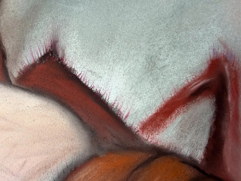 photo of Gravida 1 (detail)