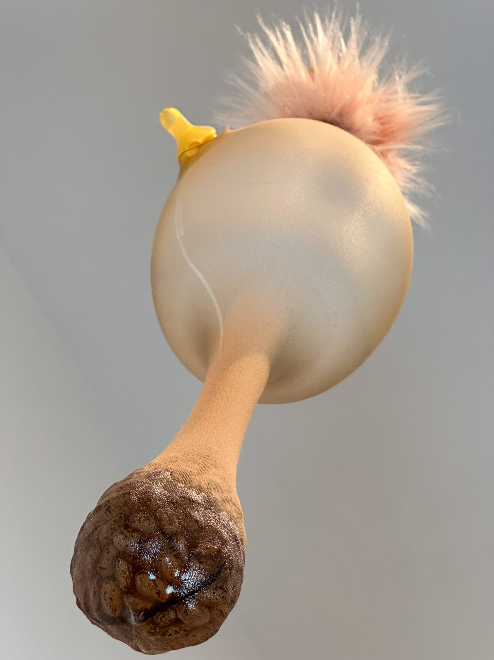 bonnieDronePinkHair​​​​‌﻿‍﻿​‍​‍‌‍﻿﻿‌﻿​‍‌‍‍‌‌‍‌﻿‌‍‍‌‌‍﻿‍​‍​‍​﻿‍‍​‍​‍‌﻿​﻿‌‍​‌‌‍﻿‍‌‍‍‌‌﻿‌​‌﻿‍‌​‍﻿‍‌‍‍‌‌‍﻿﻿​‍​‍​‍﻿​​‍​‍‌‍‍​‌﻿​‍‌‍‌‌‌‍‌‍​‍​‍​﻿‍‍​‍​‍‌‍‍​‌﻿‌​‌﻿‌​‌﻿​​‌﻿​﻿​﻿‍‍​‍﻿﻿​‍﻿﻿‌‍﻿​‌﻿‌‌‌﻿‌​‌‍‍​‌‍‌‌‌﻿​‍​‍﻿‌‌﻿‌​‌‍‍​‌‍‍‌‌‍‌‌​‍﻿‌‌﻿​​‌‍﻿﻿‌﻿​‍‌﻿‌​‌‍‌‍‌‍﻿﻿‌‍﻿​‌‍‍‌‌‍﻿﻿​‍﻿‍‌﻿​﻿‌‍​‌‌‍﻿‍‌‍‍‌‌﻿‌​‌﻿‍‌​‍﻿‍‌﻿​﻿‌﻿‌​‌﻿‌‌‌‍‌​‌‍‍‌‌‍﻿﻿​‍﻿﻿‌‍‍‌‌‍﻿‍‌﻿‌​‌‍‌‌‌‍﻿‍‌﻿‌​​‍﻿﻿‌‍‌‌‌‍‌​‌‍‍‌‌﻿‌​​‍﻿﻿‌‍﻿‌‌‍﻿﻿‌‍‌​‌‍‌‌​﻿﻿‌‌﻿​​‌﻿​‍‌‍‌‌‌﻿​﻿‌‍‌‌‌‍﻿‍‌﻿‌​‌‍​‌‌﻿‌​‌‍‍‌‌‍﻿﻿‌‍﻿‍​﻿‍﻿‌‍‍‌‌‍‌​​﻿﻿‌‌﻿​‌‌﻿​‌‌﻿‌​​﻿‌‍‌﻿‍​‌​‌‍‌‍﻿‌‌​‌​​﻿​﻿‌​‍​‌﻿‍‍‌﻿‌﻿‌​﻿‌‌​﻿‍‌​​‍‌﻿‌​‌‌‍‍‌‌‌‌‌​‌‌‌‍‍​‌​‌﻿​﻿​​​﻿‍﻿‌﻿‌​‌﻿‍‌‌﻿​​‌‍‌‌​﻿﻿‌‌﻿‌﻿‌‍﻿﻿‌﻿​‍‌‍‍﻿​﻿‍﻿‌﻿​​‌‍​‌‌﻿‌​‌‍‍​​﻿﻿‌‌‍​﻿‌‍﻿﻿‌‍﻿‍‌﻿‌​‌‍‌‌‌‍﻿‍‌﻿‌​‌​​‍‌‍﻿​‌‍﻿﻿‌‍​﻿‌‍‍﻿‌﻿​﻿​‍‌‌​﻿‌‌‌​​‍‌‌﻿﻿‌‍‍﻿‌‍‌‌‌﻿‍‌​‍‌‌​﻿​﻿‌​‌​​‍‌‌​﻿​﻿‌​‌​​‍‌‌​﻿​‍​﻿​‍‌‍‍‌‌‍﻿‌‌‍​‌‌‍‌﻿‌‍‌‌​‍﻿‌​﻿​‌​﻿‌﻿​﻿‌‍​﻿‍​​﻿‌‍​﻿​‍​﻿​﻿​﻿‌﻿​﻿​‍​﻿‌‍​﻿‍‌​﻿‌﻿​﻿‌​​‍﻿‌​﻿‌‍​‍‌‌​﻿​‍​﻿​‍​‍‌‌​﻿‌‌‌​‌​​‍﻿‍‌‍​‌‌‍﻿​‌﻿‌​​﻿﻿﻿‌‍​‍‌‍​‌‌﻿​﻿‌‍‌‌‌‌‌‌‌﻿​‍‌‍﻿​​﻿﻿‌‌‍‍​‌﻿‌​‌﻿‌​‌﻿​​‌﻿​﻿​‍‌‌​﻿​﻿‌​​‌​‍‌‌​﻿​‍‌​‌‍​‍‌‌​﻿​‍‌​‌‍‌‍﻿​‌﻿‌‌‌﻿‌​‌‍‍​‌‍‌‌‌﻿​‍​‍﻿‌‌﻿‌​‌‍‍​‌‍‍‌‌‍‌‌​‍﻿‌‌﻿​​‌‍﻿﻿‌﻿​‍‌﻿‌​‌‍‌‍‌‍﻿﻿‌‍﻿​‌‍‍‌‌‍﻿﻿​‍﻿‍‌﻿​﻿‌‍​‌‌‍﻿‍‌‍‍‌‌﻿‌​‌﻿‍‌​‍﻿‍‌﻿​﻿‌﻿‌​‌﻿‌‌‌‍‌​‌‍‍‌‌‍﻿﻿​‍‌‍‌‍‍‌‌‍‌​​﻿﻿‌‌﻿​‌‌﻿​‌‌﻿‌​​﻿‌‍‌﻿‍​‌​‌‍‌‍﻿‌‌​‌​​﻿​﻿‌​‍​‌﻿‍‍‌﻿‌﻿‌​﻿‌‌​﻿‍‌​​‍‌﻿‌​‌‌‍‍‌‌‌‌‌​‌‌‌‍‍​‌​‌﻿​﻿​​​‍‌‍‌﻿‌​‌﻿‍‌‌﻿​​‌‍‌‌​﻿﻿‌‌﻿‌﻿‌‍﻿﻿‌﻿​‍‌‍‍﻿​‍‌‍‌﻿​​‌‍​‌‌﻿‌​‌‍‍​​﻿﻿‌‌‍​﻿‌‍﻿﻿‌‍﻿‍‌﻿‌​‌‍‌‌‌‍﻿‍‌﻿‌​‌​​‍‌‍﻿​‌‍﻿﻿‌‍​﻿‌‍‍﻿‌﻿​﻿​‍‌‌​﻿‌‌‌​​‍‌‌﻿﻿‌‍‍﻿‌‍‌‌‌﻿‍‌​‍‌‌​﻿​﻿‌​‌​​‍‌‌​﻿​﻿‌​‌​​‍‌‌​﻿​‍​﻿​‍‌‍‍‌‌‍﻿‌‌‍​‌‌‍‌﻿‌‍‌‌​‍﻿‌​﻿​‌​﻿‌﻿​﻿‌‍​﻿‍​​﻿‌‍​﻿​‍​﻿​﻿​﻿‌﻿​﻿​‍​﻿‌‍​﻿‍‌​﻿‌﻿​﻿‌​​‍﻿‌​﻿‌‍​‍‌‌​﻿​‍​﻿​‍​‍‌‌​﻿‌‌‌​‌​​‍﻿‍‌‍​‌‌‍﻿​‌﻿‌​​‍‌‍‌﻿​​‌‍‌‌‌﻿​‍‌﻿​﻿‌﻿​​‌‍‌‌‌‍​﻿‌﻿‌​‌‍‍‌‌﻿‌‍‌‍‌‌​﻿﻿‌‌﻿​​‌﻿‌‌‌‍​‍‌‍﻿​‌‍‍‌‌﻿​﻿‌‍‍​‌‍‌‌‌‍‌​​‍​‍‌﻿﻿‌