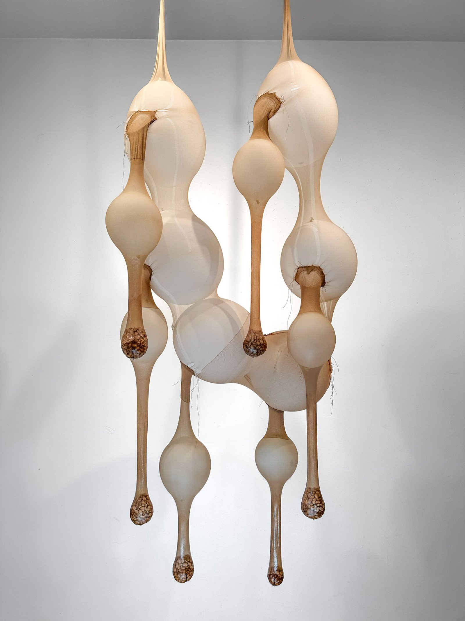 Fermentation Rig​​​​‌﻿‍﻿​‍​‍‌‍﻿﻿‌﻿​‍‌‍‍‌‌‍‌﻿‌‍‍‌‌‍﻿‍​‍​‍​﻿‍‍​‍​‍‌﻿​﻿‌‍​‌‌‍﻿‍‌‍‍‌‌﻿‌​‌﻿‍‌​‍﻿‍‌‍‍‌‌‍﻿﻿​‍​‍​‍﻿​​‍​‍‌‍‍​‌﻿​‍‌‍‌‌‌‍‌‍​‍​‍​﻿‍‍​‍​‍‌‍‍​‌﻿‌​‌﻿‌​‌﻿​​‌﻿​﻿​﻿‍‍​‍﻿﻿​‍﻿﻿‌‍﻿​‌﻿‌‌‌﻿‌​‌‍‍​‌‍‌‌‌﻿​‍​‍﻿‌‌﻿‌​‌‍‍​‌‍‍‌‌‍‌‌​‍﻿‌‌﻿​​‌‍﻿﻿‌﻿​‍‌﻿‌​‌‍‌‍‌‍﻿﻿‌‍﻿​‌‍‍‌‌‍﻿﻿​‍﻿‍‌﻿​﻿‌‍​‌‌‍﻿‍‌‍‍‌‌﻿‌​‌﻿‍‌​‍﻿‍‌﻿​﻿‌﻿‌​‌﻿‌‌‌‍‌​‌‍‍‌‌‍﻿﻿​‍﻿﻿‌‍‍‌‌‍﻿‍‌﻿‌​‌‍‌‌‌‍﻿‍‌﻿‌​​‍﻿﻿‌‍‌‌‌‍‌​‌‍‍‌‌﻿‌​​‍﻿﻿‌‍﻿‌‌‍﻿﻿‌‍‌​‌‍‌‌​﻿﻿‌‌﻿​​‌﻿​‍‌‍‌‌‌﻿​﻿‌‍‌‌‌‍﻿‍‌﻿‌​‌‍​‌‌﻿‌​‌‍‍‌‌‍﻿﻿‌‍﻿‍​﻿‍﻿‌‍‍‌‌‍‌​​﻿﻿‌‌​‌​‌‌‌​‌‍‌‌‌​‌​‌​​﻿‌‌​﻿‌​﻿‍‌‍﻿​‌‍﻿​‌​‌﻿‌‌​‍​﻿​‍‌‌‍‍‌‌​‌‌‍​‍‌​‌​‌‍﻿​‌﻿‌‌‌‌​‌‌​​‍‌﻿​﻿‌​​‍​﻿‍﻿‌﻿‌​‌﻿‍‌‌﻿​​‌‍‌‌​﻿﻿‌‌﻿‌﻿‌‍﻿﻿‌﻿​‍‌‍‍﻿​﻿‍﻿‌﻿​​‌‍​‌‌﻿‌​‌‍‍​​﻿﻿‌‌‍​﻿‌‍﻿﻿‌‍﻿‍‌﻿‌​‌‍‌‌‌‍﻿‍‌﻿‌​‌​​‍‌‍﻿​‌‍﻿﻿‌‍​﻿‌‍‍﻿‌﻿​﻿​‍‌‌​﻿‌‌‌​​‍‌‌﻿﻿‌‍‍﻿‌‍‌‌‌﻿‍‌​‍‌‌​﻿​﻿‌​‌​​‍‌‌​﻿​﻿‌​‌​​‍‌‌​﻿​‍​﻿​‍‌‍‍‌‌‍﻿‌‌‍​‌‌‍‌﻿‌‍‌‌​‍﻿‌​﻿​‌​﻿‌﻿​﻿‌‍​﻿‍​​﻿‌‍​﻿​‍​﻿​﻿​﻿‌‍​﻿‌‍​﻿‍​​﻿​​​﻿​﻿​﻿​‌​‍﻿‌​﻿​​​‍‌‌​﻿​‍​﻿​‍​‍‌‌​﻿‌‌‌​‌​​‍﻿‍‌‍​‌‌‍﻿​‌﻿‌​​﻿﻿﻿‌‍​‍‌‍​‌‌﻿​﻿‌‍‌‌‌‌‌‌‌﻿​‍‌‍﻿​​﻿﻿‌‌‍‍​‌﻿‌​‌﻿‌​‌﻿​​‌﻿​﻿​‍‌‌​﻿​﻿‌​​‌​‍‌‌​﻿​‍‌​‌‍​‍‌‌​﻿​‍‌​‌‍‌‍﻿​‌﻿‌‌‌﻿‌​‌‍‍​‌‍‌‌‌﻿​‍​‍﻿‌‌﻿‌​‌‍‍​‌‍‍‌‌‍‌‌​‍﻿‌‌﻿​​‌‍﻿﻿‌﻿​‍‌﻿‌​‌‍‌‍‌‍﻿﻿‌‍﻿​‌‍‍‌‌‍﻿﻿​‍﻿‍‌﻿​﻿‌‍​‌‌‍﻿‍‌‍‍‌‌﻿‌​‌﻿‍‌​‍﻿‍‌﻿​﻿‌﻿‌​‌﻿‌‌‌‍‌​‌‍‍‌‌‍﻿﻿​‍‌‍‌‍‍‌‌‍‌​​﻿﻿‌‌​‌​‌‌‌​‌‍‌‌‌​‌​‌​​﻿‌‌​﻿‌​﻿‍‌‍﻿​‌‍﻿​‌​‌﻿‌‌​‍​﻿​‍‌‌‍‍‌‌​‌‌‍​‍‌​‌​‌‍﻿​‌﻿‌‌‌‌​‌‌​​‍‌﻿​﻿‌​​‍​‍‌‍‌﻿‌​‌﻿‍‌‌﻿​​‌‍‌‌​﻿﻿‌‌﻿‌﻿‌‍﻿﻿‌﻿​‍‌‍‍﻿​‍‌‍‌﻿​​‌‍​‌‌﻿‌​‌‍‍​​﻿﻿‌‌‍​﻿‌‍﻿﻿‌‍﻿‍‌﻿‌​‌‍‌‌‌‍﻿‍‌﻿‌​‌​​‍‌‍﻿​‌‍﻿﻿‌‍​﻿‌‍‍﻿‌﻿​﻿​‍‌‌​﻿‌‌‌​​‍‌‌﻿﻿‌‍‍﻿‌‍‌‌‌﻿‍‌​‍‌‌​﻿​﻿‌​‌​​‍‌‌​﻿​﻿‌​‌​​‍‌‌​﻿​‍​﻿​‍‌‍‍‌‌‍﻿‌‌‍​‌‌‍‌﻿‌‍‌‌​‍﻿‌​﻿​‌​﻿‌﻿​﻿‌‍​﻿‍​​﻿‌‍​﻿​‍​﻿​﻿​﻿‌‍​﻿‌‍​﻿‍​​﻿​​​﻿​﻿​﻿​‌​‍﻿‌​﻿​​​‍‌‌​﻿​‍​﻿​‍​‍‌‌​﻿‌‌‌​‌​​‍﻿‍‌‍​‌‌‍﻿​‌﻿‌​​‍‌‍‌﻿​​‌‍‌‌‌﻿​‍‌﻿​﻿‌﻿​​‌‍‌‌‌‍​﻿‌﻿‌​‌‍‍‌‌﻿‌‍‌‍‌‌​﻿﻿‌‌﻿​​‌﻿‌‌‌‍​‍‌‍﻿​‌‍‍‌‌﻿​﻿‌‍‍​‌‍‌‌‌‍‌​​‍​‍‌﻿﻿‌