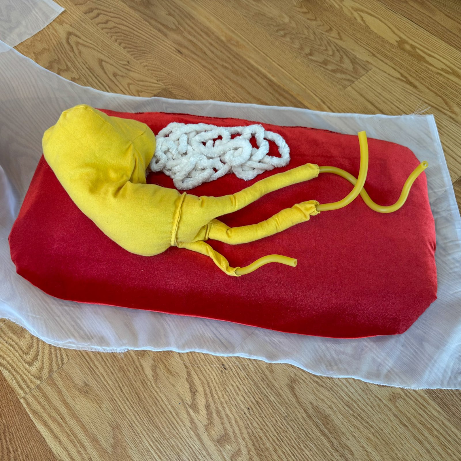 Photo of Personalized Organ, 2025​​​​‌﻿‍﻿​‍​‍‌‍﻿﻿‌﻿​‍‌‍‍‌‌‍‌﻿‌‍‍‌‌‍﻿‍​‍​‍​﻿‍‍​‍​‍‌﻿​﻿‌‍​‌‌‍﻿‍‌‍‍‌‌﻿‌​‌﻿‍‌​‍﻿‍‌‍‍‌‌‍﻿﻿​‍​‍​‍﻿​​‍​‍‌‍‍​‌﻿​‍‌‍‌‌‌‍‌‍​‍​‍​﻿‍‍​‍​‍‌‍‍​‌﻿‌​‌﻿‌​‌﻿​​‌﻿​﻿​﻿‍‍​‍﻿﻿​‍﻿﻿‌‍﻿​‌﻿‌‌‌﻿‌​‌‍‍​‌‍‌‌‌﻿​‍​‍﻿‌‌﻿‌​‌‍‍​‌‍‍‌‌‍‌‌​‍﻿‌‌﻿​​‌‍﻿﻿‌﻿​‍‌﻿‌​‌‍‌‍‌‍﻿﻿‌‍﻿​‌‍‍‌‌‍﻿﻿​‍﻿‍‌﻿​﻿‌‍​‌‌‍﻿‍‌‍‍‌‌﻿‌​‌﻿‍‌​‍﻿‍‌﻿​﻿‌﻿‌​‌﻿‌‌‌‍‌​‌‍‍‌‌‍﻿﻿​‍﻿﻿‌‍‍‌‌‍﻿‍‌﻿‌​‌‍‌‌‌‍﻿‍‌﻿‌​​‍﻿﻿‌‍‌‌‌‍‌​‌‍‍‌‌﻿‌​​‍﻿﻿‌‍﻿‌‌‍﻿﻿‌‍‌​‌‍‌‌​﻿﻿‌‌﻿​​‌﻿​‍‌‍‌‌‌﻿​﻿‌‍‌‌‌‍﻿‍‌﻿‌​‌‍​‌‌﻿‌​‌‍‍‌‌‍﻿﻿‌‍﻿‍​﻿‍﻿‌‍‍‌‌‍‌​​﻿﻿‌‌﻿​​‌‍‌​‌​‍‍‌​​‌‌‌‍‌‌﻿​﻿​﻿​​‌‍​‌‌​‌﻿‌​‌﻿‌‍​‌​﻿‌​‌​‍‍‌‍﻿‍‌‍‍﻿‌‍‌‌‌​﻿‌‌﻿‌﻿‌‌​‍‌‍‍‍‌​​﻿‌​‍‌​﻿‍﻿‌﻿‌​‌﻿‍‌‌﻿​​‌‍‌‌​﻿﻿‌‌﻿‌﻿‌‍﻿﻿‌﻿​‍‌‍‍﻿​﻿‍﻿‌﻿​​‌‍​‌‌﻿‌​‌‍‍​​﻿﻿‌‌‍​﻿‌‍﻿﻿‌‍﻿‍‌﻿‌​‌‍‌‌‌‍﻿‍‌﻿‌​‌​​‍‌‍﻿​‌‍﻿﻿‌‍​﻿‌‍‍﻿‌﻿​﻿​‍‌‌​﻿‌‌‌​​‍‌‌﻿﻿‌‍‍﻿‌‍‌‌‌﻿‍‌​‍‌‌​﻿​﻿‌​‌​​‍‌‌​﻿​﻿‌​‌​​‍‌‌​﻿​‍​﻿​‍‌‍‍‌‌‍﻿‌‌‍​‌‌‍‌﻿‌‍‌‌​‍﻿‌​﻿​‌​﻿‌﻿​﻿‌‍​﻿‍​​﻿‌‍​﻿​‍​﻿​﻿​﻿‌﻿​﻿​​​﻿​﻿​﻿‌﻿​﻿‌‌​﻿‌﻿​‍﻿‌​﻿​‌​‍‌‌​﻿​‍​﻿​‍​‍‌‌​﻿‌‌‌​‌​​‍﻿‍‌‍​‌‌‍﻿​‌﻿‌​​﻿﻿﻿‌‍​‍‌‍​‌‌﻿​﻿‌‍‌‌‌‌‌‌‌﻿​‍‌‍﻿​​﻿﻿‌‌‍‍​‌﻿‌​‌﻿‌​‌﻿​​‌﻿​﻿​‍‌‌​﻿​﻿‌​​‌​‍‌‌​﻿​‍‌​‌‍​‍‌‌​﻿​‍‌​‌‍‌‍﻿​‌﻿‌‌‌﻿‌​‌‍‍​‌‍‌‌‌﻿​‍​‍﻿‌‌﻿‌​‌‍‍​‌‍‍‌‌‍‌‌​‍﻿‌‌﻿​​‌‍﻿﻿‌﻿​‍‌﻿‌​‌‍‌‍‌‍﻿﻿‌‍﻿​‌‍‍‌‌‍﻿﻿​‍﻿‍‌﻿​﻿‌‍​‌‌‍﻿‍‌‍‍‌‌﻿‌​‌﻿‍‌​‍﻿‍‌﻿​﻿‌﻿‌​‌﻿‌‌‌‍‌​‌‍‍‌‌‍﻿﻿​‍‌‍‌‍‍‌‌‍‌​​﻿﻿‌‌﻿​​‌‍‌​‌​‍‍‌​​‌‌‌‍‌‌﻿​﻿​﻿​​‌‍​‌‌​‌﻿‌​‌﻿‌‍​‌​﻿‌​‌​‍‍‌‍﻿‍‌‍‍﻿‌‍‌‌‌​﻿‌‌﻿‌﻿‌‌​‍‌‍‍‍‌​​﻿‌​‍‌​‍‌‍‌﻿‌​‌﻿‍‌‌﻿​​‌‍‌‌​﻿﻿‌‌﻿‌﻿‌‍﻿﻿‌﻿​‍‌‍‍﻿​‍‌‍‌﻿​​‌‍​‌‌﻿‌​‌‍‍​​﻿﻿‌‌‍​﻿‌‍﻿﻿‌‍﻿‍‌﻿‌​‌‍‌‌‌‍﻿‍‌﻿‌​‌​​‍‌‍﻿​‌‍﻿﻿‌‍​﻿‌‍‍﻿‌﻿​﻿​‍‌‌​﻿‌‌‌​​‍‌‌﻿﻿‌‍‍﻿‌‍‌‌‌﻿‍‌​‍‌‌​﻿​﻿‌​‌​​‍‌‌​﻿​﻿‌​‌​​‍‌‌​﻿​‍​﻿​‍‌‍‍‌‌‍﻿‌‌‍​‌‌‍‌﻿‌‍‌‌​‍﻿‌​﻿​‌​﻿‌﻿​﻿‌‍​﻿‍​​﻿‌‍​﻿​‍​﻿​﻿​﻿‌﻿​﻿​​​﻿​﻿​﻿‌﻿​﻿‌‌​﻿‌﻿​‍﻿‌​﻿​‌​‍‌‌​﻿​‍​﻿​‍​‍‌‌​﻿‌‌‌​‌​​‍﻿‍‌‍​‌‌‍﻿​‌﻿‌​​‍‌‍‌﻿​​‌‍‌‌‌﻿​‍‌﻿​﻿‌﻿​​‌‍‌‌‌‍​﻿‌﻿‌​‌‍‍‌‌﻿‌‍‌‍‌‌​﻿﻿‌‌﻿​​‌﻿‌‌‌‍​‍‌‍﻿​‌‍‍‌‌﻿​﻿‌‍‍​‌‍‌‌‌‍‌​​‍​‍‌﻿﻿‌