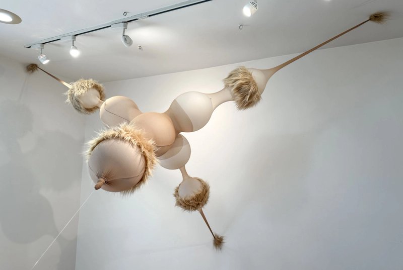 Attendant 2, 2023, pantyhose, balloons, fake fur​​​​‌﻿‍﻿​‍​‍‌‍﻿﻿‌﻿​‍‌‍‍‌‌‍‌﻿‌‍‍‌‌‍﻿‍​‍​‍​﻿‍‍​‍​‍‌﻿​﻿‌‍​‌‌‍﻿‍‌‍‍‌‌﻿‌​‌﻿‍‌​‍﻿‍‌‍‍‌‌‍﻿﻿​‍​‍​‍﻿​​‍​‍‌‍‍​‌﻿​‍‌‍‌‌‌‍‌‍​‍​‍​﻿‍‍​‍​‍‌‍‍​‌﻿‌​‌﻿‌​‌﻿​​‌﻿​﻿​﻿‍‍​‍﻿﻿​‍﻿﻿‌‍﻿​‌﻿‌‌‌﻿‌​‌‍‍​‌‍‌‌‌﻿​‍​‍﻿‌‌﻿‌​‌‍‍​‌‍‍‌‌‍‌‌​‍﻿‌‌﻿​​‌‍﻿﻿‌﻿​‍‌﻿‌​‌‍‌‍‌‍﻿﻿‌‍﻿​‌‍‍‌‌‍﻿﻿​‍﻿‍‌﻿​﻿‌‍​‌‌‍﻿‍‌‍‍‌‌﻿‌​‌﻿‍‌​‍﻿‍‌﻿​﻿‌﻿‌​‌﻿‌‌‌‍‌​‌‍‍‌‌‍﻿﻿​‍﻿﻿‌‍‍‌‌‍﻿‍‌﻿‌​‌‍‌‌‌‍﻿‍‌﻿‌​​‍﻿﻿‌‍‌‌‌‍‌​‌‍‍‌‌﻿‌​​‍﻿﻿‌‍﻿‌‌‍﻿﻿‌‍‌​‌‍‌‌​﻿﻿‌‌﻿​​‌﻿​‍‌‍‌‌‌﻿​﻿‌‍‌‌‌‍﻿‍‌﻿‌​‌‍​‌‌﻿‌​‌‍‍‌‌‍﻿﻿‌‍﻿‍​﻿‍﻿‌‍‍‌‌‍‌​​﻿﻿‌​﻿​﻿‌‍​‌​﻿‍​​﻿​‍​﻿‌‌​﻿​​​﻿‍‌​﻿​‍​‍﻿‌‌‍​‍‌‍​‍​﻿‌﻿​﻿​‍​‍﻿‌​﻿‌​​﻿‌﻿‌‍‌‌‌‍‌‌​‍﻿‌​﻿‍‌​﻿‌‍‌‍​‍​﻿‌‌​‍﻿‌​﻿‌‌​﻿​‌​﻿​​‌‍​‍​﻿​‌​﻿​‌​﻿​​​﻿‍​‌‍‌‍‌‍‌‌​﻿‍‌‌‍​‍​﻿‍﻿‌﻿‌​‌﻿‍‌‌﻿​​‌‍‌‌​﻿﻿‌‌﻿‌﻿‌‍﻿﻿‌﻿​‍‌‍‍﻿​﻿‍﻿‌﻿​​‌‍​‌‌﻿‌​‌‍‍​​﻿﻿‌‌‍​﻿‌‍﻿﻿‌‍﻿‍‌﻿‌​‌‍‌‌‌‍﻿‍‌﻿‌​‌​​‍‌‍﻿​‌‍﻿﻿‌‍​﻿‌‍‍﻿‌﻿​﻿​‍‌‌​﻿‌‌‌​​‍‌‌﻿﻿‌‍‍﻿‌‍‌‌‌﻿‍‌​‍‌‌​﻿​﻿‌​‌​​‍‌‌​﻿​﻿‌​‌​​‍‌‌​﻿​‍​﻿​‍​﻿‍‌​﻿​​‌‍​‍​﻿​‍​﻿‌﻿‌‍​‌​﻿‌​‌‍‌‍‌‍​‌‌‍​‌‌‍​‌‌‍‌​​‍‌‌​﻿​‍​﻿​‍​‍‌‌​﻿‌‌‌​‌​​‍﻿‍‌‍‍‌‌‍﻿‌‌‍​‌‌‍‌﻿‌‍‌‌‌﻿​﻿​‍‌‌​﻿‌‌‌​​‍‌‌﻿﻿‌‍‍﻿‌‍‌‌‌﻿‍‌​‍‌‌​﻿​﻿‌​‌​​‍‌‌​﻿​﻿‌​‌​​‍‌‌​﻿​‍​﻿​‍‌‍​‌‌‍‌‌​﻿​​​﻿‌‍‌‍‌‍​﻿​﻿​﻿‍​​﻿‌﻿​﻿​​​﻿‌‌‌‍‌‍​﻿​​​‍‌‌​﻿​‍​﻿​‍​‍‌‌​﻿‌‌‌​‌​​‍﻿‍‌‍​﻿‌‍​‌‌﻿​​‌﻿‌​‌‍‍‌‌‍﻿﻿‌‍﻿‍​﻿﻿﻿‌‍​‍‌‍​‌‌﻿​﻿‌‍‌‌‌‌‌‌‌﻿​‍‌‍﻿​​﻿﻿‌‌‍‍​‌﻿‌​‌﻿‌​‌﻿​​‌﻿​﻿​‍‌‌​﻿​﻿‌​​‌​‍‌‌​﻿​‍‌​‌‍​‍‌‌​﻿​‍‌​‌‍‌‍﻿​‌﻿‌‌‌﻿‌​‌‍‍​‌‍‌‌‌﻿​‍​‍﻿‌‌﻿‌​‌‍‍​‌‍‍‌‌‍‌‌​‍﻿‌‌﻿​​‌‍﻿﻿‌﻿​‍‌﻿‌​‌‍‌‍‌‍﻿﻿‌‍﻿​‌‍‍‌‌‍﻿﻿​‍﻿‍‌﻿​﻿‌‍​‌‌‍﻿‍‌‍‍‌‌﻿‌​‌﻿‍‌​‍﻿‍‌﻿​﻿‌﻿‌​‌﻿‌‌‌‍‌​‌‍‍‌‌‍﻿﻿​‍‌‍‌‍‍‌‌‍‌​​﻿﻿‌​﻿​﻿‌‍​‌​﻿‍​​﻿​‍​﻿‌‌​﻿​​​﻿‍‌​﻿​‍​‍﻿‌‌‍​‍‌‍​‍​﻿‌﻿​﻿​‍​‍﻿‌​﻿‌​​﻿‌﻿‌‍‌‌‌‍‌‌​‍﻿‌​﻿‍‌​﻿‌‍‌‍​‍​﻿‌‌​‍﻿‌​﻿‌‌​﻿​‌​﻿​​‌‍​‍​﻿​‌​﻿​‌​﻿​​​﻿‍​‌‍‌‍‌‍‌‌​﻿‍‌‌‍​‍​‍‌‍‌﻿‌​‌﻿‍‌‌﻿​​‌‍‌‌​﻿﻿‌‌﻿‌﻿‌‍﻿﻿‌﻿​‍‌‍‍﻿​‍‌‍‌﻿​​‌‍​‌‌﻿‌​‌‍‍​​﻿﻿‌‌‍​﻿‌‍﻿﻿‌‍﻿‍‌﻿‌​‌‍‌‌‌‍﻿‍‌﻿‌​‌​​‍‌‍﻿​‌‍﻿﻿‌‍​﻿‌‍‍﻿‌﻿​﻿​‍‌‌​﻿‌‌‌​​‍‌‌﻿﻿‌‍‍﻿‌‍‌‌‌﻿‍‌​‍‌‌​﻿​﻿‌​‌​​‍‌‌​﻿​﻿‌​‌​​‍‌‌​﻿​‍​﻿​‍​﻿‍‌​﻿​​‌‍​‍​﻿​‍​﻿‌﻿‌‍​‌​﻿‌​‌‍‌‍‌‍​‌‌‍​‌‌‍​‌‌‍‌​​‍‌‌​﻿​‍​﻿​‍​‍‌‌​﻿‌‌‌​‌​​‍﻿‍‌‍‍‌‌‍﻿‌‌‍​‌‌‍‌﻿‌‍‌‌‌﻿​﻿​‍‌‌​﻿‌‌‌​​‍‌‌﻿﻿‌‍‍﻿‌‍‌‌‌﻿‍‌​‍‌‌​﻿​﻿‌​‌​​‍‌‌​﻿​﻿‌​‌​​‍‌‌​﻿​‍​﻿​‍‌‍​‌‌‍‌‌​﻿​​​﻿‌‍‌‍‌‍​﻿​﻿​﻿‍​​﻿‌﻿​﻿​​​﻿‌‌‌‍‌‍​﻿​​​‍‌‌​﻿​‍​﻿​‍​‍‌‌​﻿‌‌‌​‌​​‍﻿‍‌‍​﻿‌‍​‌‌﻿​​‌﻿‌​‌‍‍‌‌‍﻿﻿‌‍﻿‍​‍‌‍‌﻿​​‌‍‌‌‌﻿​‍‌﻿​﻿‌﻿​​‌‍‌‌‌‍​﻿‌﻿‌​‌‍‍‌‌﻿‌‍‌‍‌‌​﻿﻿‌‌﻿​​‌﻿‌‌‌‍​‍‌‍﻿​‌‍‍‌‌﻿​﻿‌‍‍​‌‍‌‌‌‍‌​​‍​‍‌﻿﻿‌