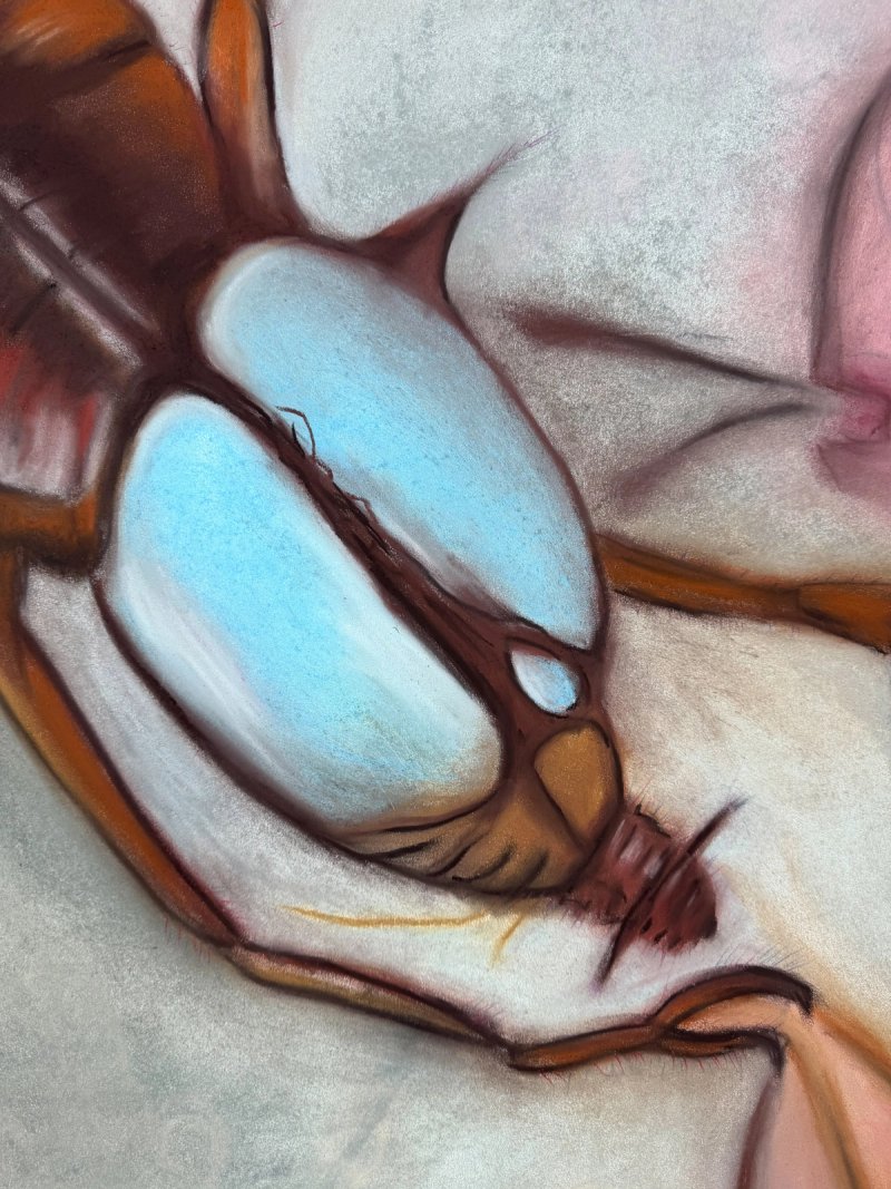 photo of Gravida 1 (detail)
