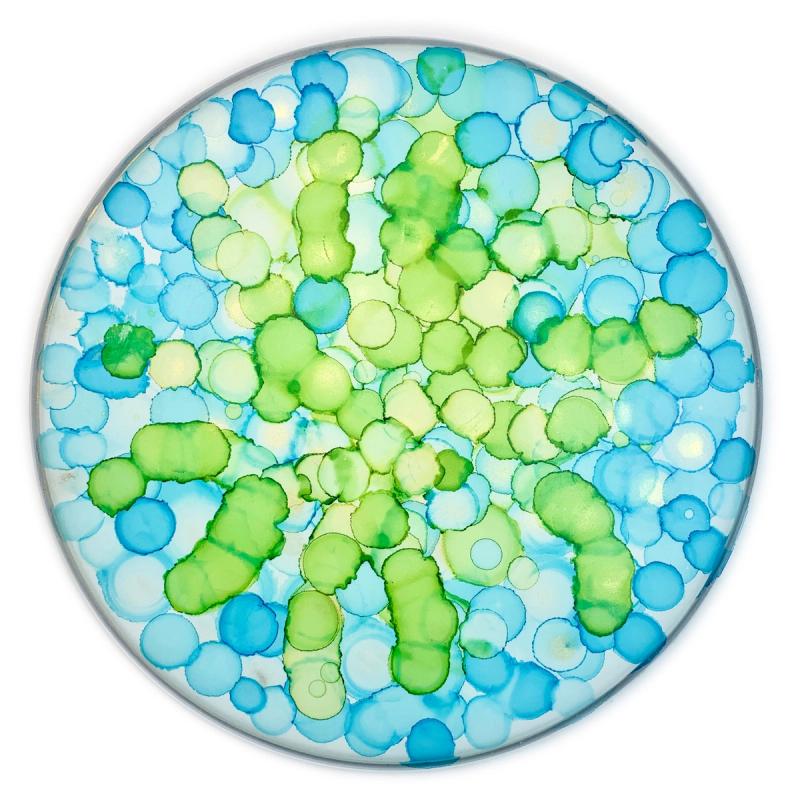 The Feeling is Mutual, 2019​​​​‌﻿‍﻿​‍​‍‌‍﻿﻿‌﻿​‍‌‍‍‌‌‍‌﻿‌‍‍‌‌‍﻿‍​‍​‍​﻿‍‍​‍​‍‌﻿​﻿‌‍​‌‌‍﻿‍‌‍‍‌‌﻿‌​‌﻿‍‌​‍﻿‍‌‍‍‌‌‍﻿﻿​‍​‍​‍﻿​​‍​‍‌‍‍​‌﻿​‍‌‍‌‌‌‍‌‍​‍​‍​﻿‍‍​‍​‍‌‍‍​‌﻿‌​‌﻿‌​‌﻿​​‌﻿​﻿​﻿‍‍​‍﻿﻿​‍﻿﻿‌‍﻿​‌﻿‌‌‌﻿‌​‌‍‍​‌‍‌‌‌﻿​‍​‍﻿‌‌﻿‌​‌‍‍​‌‍‍‌‌‍‌‌​‍﻿‌‌﻿​​‌‍﻿﻿‌﻿​‍‌﻿‌​‌‍‌‍‌‍﻿﻿‌‍﻿​‌‍‍‌‌‍﻿﻿​‍﻿‍‌﻿​﻿‌‍​‌‌‍﻿‍‌‍‍‌‌﻿‌​‌﻿‍‌​‍﻿‍‌﻿​﻿‌﻿‌​‌﻿‌‌‌‍‌​‌‍‍‌‌‍﻿﻿​‍﻿﻿‌‍‍‌‌‍﻿‍‌﻿‌​‌‍‌‌‌‍﻿‍‌﻿‌​​‍﻿﻿‌‍‌‌‌‍‌​‌‍‍‌‌﻿‌​​‍﻿﻿‌‍﻿‌‌‍﻿﻿‌‍‌​‌‍‌‌​﻿﻿‌‌﻿​​‌﻿​‍‌‍‌‌‌﻿​﻿‌‍‌‌‌‍﻿‍‌﻿‌​‌‍​‌‌﻿‌​‌‍‍‌‌‍﻿﻿‌‍﻿‍​﻿‍﻿‌‍‍‌‌‍‌​​﻿﻿‌‌​‌​‌‌‌​‌‍‌‌‌​‌​‌​​﻿‌‌​﻿‌​﻿‍‌‍﻿​‌‍﻿​‌​‌﻿‌‌​‍​﻿​‍‌‌‍‍‌‌​‌‌‍​‍‌​‌​‌‍﻿​‌﻿‌‌‌‌​‌​﻿‌‍‌﻿​﻿‌‌‌‍​﻿‍﻿‌﻿‌​‌﻿‍‌‌﻿​​‌‍‌‌​﻿﻿‌‌﻿‌﻿‌‍﻿﻿‌﻿​‍‌‍‍﻿​﻿‍﻿‌﻿​​‌‍​‌‌﻿‌​‌‍‍​​﻿﻿‌‌﻿‌​‌‍‍‌‌﻿‌​‌‍﻿​‌‍‌‌​﻿﻿﻿‌‍​‍‌‍​‌‌﻿​﻿‌‍‌‌‌‌‌‌‌﻿​‍‌‍﻿​​﻿﻿‌‌‍‍​‌﻿‌​‌﻿‌​‌﻿​​‌﻿​﻿​‍‌‌​﻿​﻿‌​​‌​‍‌‌​﻿​‍‌​‌‍​‍‌‌​﻿​‍‌​‌‍‌‍﻿​‌﻿‌‌‌﻿‌​‌‍‍​‌‍‌‌‌﻿​‍​‍﻿‌‌﻿‌​‌‍‍​‌‍‍‌‌‍‌‌​‍﻿‌‌﻿​​‌‍﻿﻿‌﻿​‍‌﻿‌​‌‍‌‍‌‍﻿﻿‌‍﻿​‌‍‍‌‌‍﻿﻿​‍﻿‍‌﻿​﻿‌‍​‌‌‍﻿‍‌‍‍‌‌﻿‌​‌﻿‍‌​‍﻿‍‌﻿​﻿‌﻿‌​‌﻿‌‌‌‍‌​‌‍‍‌‌‍﻿﻿​‍‌‍‌‍‍‌‌‍‌​​﻿﻿‌‌​‌​‌‌‌​‌‍‌‌‌​‌​‌​​﻿‌‌​﻿‌​﻿‍‌‍﻿​‌‍﻿​‌​‌﻿‌‌​‍​﻿​‍‌‌‍‍‌‌​‌‌‍​‍‌​‌​‌‍﻿​‌﻿‌‌‌‌​‌​﻿‌‍‌﻿​﻿‌‌‌‍​‍‌‍‌﻿‌​‌﻿‍‌‌﻿​​‌‍‌‌​﻿﻿‌‌﻿‌﻿‌‍﻿﻿‌﻿​‍‌‍‍﻿​‍‌‍‌﻿​​‌‍​‌‌﻿‌​‌‍‍​​﻿﻿‌‌﻿‌​‌‍‍‌‌﻿‌​‌‍﻿​‌‍‌‌​‍‌‍‌﻿​​‌‍‌‌‌﻿​‍‌﻿​﻿‌﻿​​‌‍‌‌‌‍​﻿‌﻿‌​‌‍‍‌‌﻿‌‍‌‍‌‌​﻿﻿‌‌﻿​​‌﻿‌‌‌‍​‍‌‍﻿​‌‍‍‌‌﻿​﻿‌‍‍​‌‍‌‌‌‍‌​​‍​‍‌﻿﻿‌