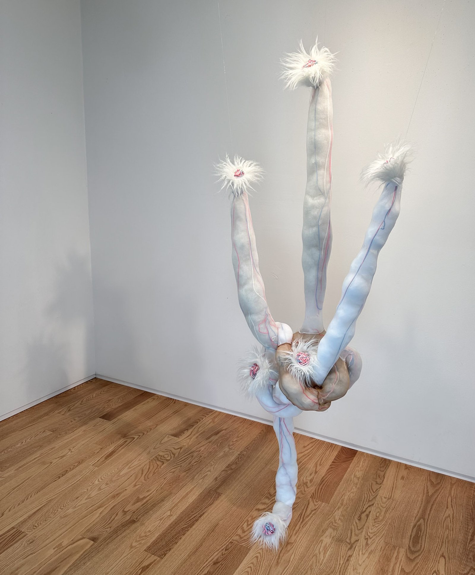 Becoming Invertebrate, 2023​​​​‌﻿‍﻿​‍​‍‌‍﻿﻿‌﻿​‍‌‍‍‌‌‍‌﻿‌‍‍‌‌‍﻿‍​‍​‍​﻿‍‍​‍​‍‌﻿​﻿‌‍​‌‌‍﻿‍‌‍‍‌‌﻿‌​‌﻿‍‌​‍﻿‍‌‍‍‌‌‍﻿﻿​‍​‍​‍﻿​​‍​‍‌‍‍​‌﻿​‍‌‍‌‌‌‍‌‍​‍​‍​﻿‍‍​‍​‍‌‍‍​‌﻿‌​‌﻿‌​‌﻿​​‌﻿​﻿​﻿‍‍​‍﻿﻿​‍﻿﻿‌‍﻿​‌﻿‌‌‌﻿‌​‌‍‍​‌‍‌‌‌﻿​‍​‍﻿‌‌﻿‌​‌‍‍​‌‍‍‌‌‍‌‌​‍﻿‌‌﻿​​‌‍﻿﻿‌﻿​‍‌﻿‌​‌‍‌‍‌‍﻿﻿‌‍﻿​‌‍‍‌‌‍﻿﻿​‍﻿‍‌﻿​﻿‌‍​‌‌‍﻿‍‌‍‍‌‌﻿‌​‌﻿‍‌​‍﻿‍‌﻿​﻿‌﻿‌​‌﻿‌‌‌‍‌​‌‍‍‌‌‍﻿﻿​‍﻿﻿‌‍‍‌‌‍﻿‍‌﻿‌​‌‍‌‌‌‍﻿‍‌﻿‌​​‍﻿﻿‌‍‌‌‌‍‌​‌‍‍‌‌﻿‌​​‍﻿﻿‌‍﻿‌‌‍﻿﻿‌‍‌​‌‍‌‌​﻿﻿‌‌﻿​​‌﻿​‍‌‍‌‌‌﻿​﻿‌‍‌‌‌‍﻿‍‌﻿‌​‌‍​‌‌﻿‌​‌‍‍‌‌‍﻿﻿‌‍﻿‍​﻿‍﻿‌‍‍‌‌‍‌​​﻿﻿‌‌﻿​​‌‍‌​‌​‍‍‌​​‌‌‌‍‌‌﻿​﻿​﻿​​‌‍​‌‌​‌﻿‌​‌﻿‌‍​‌​﻿‌​‌​‍‍‌‍﻿‍‌‍‍﻿‌‍‌‌‌​﻿‌‌﻿‌﻿‌‌​‍‌‌‌‌‌‌​﻿‌‍﻿‍​﻿‍﻿‌﻿‌​‌﻿‍‌‌﻿​​‌‍‌‌​﻿﻿‌‌﻿‌﻿‌‍﻿﻿‌﻿​‍‌‍‍﻿​﻿‍﻿‌﻿​​‌‍​‌‌﻿‌​‌‍‍​​﻿﻿‌‌‍​﻿‌‍﻿﻿‌‍﻿‍‌﻿‌​‌‍‌‌‌‍﻿‍‌﻿‌​‌​​‍‌‍﻿​‌‍﻿﻿‌‍​﻿‌‍‍﻿‌﻿​﻿​‍‌‌​﻿‌‌‌​​‍‌‌﻿﻿‌‍‍﻿‌‍‌‌‌﻿‍‌​‍‌‌​﻿​﻿‌​‌​​‍‌‌​﻿​﻿‌​‌​​‍‌‌​﻿​‍​﻿​‍‌‍‍‌‌‍﻿‌‌‍​‌‌‍‌﻿‌‍‌‌​‍﻿‌​﻿​‌​﻿‌﻿​﻿‌‍​﻿‍​​﻿‌‍​﻿​‍​﻿​﻿​﻿‌‍​﻿‍‌​﻿‍​​﻿‌‍​﻿‍‌​﻿​‌​‍﻿‌​﻿​​​‍‌‌​﻿​‍​﻿​‍​‍‌‌​﻿‌‌‌​‌​​‍﻿‍‌‍​‌‌‍﻿​‌﻿‌​​﻿﻿﻿‌‍​‍‌‍​‌‌﻿​﻿‌‍‌‌‌‌‌‌‌﻿​‍‌‍﻿​​﻿﻿‌‌‍‍​‌﻿‌​‌﻿‌​‌﻿​​‌﻿​﻿​‍‌‌​﻿​﻿‌​​‌​‍‌‌​﻿​‍‌​‌‍​‍‌‌​﻿​‍‌​‌‍‌‍﻿​‌﻿‌‌‌﻿‌​‌‍‍​‌‍‌‌‌﻿​‍​‍﻿‌‌﻿‌​‌‍‍​‌‍‍‌‌‍‌‌​‍﻿‌‌﻿​​‌‍﻿﻿‌﻿​‍‌﻿‌​‌‍‌‍‌‍﻿﻿‌‍﻿​‌‍‍‌‌‍﻿﻿​‍﻿‍‌﻿​﻿‌‍​‌‌‍﻿‍‌‍‍‌‌﻿‌​‌﻿‍‌​‍﻿‍‌﻿​﻿‌﻿‌​‌﻿‌‌‌‍‌​‌‍‍‌‌‍﻿﻿​‍‌‍‌‍‍‌‌‍‌​​﻿﻿‌‌﻿​​‌‍‌​‌​‍‍‌​​‌‌‌‍‌‌﻿​﻿​﻿​​‌‍​‌‌​‌﻿‌​‌﻿‌‍​‌​﻿‌​‌​‍‍‌‍﻿‍‌‍‍﻿‌‍‌‌‌​﻿‌‌﻿‌﻿‌‌​‍‌‌‌‌‌‌​﻿‌‍﻿‍​‍‌‍‌﻿‌​‌﻿‍‌‌﻿​​‌‍‌‌​﻿﻿‌‌﻿‌﻿‌‍﻿﻿‌﻿​‍‌‍‍﻿​‍‌‍‌﻿​​‌‍​‌‌﻿‌​‌‍‍​​﻿﻿‌‌‍​﻿‌‍﻿﻿‌‍﻿‍‌﻿‌​‌‍‌‌‌‍﻿‍‌﻿‌​‌​​‍‌‍﻿​‌‍﻿﻿‌‍​﻿‌‍‍﻿‌﻿​﻿​‍‌‌​﻿‌‌‌​​‍‌‌﻿﻿‌‍‍﻿‌‍‌‌‌﻿‍‌​‍‌‌​﻿​﻿‌​‌​​‍‌‌​﻿​﻿‌​‌​​‍‌‌​﻿​‍​﻿​‍‌‍‍‌‌‍﻿‌‌‍​‌‌‍‌﻿‌‍‌‌​‍﻿‌​﻿​‌​﻿‌﻿​﻿‌‍​﻿‍​​﻿‌‍​﻿​‍​﻿​﻿​﻿‌‍​﻿‍‌​﻿‍​​﻿‌‍​﻿‍‌​﻿​‌​‍﻿‌​﻿​​​‍‌‌​﻿​‍​﻿​‍​‍‌‌​﻿‌‌‌​‌​​‍﻿‍‌‍​‌‌‍﻿​‌﻿‌​​‍‌‍‌﻿​​‌‍‌‌‌﻿​‍‌﻿​﻿‌﻿​​‌‍‌‌‌‍​﻿‌﻿‌​‌‍‍‌‌﻿‌‍‌‍‌‌​﻿﻿‌‌﻿​​‌﻿‌‌‌‍​‍‌‍﻿​‌‍‍‌‌﻿​﻿‌‍‍​‌‍‌‌‌‍‌​​‍​‍‌﻿﻿‌