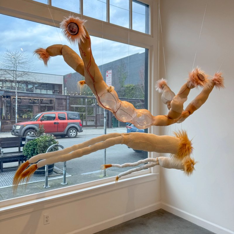 Bedtime Stories for Oankali in Beyond Boundaries exhibition at Mercury 20, Oakland, CA, 2025​​​​‌﻿‍﻿​‍​‍‌‍﻿﻿‌﻿​‍‌‍‍‌‌‍‌﻿‌‍‍‌‌‍﻿‍​‍​‍​﻿‍‍​‍​‍‌﻿​﻿‌‍​‌‌‍﻿‍‌‍‍‌‌﻿‌​‌﻿‍‌​‍﻿‍‌‍‍‌‌‍﻿﻿​‍​‍​‍﻿​​‍​‍‌‍‍​‌﻿​‍‌‍‌‌‌‍‌‍​‍​‍​﻿‍‍​‍​‍‌‍‍​‌﻿‌​‌﻿‌​‌﻿​​‌﻿​﻿​﻿‍‍​‍﻿﻿​‍﻿﻿‌‍﻿​‌﻿‌‌‌﻿‌​‌‍‍​‌‍‌‌‌﻿​‍​‍﻿‌‌﻿‌​‌‍‍​‌‍‍‌‌‍‌‌​‍﻿‌‌﻿​​‌‍﻿﻿‌﻿​‍‌﻿‌​‌‍‌‍‌‍﻿﻿‌‍﻿​‌‍‍‌‌‍﻿﻿​‍﻿‍‌﻿​﻿‌‍​‌‌‍﻿‍‌‍‍‌‌﻿‌​‌﻿‍‌​‍﻿‍‌﻿​﻿‌﻿‌​‌﻿‌‌‌‍‌​‌‍‍‌‌‍﻿﻿​‍﻿﻿‌‍‍‌‌‍﻿‍‌﻿‌​‌‍‌‌‌‍﻿‍‌﻿‌​​‍﻿﻿‌‍‌‌‌‍‌​‌‍‍‌‌﻿‌​​‍﻿﻿‌‍﻿‌‌‍﻿﻿‌‍‌​‌‍‌‌​﻿﻿‌‌﻿​​‌﻿​‍‌‍‌‌‌﻿​﻿‌‍‌‌‌‍﻿‍‌﻿‌​‌‍​‌‌﻿‌​‌‍‍‌‌‍﻿﻿‌‍﻿‍​﻿‍﻿‌‍‍‌‌‍‌​​﻿﻿‌​﻿‍​​﻿‍​​﻿‌‍​﻿‌‍‌‍‌‌​﻿​﻿​﻿​​‌‍​﻿​‍﻿‌​﻿‍‌​﻿‌​​﻿‌﻿‌‍​‌​‍﻿‌​﻿‌​‌‍‌‍​﻿​​​﻿‌​​‍﻿‌‌‍​‍​﻿‌​‌‍‌‌​﻿‍​​‍﻿‌‌‍​‍‌‍‌‍​﻿​‍​﻿‌​‌‍​‍​﻿‍‌​﻿​﻿‌‍‌​​﻿​﻿​﻿‌​​﻿‌﻿​﻿‌​​﻿‍﻿‌﻿‌​‌﻿‍‌‌﻿​​‌‍‌‌​﻿﻿‌‌﻿‌﻿‌‍﻿﻿‌﻿​‍‌‍‍﻿​﻿‍﻿‌﻿​​‌‍​‌‌﻿‌​‌‍‍​​﻿﻿‌‌‍​﻿‌‍﻿﻿‌‍﻿‍‌﻿‌​‌‍‌‌‌‍﻿‍‌﻿‌​‌​​‍‌‍﻿​‌‍﻿﻿‌‍​﻿‌‍‍﻿‌﻿​﻿​‍‌‌​﻿‌‌‌​​‍‌‌﻿﻿‌‍‍﻿‌‍‌‌‌﻿‍‌​‍‌‌​﻿​﻿‌​‌​​‍‌‌​﻿​﻿‌​‌​​‍‌‌​﻿​‍​﻿​‍‌‍‌‍‌‍​‍‌‍‌‍​﻿​‌​﻿‍​​﻿‌﻿​﻿​‍​﻿​‍​﻿​‌‌‍‌‍‌‍​‌​﻿​​​‍‌‌​﻿​‍​﻿​‍​‍‌‌​﻿‌‌‌​‌​​‍﻿‍‌‍‍‌‌‍﻿‌‌‍​‌‌‍‌﻿‌‍‌‌‌﻿​﻿​‍‌‌​﻿‌‌‌​​‍‌‌﻿﻿‌‍‍﻿‌‍‌‌‌﻿‍‌​‍‌‌​﻿​﻿‌​‌​​‍‌‌​﻿​﻿‌​‌​​‍‌‌​﻿​‍​﻿​‍‌‍‌‍‌‍‌​‌‍​‍​﻿‌‍‌‍‌​‌‍‌‍‌‍​‍‌‍​‌‌‍‌​​﻿​‌‌‍‌‍‌‍​﻿​‍‌‌​﻿​‍​﻿​‍​‍‌‌​﻿‌‌‌​‌​​‍﻿‍‌‍​‌‌‍﻿​‌﻿‌​​﻿﻿﻿‌‍​‍‌‍​‌‌﻿​﻿‌‍‌‌‌‌‌‌‌﻿​‍‌‍﻿​​﻿﻿‌‌‍‍​‌﻿‌​‌﻿‌​‌﻿​​‌﻿​﻿​‍‌‌​﻿​﻿‌​​‌​‍‌‌​﻿​‍‌​‌‍​‍‌‌​﻿​‍‌​‌‍‌‍﻿​‌﻿‌‌‌﻿‌​‌‍‍​‌‍‌‌‌﻿​‍​‍﻿‌‌﻿‌​‌‍‍​‌‍‍‌‌‍‌‌​‍﻿‌‌﻿​​‌‍﻿﻿‌﻿​‍‌﻿‌​‌‍‌‍‌‍﻿﻿‌‍﻿​‌‍‍‌‌‍﻿﻿​‍﻿‍‌﻿​﻿‌‍​‌‌‍﻿‍‌‍‍‌‌﻿‌​‌﻿‍‌​‍﻿‍‌﻿​﻿‌﻿‌​‌﻿‌‌‌‍‌​‌‍‍‌‌‍﻿﻿​‍‌‍‌‍‍‌‌‍‌​​﻿﻿‌​﻿‍​​﻿‍​​﻿‌‍​﻿‌‍‌‍‌‌​﻿​﻿​﻿​​‌‍​﻿​‍﻿‌​﻿‍‌​﻿‌​​﻿‌﻿‌‍​‌​‍﻿‌​﻿‌​‌‍‌‍​﻿​​​﻿‌​​‍﻿‌‌‍​‍​﻿‌​‌‍‌‌​﻿‍​​‍﻿‌‌‍​‍‌‍‌‍​﻿​‍​﻿‌​‌‍​‍​﻿‍‌​﻿​﻿‌‍‌​​﻿​﻿​﻿‌​​﻿‌﻿​﻿‌​​‍‌‍‌﻿‌​‌﻿‍‌‌﻿​​‌‍‌‌​﻿﻿‌‌﻿‌﻿‌‍﻿﻿‌﻿​‍‌‍‍﻿​‍‌‍‌﻿​​‌‍​‌‌﻿‌​‌‍‍​​﻿﻿‌‌‍​﻿‌‍﻿﻿‌‍﻿‍‌﻿‌​‌‍‌‌‌‍﻿‍‌﻿‌​‌​​‍‌‍﻿​‌‍﻿﻿‌‍​﻿‌‍‍﻿‌﻿​﻿​‍‌‌​﻿‌‌‌​​‍‌‌﻿﻿‌‍‍﻿‌‍‌‌‌﻿‍‌​‍‌‌​﻿​﻿‌​‌​​‍‌‌​﻿​﻿‌​‌​​‍‌‌​﻿​‍​﻿​‍‌‍‌‍‌‍​‍‌‍‌‍​﻿​‌​﻿‍​​﻿‌﻿​﻿​‍​﻿​‍​﻿​‌‌‍‌‍‌‍​‌​﻿​​​‍‌‌​﻿​‍​﻿​‍​‍‌‌​﻿‌‌‌​‌​​‍﻿‍‌‍‍‌‌‍﻿‌‌‍​‌‌‍‌﻿‌‍‌‌‌﻿​﻿​‍‌‌​﻿‌‌‌​​‍‌‌﻿﻿‌‍‍﻿‌‍‌‌‌﻿‍‌​‍‌‌​﻿​﻿‌​‌​​‍‌‌​﻿​﻿‌​‌​​‍‌‌​﻿​‍​﻿​‍‌‍‌‍‌‍‌​‌‍​‍​﻿‌‍‌‍‌​‌‍‌‍‌‍​‍‌‍​‌‌‍‌​​﻿​‌‌‍‌‍‌‍​﻿​‍‌‌​﻿​‍​﻿​‍​‍‌‌​﻿‌‌‌​‌​​‍﻿‍‌‍​‌‌‍﻿​‌﻿‌​​‍‌‍‌﻿​​‌‍‌‌‌﻿​‍‌﻿​﻿‌﻿​​‌‍‌‌‌‍​﻿‌﻿‌​‌‍‍‌‌﻿‌‍‌‍‌‌​﻿﻿‌‌﻿​​‌﻿‌‌‌‍​‍‌‍﻿​‌‍‍‌‌﻿​﻿‌‍‍​‌‍‌‌‌‍‌​​‍​‍‌﻿﻿‌