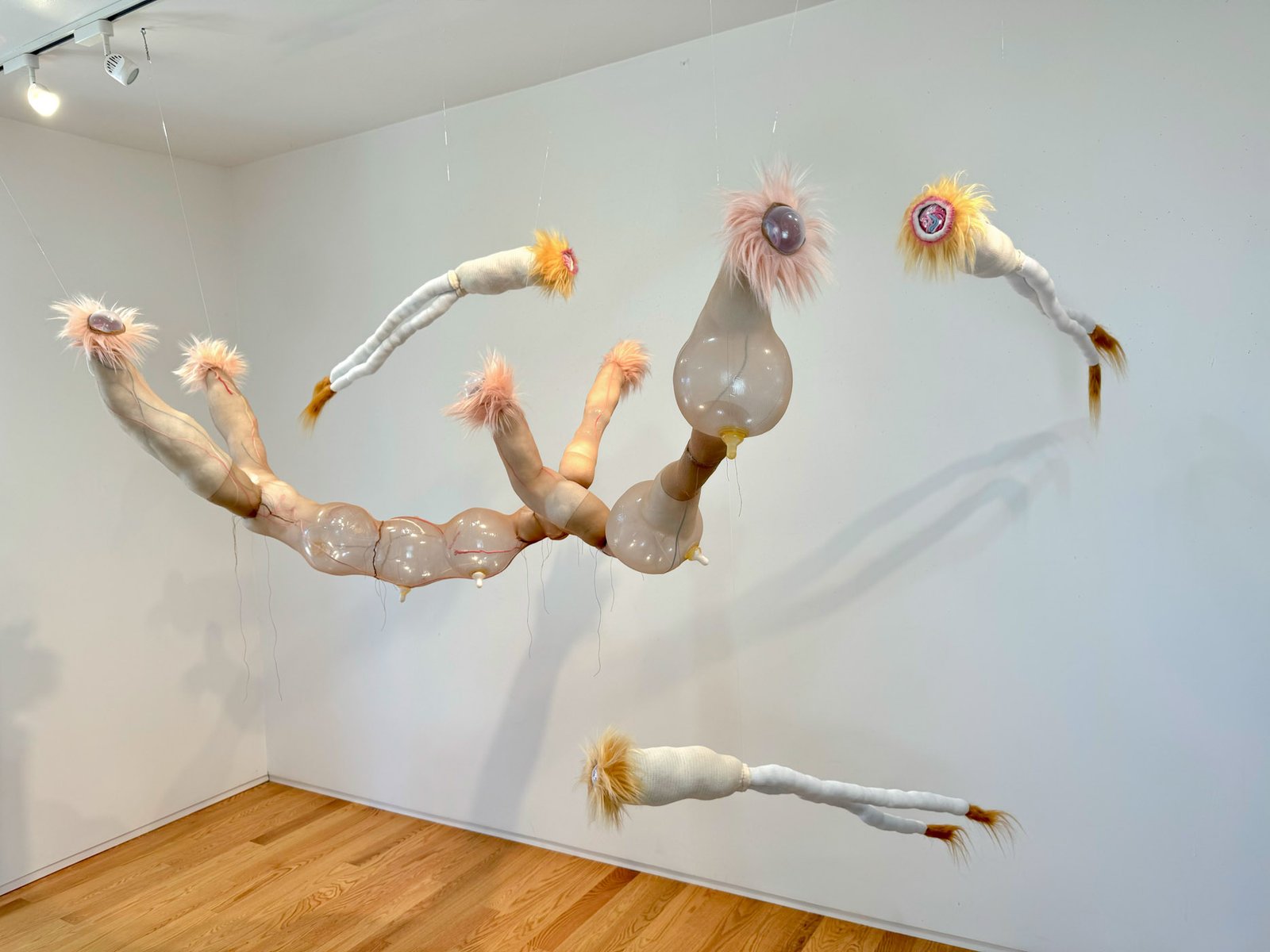 Oankali2​​​​‌﻿‍﻿​‍​‍‌‍﻿﻿‌﻿​‍‌‍‍‌‌‍‌﻿‌‍‍‌‌‍﻿‍​‍​‍​﻿‍‍​‍​‍‌﻿​﻿‌‍​‌‌‍﻿‍‌‍‍‌‌﻿‌​‌﻿‍‌​‍﻿‍‌‍‍‌‌‍﻿﻿​‍​‍​‍﻿​​‍​‍‌‍‍​‌﻿​‍‌‍‌‌‌‍‌‍​‍​‍​﻿‍‍​‍​‍‌‍‍​‌﻿‌​‌﻿‌​‌﻿​​‌﻿​﻿​﻿‍‍​‍﻿﻿​‍﻿﻿‌‍﻿​‌﻿‌‌‌﻿‌​‌‍‍​‌‍‌‌‌﻿​‍​‍﻿‌‌﻿‌​‌‍‍​‌‍‍‌‌‍‌‌​‍﻿‌‌﻿​​‌‍﻿﻿‌﻿​‍‌﻿‌​‌‍‌‍‌‍﻿﻿‌‍﻿​‌‍‍‌‌‍﻿﻿​‍﻿‍‌﻿​﻿‌‍​‌‌‍﻿‍‌‍‍‌‌﻿‌​‌﻿‍‌​‍﻿‍‌﻿​﻿‌﻿‌​‌﻿‌‌‌‍‌​‌‍‍‌‌‍﻿﻿​‍﻿﻿‌‍‍‌‌‍﻿‍‌﻿‌​‌‍‌‌‌‍﻿‍‌﻿‌​​‍﻿﻿‌‍‌‌‌‍‌​‌‍‍‌‌﻿‌​​‍﻿﻿‌‍﻿‌‌‍﻿﻿‌‍‌​‌‍‌‌​﻿﻿‌‌﻿​​‌﻿​‍‌‍‌‌‌﻿​﻿‌‍‌‌‌‍﻿‍‌﻿‌​‌‍​‌‌﻿‌​‌‍‍‌‌‍﻿﻿‌‍﻿‍​﻿‍﻿‌‍‍‌‌‍‌​​﻿﻿‌‌​‌​‌‌‌​‌‍‌‌‌​‌​‌​​﻿‌‌​﻿‌​﻿‍‌‍﻿​‌‍﻿​‌​‌﻿‌‌​‍​﻿​‍‌‌‍‍‌‌​‌‌‍​‍‌​‌​‌‍﻿​‌﻿‌‌‌‌​‌‌​‌‍‌﻿​‍‌﻿‌‍​﻿‍﻿‌﻿‌​‌﻿‍‌‌﻿​​‌‍‌‌​﻿﻿‌‌﻿‌﻿‌‍﻿﻿‌﻿​‍‌‍‍﻿​﻿‍﻿‌﻿​​‌‍​‌‌﻿‌​‌‍‍​​﻿﻿‌‌‍​﻿‌‍﻿﻿‌‍﻿‍‌﻿‌​‌‍‌‌‌‍﻿‍‌﻿‌​‌​​‍‌‍﻿​‌‍﻿﻿‌‍​﻿‌‍‍﻿‌﻿​﻿​‍‌‌​﻿‌‌‌​​‍‌‌﻿﻿‌‍‍﻿‌‍‌‌‌﻿‍‌​‍‌‌​﻿​﻿‌​‌​​‍‌‌​﻿​﻿‌​‌​​‍‌‌​﻿​‍​﻿​‍‌‍‍‌‌‍﻿‌‌‍​‌‌‍‌﻿‌‍‌‌​‍﻿‌​﻿​‌​﻿‌﻿​﻿‌‍​﻿‍​​﻿‌‍​﻿​‍​﻿​﻿​﻿‌‍​﻿‌‍​﻿‍‌​﻿​​​﻿‌​​﻿​‌​‍﻿‌​﻿​​​‍‌‌​﻿​‍​﻿​‍​‍‌‌​﻿‌‌‌​‌​​‍﻿‍‌‍​‌‌‍﻿​‌﻿‌​​﻿﻿﻿‌‍​‍‌‍​‌‌﻿​﻿‌‍‌‌‌‌‌‌‌﻿​‍‌‍﻿​​﻿﻿‌‌‍‍​‌﻿‌​‌﻿‌​‌﻿​​‌﻿​﻿​‍‌‌​﻿​﻿‌​​‌​‍‌‌​﻿​‍‌​‌‍​‍‌‌​﻿​‍‌​‌‍‌‍﻿​‌﻿‌‌‌﻿‌​‌‍‍​‌‍‌‌‌﻿​‍​‍﻿‌‌﻿‌​‌‍‍​‌‍‍‌‌‍‌‌​‍﻿‌‌﻿​​‌‍﻿﻿‌﻿​‍‌﻿‌​‌‍‌‍‌‍﻿﻿‌‍﻿​‌‍‍‌‌‍﻿﻿​‍﻿‍‌﻿​﻿‌‍​‌‌‍﻿‍‌‍‍‌‌﻿‌​‌﻿‍‌​‍﻿‍‌﻿​﻿‌﻿‌​‌﻿‌‌‌‍‌​‌‍‍‌‌‍﻿﻿​‍‌‍‌‍‍‌‌‍‌​​﻿﻿‌‌​‌​‌‌‌​‌‍‌‌‌​‌​‌​​﻿‌‌​﻿‌​﻿‍‌‍﻿​‌‍﻿​‌​‌﻿‌‌​‍​﻿​‍‌‌‍‍‌‌​‌‌‍​‍‌​‌​‌‍﻿​‌﻿‌‌‌‌​‌‌​‌‍‌﻿​‍‌﻿‌‍​‍‌‍‌﻿‌​‌﻿‍‌‌﻿​​‌‍‌‌​﻿﻿‌‌﻿‌﻿‌‍﻿﻿‌﻿​‍‌‍‍﻿​‍‌‍‌﻿​​‌‍​‌‌﻿‌​‌‍‍​​﻿﻿‌‌‍​﻿‌‍﻿﻿‌‍﻿‍‌﻿‌​‌‍‌‌‌‍﻿‍‌﻿‌​‌​​‍‌‍﻿​‌‍﻿﻿‌‍​﻿‌‍‍﻿‌﻿​﻿​‍‌‌​﻿‌‌‌​​‍‌‌﻿﻿‌‍‍﻿‌‍‌‌‌﻿‍‌​‍‌‌​﻿​﻿‌​‌​​‍‌‌​﻿​﻿‌​‌​​‍‌‌​﻿​‍​﻿​‍‌‍‍‌‌‍﻿‌‌‍​‌‌‍‌﻿‌‍‌‌​‍﻿‌​﻿​‌​﻿‌﻿​﻿‌‍​﻿‍​​﻿‌‍​﻿​‍​﻿​﻿​﻿‌‍​﻿‌‍​﻿‍‌​﻿​​​﻿‌​​﻿​‌​‍﻿‌​﻿​​​‍‌‌​﻿​‍​﻿​‍​‍‌‌​﻿‌‌‌​‌​​‍﻿‍‌‍​‌‌‍﻿​‌﻿‌​​‍‌‍‌﻿​​‌‍‌‌‌﻿​‍‌﻿​﻿‌﻿​​‌‍‌‌‌‍​﻿‌﻿‌​‌‍‍‌‌﻿‌‍‌‍‌‌​﻿﻿‌‌﻿​​‌﻿‌‌‌‍​‍‌‍﻿​‌‍‍‌‌﻿​﻿‌‍‍​‌‍‌‌‌‍‌​​‍​‍‌﻿﻿‌