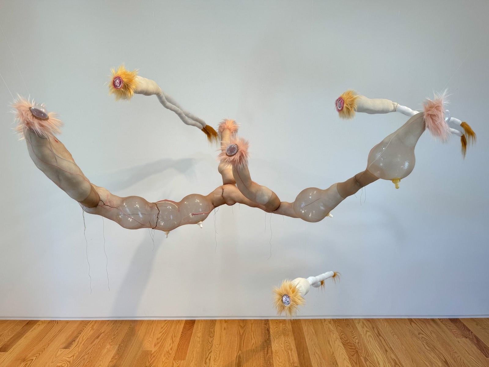 oankali2-4​​​​‌﻿‍﻿​‍​‍‌‍﻿﻿‌﻿​‍‌‍‍‌‌‍‌﻿‌‍‍‌‌‍﻿‍​‍​‍​﻿‍‍​‍​‍‌﻿​﻿‌‍​‌‌‍﻿‍‌‍‍‌‌﻿‌​‌﻿‍‌​‍﻿‍‌‍‍‌‌‍﻿﻿​‍​‍​‍﻿​​‍​‍‌‍‍​‌﻿​‍‌‍‌‌‌‍‌‍​‍​‍​﻿‍‍​‍​‍‌‍‍​‌﻿‌​‌﻿‌​‌﻿​​‌﻿​﻿​﻿‍‍​‍﻿﻿​‍﻿﻿‌‍﻿​‌﻿‌‌‌﻿‌​‌‍‍​‌‍‌‌‌﻿​‍​‍﻿‌‌﻿‌​‌‍‍​‌‍‍‌‌‍‌‌​‍﻿‌‌﻿​​‌‍﻿﻿‌﻿​‍‌﻿‌​‌‍‌‍‌‍﻿﻿‌‍﻿​‌‍‍‌‌‍﻿﻿​‍﻿‍‌﻿​﻿‌‍​‌‌‍﻿‍‌‍‍‌‌﻿‌​‌﻿‍‌​‍﻿‍‌﻿​﻿‌﻿‌​‌﻿‌‌‌‍‌​‌‍‍‌‌‍﻿﻿​‍﻿﻿‌‍‍‌‌‍﻿‍‌﻿‌​‌‍‌‌‌‍﻿‍‌﻿‌​​‍﻿﻿‌‍‌‌‌‍‌​‌‍‍‌‌﻿‌​​‍﻿﻿‌‍﻿‌‌‍﻿﻿‌‍‌​‌‍‌‌​﻿﻿‌‌﻿​​‌﻿​‍‌‍‌‌‌﻿​﻿‌‍‌‌‌‍﻿‍‌﻿‌​‌‍​‌‌﻿‌​‌‍‍‌‌‍﻿﻿‌‍﻿‍​﻿‍﻿‌‍‍‌‌‍‌​​﻿﻿‌‌​‌​‌‌‌​‌‍‌‌‌​‌​‌​​﻿‌‌​﻿‌​﻿‍‌‍﻿​‌‍﻿​‌​‌﻿‌‌​‍​﻿​‍‌‌‍‍‌‌​‌‌‍​‍‌​‌​‌‍﻿​‌﻿‌‌‌‌​‌‌​‌‍‌﻿​‍‌﻿‌‍​﻿‍﻿‌﻿‌​‌﻿‍‌‌﻿​​‌‍‌‌​﻿﻿‌‌﻿‌﻿‌‍﻿﻿‌﻿​‍‌‍‍﻿​﻿‍﻿‌﻿​​‌‍​‌‌﻿‌​‌‍‍​​﻿﻿‌‌‍​﻿‌‍﻿﻿‌‍﻿‍‌﻿‌​‌‍‌‌‌‍﻿‍‌﻿‌​‌​​‍‌‍﻿​‌‍﻿﻿‌‍​﻿‌‍‍﻿‌﻿​﻿​‍‌‌​﻿‌‌‌​​‍‌‌﻿﻿‌‍‍﻿‌‍‌‌‌﻿‍‌​‍‌‌​﻿​﻿‌​‌​​‍‌‌​﻿​﻿‌​‌​​‍‌‌​﻿​‍​﻿​‍‌‍‍‌‌‍﻿‌‌‍​‌‌‍‌﻿‌‍‌‌​‍﻿‌​﻿​‌​﻿‌﻿​﻿‌‍​﻿‍​​﻿‌‍​﻿​‍​﻿​﻿​﻿‌‍​﻿‌‍​﻿‍‌​﻿​​​﻿‌​​﻿​‌​‍﻿‌​﻿‌​​‍‌‌​﻿​‍​﻿​‍​‍‌‌​﻿‌‌‌​‌​​‍﻿‍‌‍​‌‌‍﻿​‌﻿‌​​﻿﻿﻿‌‍​‍‌‍​‌‌﻿​﻿‌‍‌‌‌‌‌‌‌﻿​‍‌‍﻿​​﻿﻿‌‌‍‍​‌﻿‌​‌﻿‌​‌﻿​​‌﻿​﻿​‍‌‌​﻿​﻿‌​​‌​‍‌‌​﻿​‍‌​‌‍​‍‌‌​﻿​‍‌​‌‍‌‍﻿​‌﻿‌‌‌﻿‌​‌‍‍​‌‍‌‌‌﻿​‍​‍﻿‌‌﻿‌​‌‍‍​‌‍‍‌‌‍‌‌​‍﻿‌‌﻿​​‌‍﻿﻿‌﻿​‍‌﻿‌​‌‍‌‍‌‍﻿﻿‌‍﻿​‌‍‍‌‌‍﻿﻿​‍﻿‍‌﻿​﻿‌‍​‌‌‍﻿‍‌‍‍‌‌﻿‌​‌﻿‍‌​‍﻿‍‌﻿​﻿‌﻿‌​‌﻿‌‌‌‍‌​‌‍‍‌‌‍﻿﻿​‍‌‍‌‍‍‌‌‍‌​​﻿﻿‌‌​‌​‌‌‌​‌‍‌‌‌​‌​‌​​﻿‌‌​﻿‌​﻿‍‌‍﻿​‌‍﻿​‌​‌﻿‌‌​‍​﻿​‍‌‌‍‍‌‌​‌‌‍​‍‌​‌​‌‍﻿​‌﻿‌‌‌‌​‌‌​‌‍‌﻿​‍‌﻿‌‍​‍‌‍‌﻿‌​‌﻿‍‌‌﻿​​‌‍‌‌​﻿﻿‌‌﻿‌﻿‌‍﻿﻿‌﻿​‍‌‍‍﻿​‍‌‍‌﻿​​‌‍​‌‌﻿‌​‌‍‍​​﻿﻿‌‌‍​﻿‌‍﻿﻿‌‍﻿‍‌﻿‌​‌‍‌‌‌‍﻿‍‌﻿‌​‌​​‍‌‍﻿​‌‍﻿﻿‌‍​﻿‌‍‍﻿‌﻿​﻿​‍‌‌​﻿‌‌‌​​‍‌‌﻿﻿‌‍‍﻿‌‍‌‌‌﻿‍‌​‍‌‌​﻿​﻿‌​‌​​‍‌‌​﻿​﻿‌​‌​​‍‌‌​﻿​‍​﻿​‍‌‍‍‌‌‍﻿‌‌‍​‌‌‍‌﻿‌‍‌‌​‍﻿‌​﻿​‌​﻿‌﻿​﻿‌‍​﻿‍​​﻿‌‍​﻿​‍​﻿​﻿​﻿‌‍​﻿‌‍​﻿‍‌​﻿​​​﻿‌​​﻿​‌​‍﻿‌​﻿‌​​‍‌‌​﻿​‍​﻿​‍​‍‌‌​﻿‌‌‌​‌​​‍﻿‍‌‍​‌‌‍﻿​‌﻿‌​​‍‌‍‌﻿​​‌‍‌‌‌﻿​‍‌﻿​﻿‌﻿​​‌‍‌‌‌‍​﻿‌﻿‌​‌‍‍‌‌﻿‌‍‌‍‌‌​﻿﻿‌‌﻿​​‌﻿‌‌‌‍​‍‌‍﻿​‌‍‍‌‌﻿​﻿‌‍‍​‌‍‌‌‌‍‌​​‍​‍‌﻿﻿‌