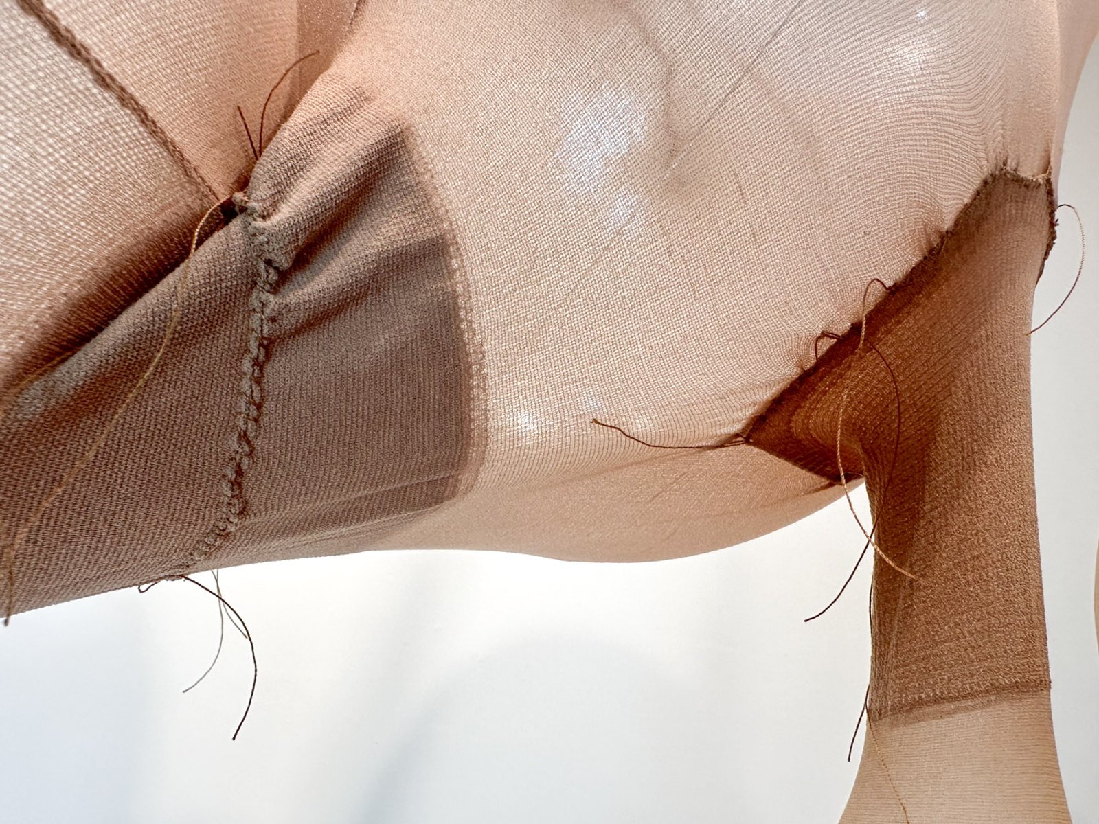 Fermentation Rig v2, 2023​​​​‌﻿‍﻿​‍​‍‌‍﻿﻿‌﻿​‍‌‍‍‌‌‍‌﻿‌‍‍‌‌‍﻿‍​‍​‍​﻿‍‍​‍​‍‌﻿​﻿‌‍​‌‌‍﻿‍‌‍‍‌‌﻿‌​‌﻿‍‌​‍﻿‍‌‍‍‌‌‍﻿﻿​‍​‍​‍﻿​​‍​‍‌‍‍​‌﻿​‍‌‍‌‌‌‍‌‍​‍​‍​﻿‍‍​‍​‍‌‍‍​‌﻿‌​‌﻿‌​‌﻿​​‌﻿​﻿​﻿‍‍​‍﻿﻿​‍﻿﻿‌‍﻿​‌﻿‌‌‌﻿‌​‌‍‍​‌‍‌‌‌﻿​‍​‍﻿‌‌﻿‌​‌‍‍​‌‍‍‌‌‍‌‌​‍﻿‌‌﻿​​‌‍﻿﻿‌﻿​‍‌﻿‌​‌‍‌‍‌‍﻿﻿‌‍﻿​‌‍‍‌‌‍﻿﻿​‍﻿‍‌﻿​﻿‌‍​‌‌‍﻿‍‌‍‍‌‌﻿‌​‌﻿‍‌​‍﻿‍‌﻿​﻿‌﻿‌​‌﻿‌‌‌‍‌​‌‍‍‌‌‍﻿﻿​‍﻿﻿‌‍‍‌‌‍﻿‍‌﻿‌​‌‍‌‌‌‍﻿‍‌﻿‌​​‍﻿﻿‌‍‌‌‌‍‌​‌‍‍‌‌﻿‌​​‍﻿﻿‌‍﻿‌‌‍﻿﻿‌‍‌​‌‍‌‌​﻿﻿‌‌﻿​​‌﻿​‍‌‍‌‌‌﻿​﻿‌‍‌‌‌‍﻿‍‌﻿‌​‌‍​‌‌﻿‌​‌‍‍‌‌‍﻿﻿‌‍﻿‍​﻿‍﻿‌‍‍‌‌‍‌​​﻿﻿‌‌﻿​​‌‍‌​‌​‍‍‌​​‌‌‌‍‌‌﻿​﻿​﻿​​‌‍​‌‌​‌﻿‌​‌﻿‌‍​‌​﻿‌​‌​‍‍‌‍﻿‍‌‍‍﻿‌‍‌‌‌​﻿‌‌﻿‌﻿‌‌​‍‌‌‌‌‌﻿‍‌‌​‍‌​﻿‍﻿‌﻿‌​‌﻿‍‌‌﻿​​‌‍‌‌​﻿﻿‌‌﻿‌﻿‌‍﻿﻿‌﻿​‍‌‍‍﻿​﻿‍﻿‌﻿​​‌‍​‌‌﻿‌​‌‍‍​​﻿﻿‌‌‍​﻿‌‍﻿﻿‌‍﻿‍‌﻿‌​‌‍‌‌‌‍﻿‍‌﻿‌​‌​​‍‌‍﻿​‌‍﻿﻿‌‍​﻿‌‍‍﻿‌﻿​﻿​‍‌‌​﻿‌‌‌​​‍‌‌﻿﻿‌‍‍﻿‌‍‌‌‌﻿‍‌​‍‌‌​﻿​﻿‌​‌​​‍‌‌​﻿​﻿‌​‌​​‍‌‌​﻿​‍​﻿​‍‌‍‍‌‌‍﻿‌‌‍​‌‌‍‌﻿‌‍‌‌​‍﻿‌​﻿​‌​﻿‌﻿​﻿‌‍​﻿‍​​﻿‌‍​﻿​‍​﻿​﻿​﻿‌‍​﻿‍‌​﻿‍‌​﻿‌﻿​﻿​‌​﻿​﻿​‍﻿‌​﻿‌​​‍‌‌​﻿​‍​﻿​‍​‍‌‌​﻿‌‌‌​‌​​‍﻿‍‌‍​‌‌‍﻿​‌﻿‌​​﻿﻿﻿‌‍​‍‌‍​‌‌﻿​﻿‌‍‌‌‌‌‌‌‌﻿​‍‌‍﻿​​﻿﻿‌‌‍‍​‌﻿‌​‌﻿‌​‌﻿​​‌﻿​﻿​‍‌‌​﻿​﻿‌​​‌​‍‌‌​﻿​‍‌​‌‍​‍‌‌​﻿​‍‌​‌‍‌‍﻿​‌﻿‌‌‌﻿‌​‌‍‍​‌‍‌‌‌﻿​‍​‍﻿‌‌﻿‌​‌‍‍​‌‍‍‌‌‍‌‌​‍﻿‌‌﻿​​‌‍﻿﻿‌﻿​‍‌﻿‌​‌‍‌‍‌‍﻿﻿‌‍﻿​‌‍‍‌‌‍﻿﻿​‍﻿‍‌﻿​﻿‌‍​‌‌‍﻿‍‌‍‍‌‌﻿‌​‌﻿‍‌​‍﻿‍‌﻿​﻿‌﻿‌​‌﻿‌‌‌‍‌​‌‍‍‌‌‍﻿﻿​‍‌‍‌‍‍‌‌‍‌​​﻿﻿‌‌﻿​​‌‍‌​‌​‍‍‌​​‌‌‌‍‌‌﻿​﻿​﻿​​‌‍​‌‌​‌﻿‌​‌﻿‌‍​‌​﻿‌​‌​‍‍‌‍﻿‍‌‍‍﻿‌‍‌‌‌​﻿‌‌﻿‌﻿‌‌​‍‌‌‌‌‌﻿‍‌‌​‍‌​‍‌‍‌﻿‌​‌﻿‍‌‌﻿​​‌‍‌‌​﻿﻿‌‌﻿‌﻿‌‍﻿﻿‌﻿​‍‌‍‍﻿​‍‌‍‌﻿​​‌‍​‌‌﻿‌​‌‍‍​​﻿﻿‌‌‍​﻿‌‍﻿﻿‌‍﻿‍‌﻿‌​‌‍‌‌‌‍﻿‍‌﻿‌​‌​​‍‌‍﻿​‌‍﻿﻿‌‍​﻿‌‍‍﻿‌﻿​﻿​‍‌‌​﻿‌‌‌​​‍‌‌﻿﻿‌‍‍﻿‌‍‌‌‌﻿‍‌​‍‌‌​﻿​﻿‌​‌​​‍‌‌​﻿​﻿‌​‌​​‍‌‌​﻿​‍​﻿​‍‌‍‍‌‌‍﻿‌‌‍​‌‌‍‌﻿‌‍‌‌​‍﻿‌​﻿​‌​﻿‌﻿​﻿‌‍​﻿‍​​﻿‌‍​﻿​‍​﻿​﻿​﻿‌‍​﻿‍‌​﻿‍‌​﻿‌﻿​﻿​‌​﻿​﻿​‍﻿‌​﻿‌​​‍‌‌​﻿​‍​﻿​‍​‍‌‌​﻿‌‌‌​‌​​‍﻿‍‌‍​‌‌‍﻿​‌﻿‌​​‍‌‍‌﻿​​‌‍‌‌‌﻿​‍‌﻿​﻿‌﻿​​‌‍‌‌‌‍​﻿‌﻿‌​‌‍‍‌‌﻿‌‍‌‍‌‌​﻿﻿‌‌﻿​​‌﻿‌‌‌‍​‍‌‍﻿​‌‍‍‌‌﻿​﻿‌‍‍​‌‍‌‌‌‍‌​​‍​‍‌﻿﻿‌