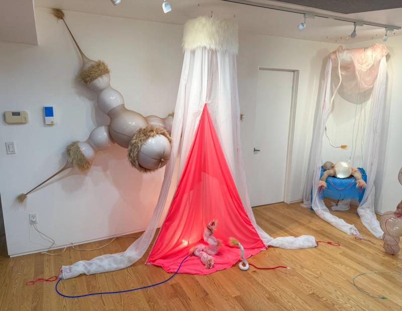 Neonatal Boudoir (v2), 2026​​​​‌﻿‍﻿​‍​‍‌‍﻿﻿‌﻿​‍‌‍‍‌‌‍‌﻿‌‍‍‌‌‍﻿‍​‍​‍​﻿‍‍​‍​‍‌﻿​﻿‌‍​‌‌‍﻿‍‌‍‍‌‌﻿‌​‌﻿‍‌​‍﻿‍‌‍‍‌‌‍﻿﻿​‍​‍​‍﻿​​‍​‍‌‍‍​‌﻿​‍‌‍‌‌‌‍‌‍​‍​‍​﻿‍‍​‍​‍‌‍‍​‌﻿‌​‌﻿‌​‌﻿​​‌﻿​﻿​﻿‍‍​‍﻿﻿​‍﻿﻿‌‍﻿​‌﻿‌‌‌﻿‌​‌‍‍​‌‍‌‌‌﻿​‍​‍﻿‌‌﻿‌​‌‍‍​‌‍‍‌‌‍‌‌​‍﻿‌‌﻿​​‌‍﻿﻿‌﻿​‍‌﻿‌​‌‍‌‍‌‍﻿﻿‌‍﻿​‌‍‍‌‌‍﻿﻿​‍﻿‍‌﻿​﻿‌‍​‌‌‍﻿‍‌‍‍‌‌﻿‌​‌﻿‍‌​‍﻿‍‌﻿​﻿‌﻿‌​‌﻿‌‌‌‍‌​‌‍‍‌‌‍﻿﻿​‍﻿﻿‌‍‍‌‌‍﻿‍‌﻿‌​‌‍‌‌‌‍﻿‍‌﻿‌​​‍﻿﻿‌‍‌‌‌‍‌​‌‍‍‌‌﻿‌​​‍﻿﻿‌‍﻿‌‌‍﻿﻿‌‍‌​‌‍‌‌​﻿﻿‌‌﻿​​‌﻿​‍‌‍‌‌‌﻿​﻿‌‍‌‌‌‍﻿‍‌﻿‌​‌‍​‌‌﻿‌​‌‍‍‌‌‍﻿﻿‌‍﻿‍​﻿‍﻿‌‍‍‌‌‍‌​​﻿﻿‌‌﻿​​‌‍‌​‌​‍‍‌​​‌‌‌‍‌‌﻿​﻿​﻿​​‌‍​‌‌​‌﻿‌​‌﻿‌‍​‌​﻿‌​‌​‍‍‌‍﻿‍‌‍‍﻿‌‍‌‌‌​﻿‌‌﻿‌﻿‌‌​‍‌‍﻿‌‌‌​﻿‌‍﻿‍​﻿‍﻿‌﻿‌​‌﻿‍‌‌﻿​​‌‍‌‌​﻿﻿‌‌﻿‌﻿‌‍﻿﻿‌﻿​‍‌‍‍﻿​﻿‍﻿‌﻿​​‌‍​‌‌﻿‌​‌‍‍​​﻿﻿‌‌﻿‌​‌‍‍‌‌﻿‌​‌‍﻿​‌‍‌‌​﻿﻿﻿‌‍​‍‌‍​‌‌﻿​﻿‌‍‌‌‌‌‌‌‌﻿​‍‌‍﻿​​﻿﻿‌‌‍‍​‌﻿‌​‌﻿‌​‌﻿​​‌﻿​﻿​‍‌‌​﻿​﻿‌​​‌​‍‌‌​﻿​‍‌​‌‍​‍‌‌​﻿​‍‌​‌‍‌‍﻿​‌﻿‌‌‌﻿‌​‌‍‍​‌‍‌‌‌﻿​‍​‍﻿‌‌﻿‌​‌‍‍​‌‍‍‌‌‍‌‌​‍﻿‌‌﻿​​‌‍﻿﻿‌﻿​‍‌﻿‌​‌‍‌‍‌‍﻿﻿‌‍﻿​‌‍‍‌‌‍﻿﻿​‍﻿‍‌﻿​﻿‌‍​‌‌‍﻿‍‌‍‍‌‌﻿‌​‌﻿‍‌​‍﻿‍‌﻿​﻿‌﻿‌​‌﻿‌‌‌‍‌​‌‍‍‌‌‍﻿﻿​‍‌‍‌‍‍‌‌‍‌​​﻿﻿‌‌﻿​​‌‍‌​‌​‍‍‌​​‌‌‌‍‌‌﻿​﻿​﻿​​‌‍​‌‌​‌﻿‌​‌﻿‌‍​‌​﻿‌​‌​‍‍‌‍﻿‍‌‍‍﻿‌‍‌‌‌​﻿‌‌﻿‌﻿‌‌​‍‌‍﻿‌‌‌​﻿‌‍﻿‍​‍‌‍‌﻿‌​‌﻿‍‌‌﻿​​‌‍‌‌​﻿﻿‌‌﻿‌﻿‌‍﻿﻿‌﻿​‍‌‍‍﻿​‍‌‍‌﻿​​‌‍​‌‌﻿‌​‌‍‍​​﻿﻿‌‌﻿‌​‌‍‍‌‌﻿‌​‌‍﻿​‌‍‌‌​‍‌‍‌﻿​​‌‍‌‌‌﻿​‍‌﻿​﻿‌﻿​​‌‍‌‌‌‍​﻿‌﻿‌​‌‍‍‌‌﻿‌‍‌‍‌‌​﻿﻿‌‌﻿​​‌﻿‌‌‌‍​‍‌‍﻿​‌‍‍‌‌﻿​﻿‌‍‍​‌‍‌‌‌‍‌​​‍​‍‌﻿﻿‌