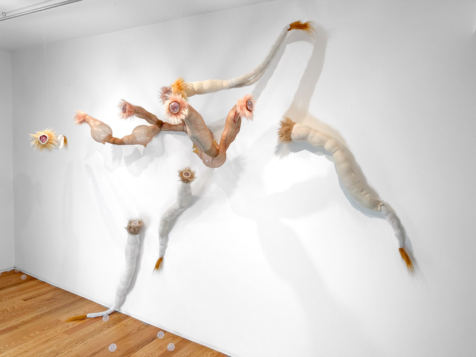 Gut Bugs, 2023​​​​‌﻿‍﻿​‍​‍‌‍﻿﻿‌﻿​‍‌‍‍‌‌‍‌﻿‌‍‍‌‌‍﻿‍​‍​‍​﻿‍‍​‍​‍‌﻿​﻿‌‍​‌‌‍﻿‍‌‍‍‌‌﻿‌​‌﻿‍‌​‍﻿‍‌‍‍‌‌‍﻿﻿​‍​‍​‍﻿​​‍​‍‌‍‍​‌﻿​‍‌‍‌‌‌‍‌‍​‍​‍​﻿‍‍​‍​‍‌‍‍​‌﻿‌​‌﻿‌​‌﻿​​‌﻿​﻿​﻿‍‍​‍﻿﻿​‍﻿﻿‌‍﻿​‌﻿‌‌‌﻿‌​‌‍‍​‌‍‌‌‌﻿​‍​‍﻿‌‌﻿‌​‌‍‍​‌‍‍‌‌‍‌‌​‍﻿‌‌﻿​​‌‍﻿﻿‌﻿​‍‌﻿‌​‌‍‌‍‌‍﻿﻿‌‍﻿​‌‍‍‌‌‍﻿﻿​‍﻿‍‌﻿​﻿‌‍​‌‌‍﻿‍‌‍‍‌‌﻿‌​‌﻿‍‌​‍﻿‍‌﻿​﻿‌﻿‌​‌﻿‌‌‌‍‌​‌‍‍‌‌‍﻿﻿​‍﻿﻿‌‍‍‌‌‍﻿‍‌﻿‌​‌‍‌‌‌‍﻿‍‌﻿‌​​‍﻿﻿‌‍‌‌‌‍‌​‌‍‍‌‌﻿‌​​‍﻿﻿‌‍﻿‌‌‍﻿﻿‌‍‌​‌‍‌‌​﻿﻿‌‌﻿​​‌﻿​‍‌‍‌‌‌﻿​﻿‌‍‌‌‌‍﻿‍‌﻿‌​‌‍​‌‌﻿‌​‌‍‍‌‌‍﻿﻿‌‍﻿‍​﻿‍﻿‌‍‍‌‌‍‌​​﻿﻿‌‌﻿​‌‌﻿​‌‌﻿‌​​﻿‌‍‌﻿‍​‌​‌‍‌‍﻿‌‌​‌​​﻿​﻿‌​‍​‌﻿‍‍‌﻿‌﻿‌​﻿‌‌​﻿‍‌​​‍‌﻿‌​‌‌‍‍‌‌‌‌‌​‌‌‌‍‌‍‌﻿‍​‌‌‌‌​﻿‍﻿‌﻿‌​‌﻿‍‌‌﻿​​‌‍‌‌​﻿﻿‌‌﻿‌﻿‌‍﻿﻿‌﻿​‍‌‍‍﻿​﻿‍﻿‌﻿​​‌‍​‌‌﻿‌​‌‍‍​​﻿﻿‌‌‍​﻿‌‍﻿﻿‌‍﻿‍‌﻿‌​‌‍‌‌‌‍﻿‍‌﻿‌​‌​​‍‌‍﻿​‌‍﻿﻿‌‍​﻿‌‍‍﻿‌﻿​﻿​‍‌‌​﻿‌‌‌​​‍‌‌﻿﻿‌‍‍﻿‌‍‌‌‌﻿‍‌​‍‌‌​﻿​﻿‌​‌​​‍‌‌​﻿​﻿‌​‌​​‍‌‌​﻿​‍​﻿​‍‌‍‍‌‌‍﻿‌‌‍​‌‌‍‌﻿‌‍‌‌​‍﻿‌​﻿​‌​﻿‌﻿​﻿‌‍​﻿‍​​﻿‌‍​﻿​‍​﻿​﻿​﻿‌﻿​﻿​‍​﻿‌​​﻿‍‌​﻿‌‌​﻿‍‌​‍﻿‌​﻿​‍​‍‌‌​﻿​‍​﻿​‍​‍‌‌​﻿‌‌‌​‌​​‍﻿‍‌‍​‌‌‍﻿​‌﻿‌​​﻿﻿﻿‌‍​‍‌‍​‌‌﻿​﻿‌‍‌‌‌‌‌‌‌﻿​‍‌‍﻿​​﻿﻿‌‌‍‍​‌﻿‌​‌﻿‌​‌﻿​​‌﻿​﻿​‍‌‌​﻿​﻿‌​​‌​‍‌‌​﻿​‍‌​‌‍​‍‌‌​﻿​‍‌​‌‍‌‍﻿​‌﻿‌‌‌﻿‌​‌‍‍​‌‍‌‌‌﻿​‍​‍﻿‌‌﻿‌​‌‍‍​‌‍‍‌‌‍‌‌​‍﻿‌‌﻿​​‌‍﻿﻿‌﻿​‍‌﻿‌​‌‍‌‍‌‍﻿﻿‌‍﻿​‌‍‍‌‌‍﻿﻿​‍﻿‍‌﻿​﻿‌‍​‌‌‍﻿‍‌‍‍‌‌﻿‌​‌﻿‍‌​‍﻿‍‌﻿​﻿‌﻿‌​‌﻿‌‌‌‍‌​‌‍‍‌‌‍﻿﻿​‍‌‍‌‍‍‌‌‍‌​​﻿﻿‌‌﻿​‌‌﻿​‌‌﻿‌​​﻿‌‍‌﻿‍​‌​‌‍‌‍﻿‌‌​‌​​﻿​﻿‌​‍​‌﻿‍‍‌﻿‌﻿‌​﻿‌‌​﻿‍‌​​‍‌﻿‌​‌‌‍‍‌‌‌‌‌​‌‌‌‍‌‍‌﻿‍​‌‌‌‌​‍‌‍‌﻿‌​‌﻿‍‌‌﻿​​‌‍‌‌​﻿﻿‌‌﻿‌﻿‌‍﻿﻿‌﻿​‍‌‍‍﻿​‍‌‍‌﻿​​‌‍​‌‌﻿‌​‌‍‍​​﻿﻿‌‌‍​﻿‌‍﻿﻿‌‍﻿‍‌﻿‌​‌‍‌‌‌‍﻿‍‌﻿‌​‌​​‍‌‍﻿​‌‍﻿﻿‌‍​﻿‌‍‍﻿‌﻿​﻿​‍‌‌​﻿‌‌‌​​‍‌‌﻿﻿‌‍‍﻿‌‍‌‌‌﻿‍‌​‍‌‌​﻿​﻿‌​‌​​‍‌‌​﻿​﻿‌​‌​​‍‌‌​﻿​‍​﻿​‍‌‍‍‌‌‍﻿‌‌‍​‌‌‍‌﻿‌‍‌‌​‍﻿‌​﻿​‌​﻿‌﻿​﻿‌‍​﻿‍​​﻿‌‍​﻿​‍​﻿​﻿​﻿‌﻿​﻿​‍​﻿‌​​﻿‍‌​﻿‌‌​﻿‍‌​‍﻿‌​﻿​‍​‍‌‌​﻿​‍​﻿​‍​‍‌‌​﻿‌‌‌​‌​​‍﻿‍‌‍​‌‌‍﻿​‌﻿‌​​‍‌‍‌﻿​​‌‍‌‌‌﻿​‍‌﻿​﻿‌﻿​​‌‍‌‌‌‍​﻿‌﻿‌​‌‍‍‌‌﻿‌‍‌‍‌‌​﻿﻿‌‌﻿​​‌﻿‌‌‌‍​‍‌‍﻿​‌‍‍‌‌﻿​﻿‌‍‍​‌‍‌‌‌‍‌​​‍​‍‌﻿﻿‌