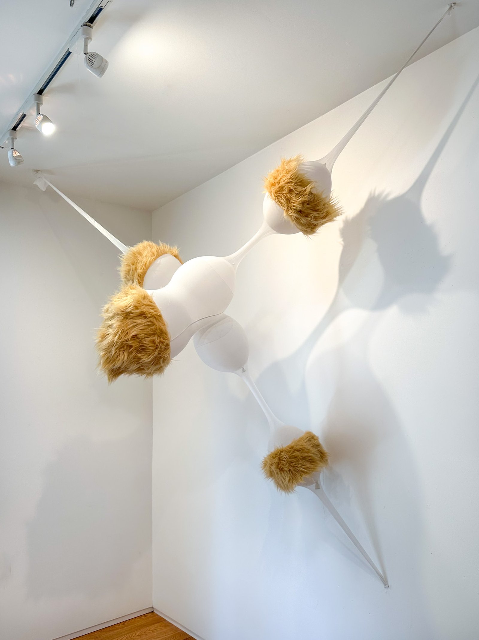 PB_triwalker-4_onwall​​​​‌﻿‍﻿​‍​‍‌‍﻿﻿‌﻿​‍‌‍‍‌‌‍‌﻿‌‍‍‌‌‍﻿‍​‍​‍​﻿‍‍​‍​‍‌﻿​﻿‌‍​‌‌‍﻿‍‌‍‍‌‌﻿‌​‌﻿‍‌​‍﻿‍‌‍‍‌‌‍﻿﻿​‍​‍​‍﻿​​‍​‍‌‍‍​‌﻿​‍‌‍‌‌‌‍‌‍​‍​‍​﻿‍‍​‍​‍‌‍‍​‌﻿‌​‌﻿‌​‌﻿​​‌﻿​﻿​﻿‍‍​‍﻿﻿​‍﻿﻿‌‍﻿​‌﻿‌‌‌﻿‌​‌‍‍​‌‍‌‌‌﻿​‍​‍﻿‌‌﻿‌​‌‍‍​‌‍‍‌‌‍‌‌​‍﻿‌‌﻿​​‌‍﻿﻿‌﻿​‍‌﻿‌​‌‍‌‍‌‍﻿﻿‌‍﻿​‌‍‍‌‌‍﻿﻿​‍﻿‍‌﻿​﻿‌‍​‌‌‍﻿‍‌‍‍‌‌﻿‌​‌﻿‍‌​‍﻿‍‌﻿​﻿‌﻿‌​‌﻿‌‌‌‍‌​‌‍‍‌‌‍﻿﻿​‍﻿﻿‌‍‍‌‌‍﻿‍‌﻿‌​‌‍‌‌‌‍﻿‍‌﻿‌​​‍﻿﻿‌‍‌‌‌‍‌​‌‍‍‌‌﻿‌​​‍﻿﻿‌‍﻿‌‌‍﻿﻿‌‍‌​‌‍‌‌​﻿﻿‌‌﻿​​‌﻿​‍‌‍‌‌‌﻿​﻿‌‍‌‌‌‍﻿‍‌﻿‌​‌‍​‌‌﻿‌​‌‍‍‌‌‍﻿﻿‌‍﻿‍​﻿‍﻿‌‍‍‌‌‍‌​​﻿﻿‌‌​‌​‌‌‌​‌‍‌‌‌​‌​‌​​﻿‌‌​﻿‌​﻿‍‌‍﻿​‌‍﻿​‌​‌﻿‌‌​‍​﻿​‍‌‌‍‍‌‌​‌‌‍​‍‌​‌​‌‍﻿​‌﻿‌‌‌‌​‌‌​​‍​﻿‌‌​﻿‍‌​﻿‍﻿‌﻿‌​‌﻿‍‌‌﻿​​‌‍‌‌​﻿﻿‌‌﻿‌﻿‌‍﻿﻿‌﻿​‍‌‍‍﻿​﻿‍﻿‌﻿​​‌‍​‌‌﻿‌​‌‍‍​​﻿﻿‌‌‍​﻿‌‍﻿﻿‌‍﻿‍‌﻿‌​‌‍‌‌‌‍﻿‍‌﻿‌​‌​​‍‌‍﻿​‌‍﻿﻿‌‍​﻿‌‍‍﻿‌﻿​﻿​‍‌‌​﻿‌‌‌​​‍‌‌﻿﻿‌‍‍﻿‌‍‌‌‌﻿‍‌​‍‌‌​﻿​﻿‌​‌​​‍‌‌​﻿​﻿‌​‌​​‍‌‌​﻿​‍​﻿​‍‌‍‍‌‌‍﻿‌‌‍​‌‌‍‌﻿‌‍‌‌​‍﻿‌​﻿​‌​﻿‌﻿​﻿‌‍​﻿‍​​﻿‌‍​﻿​‍​﻿​﻿​﻿‌‍​﻿‌‍​﻿‌‌​﻿‌﻿​﻿​‍​﻿‍​​‍﻿‌​﻿​‌​‍‌‌​﻿​‍​﻿​‍​‍‌‌​﻿‌‌‌​‌​​‍﻿‍‌‍​‌‌‍﻿​‌﻿‌​​﻿﻿﻿‌‍​‍‌‍​‌‌﻿​﻿‌‍‌‌‌‌‌‌‌﻿​‍‌‍﻿​​﻿﻿‌‌‍‍​‌﻿‌​‌﻿‌​‌﻿​​‌﻿​﻿​‍‌‌​﻿​﻿‌​​‌​‍‌‌​﻿​‍‌​‌‍​‍‌‌​﻿​‍‌​‌‍‌‍﻿​‌﻿‌‌‌﻿‌​‌‍‍​‌‍‌‌‌﻿​‍​‍﻿‌‌﻿‌​‌‍‍​‌‍‍‌‌‍‌‌​‍﻿‌‌﻿​​‌‍﻿﻿‌﻿​‍‌﻿‌​‌‍‌‍‌‍﻿﻿‌‍﻿​‌‍‍‌‌‍﻿﻿​‍﻿‍‌﻿​﻿‌‍​‌‌‍﻿‍‌‍‍‌‌﻿‌​‌﻿‍‌​‍﻿‍‌﻿​﻿‌﻿‌​‌﻿‌‌‌‍‌​‌‍‍‌‌‍﻿﻿​‍‌‍‌‍‍‌‌‍‌​​﻿﻿‌‌​‌​‌‌‌​‌‍‌‌‌​‌​‌​​﻿‌‌​﻿‌​﻿‍‌‍﻿​‌‍﻿​‌​‌﻿‌‌​‍​﻿​‍‌‌‍‍‌‌​‌‌‍​‍‌​‌​‌‍﻿​‌﻿‌‌‌‌​‌‌​​‍​﻿‌‌​﻿‍‌​‍‌‍‌﻿‌​‌﻿‍‌‌﻿​​‌‍‌‌​﻿﻿‌‌﻿‌﻿‌‍﻿﻿‌﻿​‍‌‍‍﻿​‍‌‍‌﻿​​‌‍​‌‌﻿‌​‌‍‍​​﻿﻿‌‌‍​﻿‌‍﻿﻿‌‍﻿‍‌﻿‌​‌‍‌‌‌‍﻿‍‌﻿‌​‌​​‍‌‍﻿​‌‍﻿﻿‌‍​﻿‌‍‍﻿‌﻿​﻿​‍‌‌​﻿‌‌‌​​‍‌‌﻿﻿‌‍‍﻿‌‍‌‌‌﻿‍‌​‍‌‌​﻿​﻿‌​‌​​‍‌‌​﻿​﻿‌​‌​​‍‌‌​﻿​‍​﻿​‍‌‍‍‌‌‍﻿‌‌‍​‌‌‍‌﻿‌‍‌‌​‍﻿‌​﻿​‌​﻿‌﻿​﻿‌‍​﻿‍​​﻿‌‍​﻿​‍​﻿​﻿​﻿‌‍​﻿‌‍​﻿‌‌​﻿‌﻿​﻿​‍​﻿‍​​‍﻿‌​﻿​‌​‍‌‌​﻿​‍​﻿​‍​‍‌‌​﻿‌‌‌​‌​​‍﻿‍‌‍​‌‌‍﻿​‌﻿‌​​‍‌‍‌﻿​​‌‍‌‌‌﻿​‍‌﻿​﻿‌﻿​​‌‍‌‌‌‍​﻿‌﻿‌​‌‍‍‌‌﻿‌‍‌‍‌‌​﻿﻿‌‌﻿​​‌﻿‌‌‌‍​‍‌‍﻿​‌‍‍‌‌﻿​﻿‌‍‍​‌‍‌‌‌‍‌​​‍​‍‌﻿﻿‌