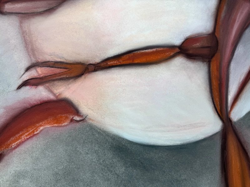 photo of Gravida 1 (detail)