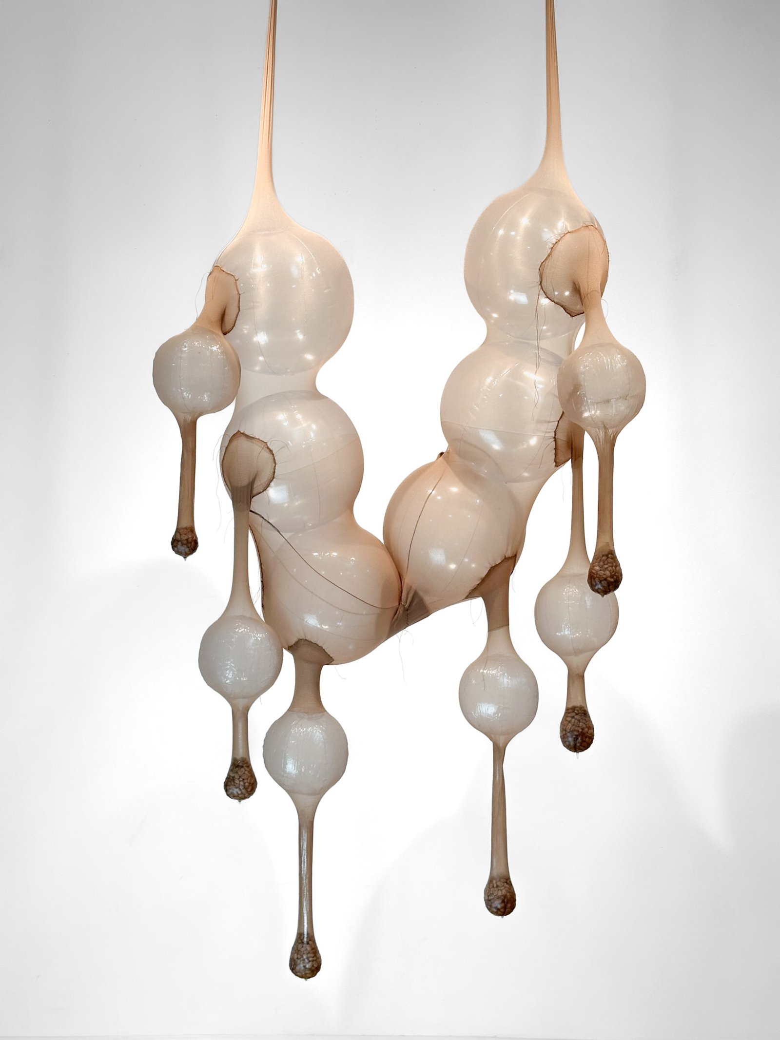 Fermentation Rig v2, 2023​​​​‌﻿‍﻿​‍​‍‌‍﻿﻿‌﻿​‍‌‍‍‌‌‍‌﻿‌‍‍‌‌‍﻿‍​‍​‍​﻿‍‍​‍​‍‌﻿​﻿‌‍​‌‌‍﻿‍‌‍‍‌‌﻿‌​‌﻿‍‌​‍﻿‍‌‍‍‌‌‍﻿﻿​‍​‍​‍﻿​​‍​‍‌‍‍​‌﻿​‍‌‍‌‌‌‍‌‍​‍​‍​﻿‍‍​‍​‍‌‍‍​‌﻿‌​‌﻿‌​‌﻿​​‌﻿​﻿​﻿‍‍​‍﻿﻿​‍﻿﻿‌‍﻿​‌﻿‌‌‌﻿‌​‌‍‍​‌‍‌‌‌﻿​‍​‍﻿‌‌﻿‌​‌‍‍​‌‍‍‌‌‍‌‌​‍﻿‌‌﻿​​‌‍﻿﻿‌﻿​‍‌﻿‌​‌‍‌‍‌‍﻿﻿‌‍﻿​‌‍‍‌‌‍﻿﻿​‍﻿‍‌﻿​﻿‌‍​‌‌‍﻿‍‌‍‍‌‌﻿‌​‌﻿‍‌​‍﻿‍‌﻿​﻿‌﻿‌​‌﻿‌‌‌‍‌​‌‍‍‌‌‍﻿﻿​‍﻿﻿‌‍‍‌‌‍﻿‍‌﻿‌​‌‍‌‌‌‍﻿‍‌﻿‌​​‍﻿﻿‌‍‌‌‌‍‌​‌‍‍‌‌﻿‌​​‍﻿﻿‌‍﻿‌‌‍﻿﻿‌‍‌​‌‍‌‌​﻿﻿‌‌﻿​​‌﻿​‍‌‍‌‌‌﻿​﻿‌‍‌‌‌‍﻿‍‌﻿‌​‌‍​‌‌﻿‌​‌‍‍‌‌‍﻿﻿‌‍﻿‍​﻿‍﻿‌‍‍‌‌‍‌​​﻿﻿‌‌﻿​​‌‍‌​‌​‍‍‌​​‌‌‌‍‌‌﻿​﻿​﻿​​‌‍​‌‌​‌﻿‌​‌﻿‌‍​‌​﻿‌​‌​‍‍‌‍﻿‍‌‍‍﻿‌‍‌‌‌​﻿‌‌﻿‌﻿‌‌​‍‌‌‌‌‌﻿‍‌‌​‍‌​﻿‍﻿‌﻿‌​‌﻿‍‌‌﻿​​‌‍‌‌​﻿﻿‌‌﻿‌﻿‌‍﻿﻿‌﻿​‍‌‍‍﻿​﻿‍﻿‌﻿​​‌‍​‌‌﻿‌​‌‍‍​​﻿﻿‌‌‍​﻿‌‍﻿﻿‌‍﻿‍‌﻿‌​‌‍‌‌‌‍﻿‍‌﻿‌​‌​​‍‌‍﻿​‌‍﻿﻿‌‍​﻿‌‍‍﻿‌﻿​﻿​‍‌‌​﻿‌‌‌​​‍‌‌﻿﻿‌‍‍﻿‌‍‌‌‌﻿‍‌​‍‌‌​﻿​﻿‌​‌​​‍‌‌​﻿​﻿‌​‌​​‍‌‌​﻿​‍​﻿​‍‌‍‍‌‌‍﻿‌‌‍​‌‌‍‌﻿‌‍‌‌​‍﻿‌​﻿​‌​﻿‌﻿​﻿‌‍​﻿‍​​﻿‌‍​﻿​‍​﻿​﻿​﻿‌‍​﻿‍‌​﻿‍‌​﻿‌﻿​﻿​‌​﻿​﻿​‍﻿‌​﻿​​​‍‌‌​﻿​‍​﻿​‍​‍‌‌​﻿‌‌‌​‌​​‍﻿‍‌‍​‌‌‍﻿​‌﻿‌​​﻿﻿﻿‌‍​‍‌‍​‌‌﻿​﻿‌‍‌‌‌‌‌‌‌﻿​‍‌‍﻿​​﻿﻿‌‌‍‍​‌﻿‌​‌﻿‌​‌﻿​​‌﻿​﻿​‍‌‌​﻿​﻿‌​​‌​‍‌‌​﻿​‍‌​‌‍​‍‌‌​﻿​‍‌​‌‍‌‍﻿​‌﻿‌‌‌﻿‌​‌‍‍​‌‍‌‌‌﻿​‍​‍﻿‌‌﻿‌​‌‍‍​‌‍‍‌‌‍‌‌​‍﻿‌‌﻿​​‌‍﻿﻿‌﻿​‍‌﻿‌​‌‍‌‍‌‍﻿﻿‌‍﻿​‌‍‍‌‌‍﻿﻿​‍﻿‍‌﻿​﻿‌‍​‌‌‍﻿‍‌‍‍‌‌﻿‌​‌﻿‍‌​‍﻿‍‌﻿​﻿‌﻿‌​‌﻿‌‌‌‍‌​‌‍‍‌‌‍﻿﻿​‍‌‍‌‍‍‌‌‍‌​​﻿﻿‌‌﻿​​‌‍‌​‌​‍‍‌​​‌‌‌‍‌‌﻿​﻿​﻿​​‌‍​‌‌​‌﻿‌​‌﻿‌‍​‌​﻿‌​‌​‍‍‌‍﻿‍‌‍‍﻿‌‍‌‌‌​﻿‌‌﻿‌﻿‌‌​‍‌‌‌‌‌﻿‍‌‌​‍‌​‍‌‍‌﻿‌​‌﻿‍‌‌﻿​​‌‍‌‌​﻿﻿‌‌﻿‌﻿‌‍﻿﻿‌﻿​‍‌‍‍﻿​‍‌‍‌﻿​​‌‍​‌‌﻿‌​‌‍‍​​﻿﻿‌‌‍​﻿‌‍﻿﻿‌‍﻿‍‌﻿‌​‌‍‌‌‌‍﻿‍‌﻿‌​‌​​‍‌‍﻿​‌‍﻿﻿‌‍​﻿‌‍‍﻿‌﻿​﻿​‍‌‌​﻿‌‌‌​​‍‌‌﻿﻿‌‍‍﻿‌‍‌‌‌﻿‍‌​‍‌‌​﻿​﻿‌​‌​​‍‌‌​﻿​﻿‌​‌​​‍‌‌​﻿​‍​﻿​‍‌‍‍‌‌‍﻿‌‌‍​‌‌‍‌﻿‌‍‌‌​‍﻿‌​﻿​‌​﻿‌﻿​﻿‌‍​﻿‍​​﻿‌‍​﻿​‍​﻿​﻿​﻿‌‍​﻿‍‌​﻿‍‌​﻿‌﻿​﻿​‌​﻿​﻿​‍﻿‌​﻿​​​‍‌‌​﻿​‍​﻿​‍​‍‌‌​﻿‌‌‌​‌​​‍﻿‍‌‍​‌‌‍﻿​‌﻿‌​​‍‌‍‌﻿​​‌‍‌‌‌﻿​‍‌﻿​﻿‌﻿​​‌‍‌‌‌‍​﻿‌﻿‌​‌‍‍‌‌﻿‌‍‌‍‌‌​﻿﻿‌‌﻿​​‌﻿‌‌‌‍​‍‌‍﻿​‌‍‍‌‌﻿​﻿‌‍‍​‌‍‌‌‌‍‌​​‍​‍‌﻿﻿‌